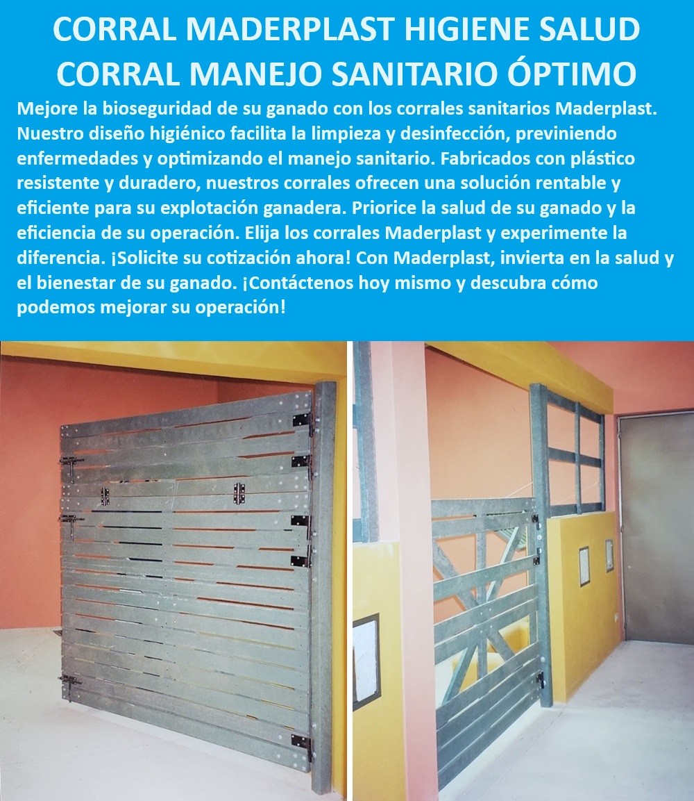 Diseño Corrales sanitarios para bovinos fácil limpieza corral cuarentena Maderplast Corral para bovinos con diseño higiénico, - Corral sanitario para ganado bovino, - Corrales de cuarentena para bovinos, - Corral para ganado con manejo sanitario óptimo, - ¿Cómo elegir corrales sanitarios fáciles de instalar para mi finca?, - Corrales resistentes y fáciles de instalar, - Corral ganadero con diseño higiénico, - Corrales ganaderos para bioseguridad avanzada, - Corral para ganado con alta resistencia, - Corral sanitario de alta calidad, - Diseño higiénico de corrales sanitarios, - Corrales modulares para manejo sanitario, - Corrales sanitarios sin necesidad de mantenimiento, - Corrales para manejo sanitario eficiente, - Corrales sanitarios con fácil instalación, - Corral sanitario sin mantenimiento, - ¿Cómo mejorar la bioseguridad en mi explotación ganadera?, - Corral ganadero de fácil desinfección, - ¿Cuál es el mejor corral sanitario para ganado bovino?, - Corrales sanitarios para explotaciones ganaderas, - Corral ganadero fácil de limpiar, - Corrales modulares para manejo sanitario, - ¿Qué tipo de corral facilita la limpieza y desinfección del ganado?, - Corral sanitario con alta durabilidad, - Corrales sanitarios con ventilación avanzada, - Corrales para bioseguridad de ganado, - Corrales para manejo sanitario profesional, - Corral ganadero resistente a la corrosión, - ¿Dónde encontrar corrales sanitarios duraderos para ganado?, - Corral sanitario con estructura personalizable 0 frigoríficos con diseño optimizado Corrales de beneficio sanitario Diseño higiénico de corrales Corrales con sistemas de ventilación avanzada Diseño Corrales sanitarios para bovinos fácil limpieza corral cuarentena Maderplast 0 frigoríficos con diseño optimizado, , Corrales de beneficio sanitario, Diseño higiénico de corrales, , Corrales con sistemas de ventilación avanzada