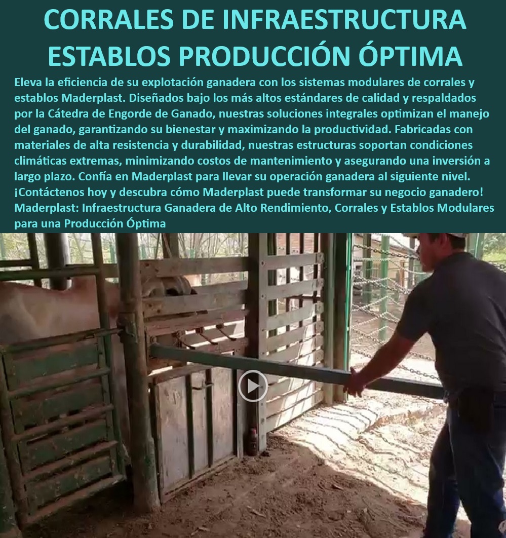 Diseño Ideal Corral Establos modulares Corrales para ganado Maderplast Corrales modulares para producción eficiente, - Infraestructura ganadera con garantías extendidas, - Corrales de alta durabilidad para fincas, - ¿Cuál es el mejor corral modular para ganado en climas extremos?, - Corrales sin oxidación para ganado, - Corrales para condiciones climáticas extremas, - Corrales con tecnología avanzada para ganado, - Corrales modulares de alta resistencia, - Infraestructura ganadera de alto rendimiento, - Corrales ganaderos de fácil instalación, - Sistemas de estabulación moderna y eficiente, - Corrales para optimizar la producción ganadera, - Establos modulares para ganadería tecnificada, - Corrales duraderos para explotación ganadera, - Sistemas ganaderos de contención seguros, - Establos modulares para fincas ganaderas, - Corrales con acceso fácil para veterinarios, - Establos modulares resistentes y seguros, - Corrales de larga duración con bajo mantenimiento, - Corrales ecológicos para manejo de ganado, - Corrales diseñados para bienestar animal, - ¿Cuál es el sistema de contención más duradero para búfalos?, - Corrales para ganado eficiente y duradero, - Corrales sin mantenimiento para ganado, - ¿Qué corral garantiza la máxima durabilidad para estabulación ganadera?, - Sistemas de manejo ganadero innovador, - Sistemas de contención para búfalos resistentes, - ¿Cómo optimizar la producción ganadera con corrales modulares?, - Establos modulares de producción óptima, - ¿Qué corral ofrece mejor acceso para veterinarios en fincas? 0 Corrales circulares de alta resistencia para ganado Diseño de corrales con acceso fácil veterinarios Sistemas de contención para búfalos de larga duración 00 Diseño Ideal Corral Establos modulares Corrales para ganado Maderplast 0 Corrales circulares de alta resistencia para ganado , Diseño de corrales con acceso fácil veterinarios , Sistemas de contención para búfalos de larga duración 00