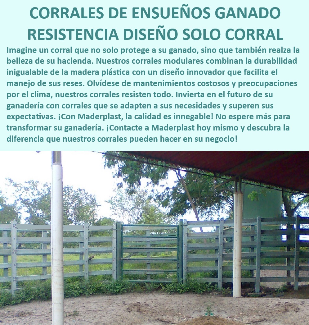 Diseño Ideal Corral Establos modulares Corrales para ganado Maderplast Corrales sin mantenimiento - resistencia al clima, - Establos modulares para ganado - diseño innovador, - Corrales sin preocupación por el clima - inversión inteligente, - Corrales ganaderos para climas extremos - sin mantenimiento, - ¿Cuáles son los mejores corrales modulares para ganado?, - ¿Cómo instalar corrales ganaderos de manera fácil y rápida?, - Corrales con diseño innovador - manejo eficiente del ganado, - Corrales para ganado duraderos - instalación rápida, - Establos para búfalos - diseño resistente, - Corrales ganaderos adaptables - máxima seguridad, - Establos modulares - protección y estética, - Corrales modulares para bovinos - tecnología avanzada, - Corrales ganaderos ecológicos - larga vida útil, - Corrales de madera plástica - solución ecológica, - Corrales ganaderos para haciendas - durabilidad estética, - ¿Qué corral ganadero es más duradero y resistente?, - Corrales para ganado - resistente a climas extremos, - Corrales ganaderos de alta tecnología - instalación sencilla, - ¿Dónde comprar corrales sin mantenimiento para ganado?, - Corrales ecológicos de madera plástica - sin mantenimiento, - Corrales que realzan la hacienda - durabilidad garantizada, - Corrales sin oxidación - durabilidad asegurada, - Establos para ganado de alta calidad - innovadores y resistentes, - Corrales modulares personalizados - fácil adaptación, - Establos ganaderos sostenibles - larga vida útil, - Corrales resistentes a la intemperie - bajo mantenimiento, - Corrales ganaderos modulares - fácil instalación y adaptación, - Corrales modulares para ganado - alta durabilidad, - Corrales de ensueño para ganado - alta calidad 0 Innovación en diseño de establos búfalos construcción planta beneficio animal Maderplast corrales redondos de alta calidad corrales de feria ganadera resistentes  Diseño Ideal Corral Establos modulares Corrales para ganado Maderplast 0 Innovación en diseño de establos búfalos construcción planta beneficio animal Maderplast corrales redondos de alta calidad corrales de feria ganadera resistentes    