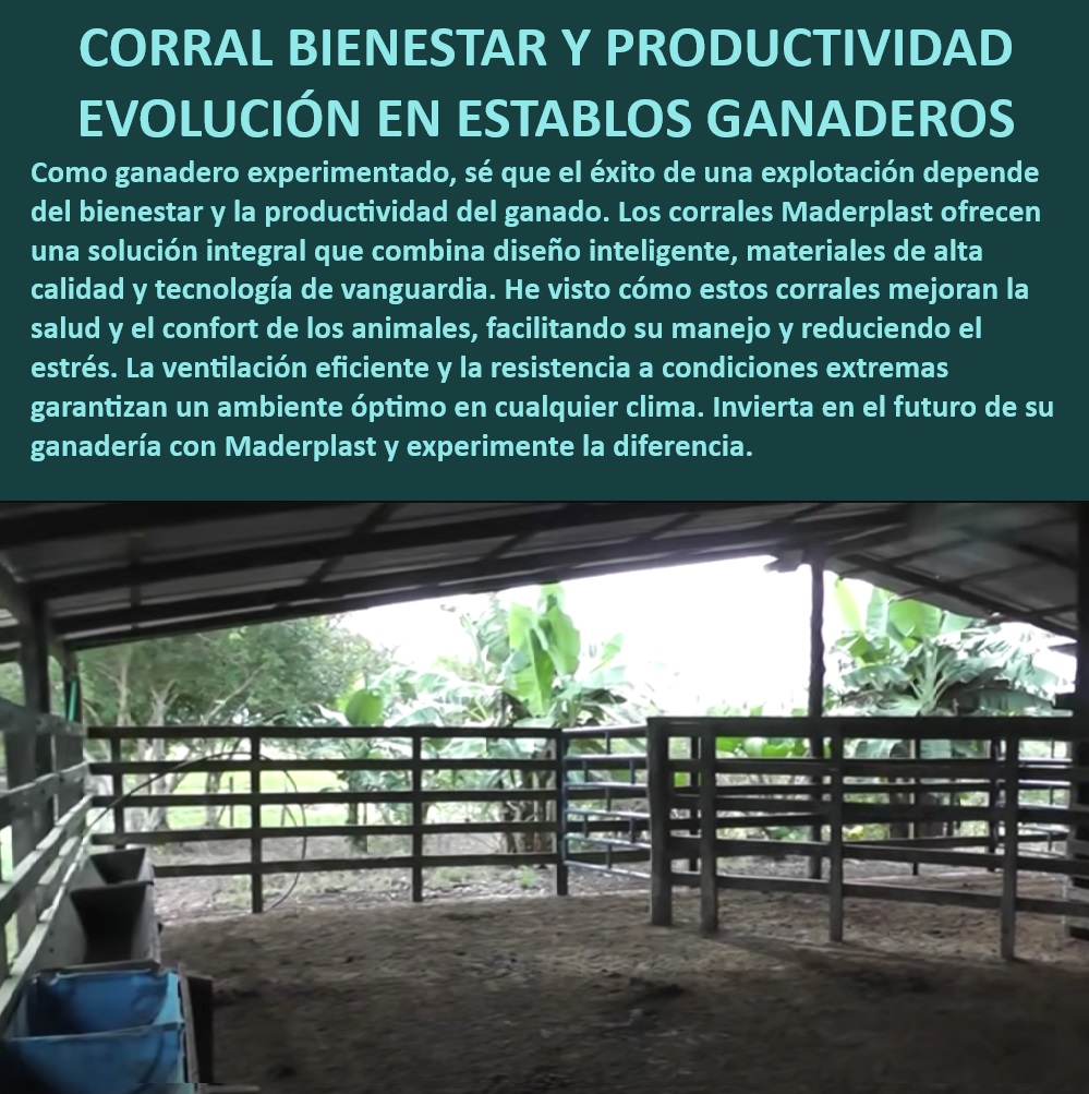 Diseño de Corrales Estabulados Como se Hace un Corral Maderplast Corrales ganaderos fáciles de instalar y mantener, - Corrales ganaderos con tecnología avanzada, - Corrales para ganado con alta resistencia climática, - Corrales para bienestar y confort animal, - Estabulación ganadera que reduce el estrés, - Corrales para ganadería sostenible y eficiente, - ¿Qué corrales garantizan el bienestar del ganado en establos?, - Corrales de plástico ecológico para ganado, - Corrales para ganadería tecnificada, - Corrales ganaderos para climas extremos, - Corrales ganaderos sin mantenimiento, - Corrales con diseño duradero y funcional, - Corrales estabulados para ganadería eficiente, - Estabulación ganadera que optimiza espacio, - Corrales resistentes a condiciones extremas, - Diseño inteligente de corrales ganaderos, - Corrales para mejorar productividad ganadera, - Corrales con diseño ergonómico para ganado, - ¿Qué corrales son más eficientes para ganadería tecnificada?, - ¿Cómo mejorar la productividad en establos ganaderos?, - Diseño de corrales con ventilación optimizada, - Estabulación ganadera con eficiencia comprobada, - ¿Dónde comprar corrales resistentes a climas extremos?, - ¿Cuál es el mejor corral para estabulación eficiente?, - Corrales sostenibles de alta durabilidad, - Corrales modulares para establos ventilados, - Establos ganaderos con manejo eficiente, - Estabulación ganadera para alta productividad, - Estabulación avanzada para bienestar animal, - Establos con ventilación eficiente para ganado 0 Ganadería eficiente Establos ventilados Estabulación avanzada Diseño corrales resistentes a condiciones climáticas extremas Corrales sostenibles Establo Diseño de Corrales Estabulados Como se Hace un Corral Maderplast 0 Ganadería eficiente, , Establos ventilados, , Estabulación avanzada, , Diseño corrales resistentes a condiciones climáticas extremas, , Corrales sostenibles, , Establo