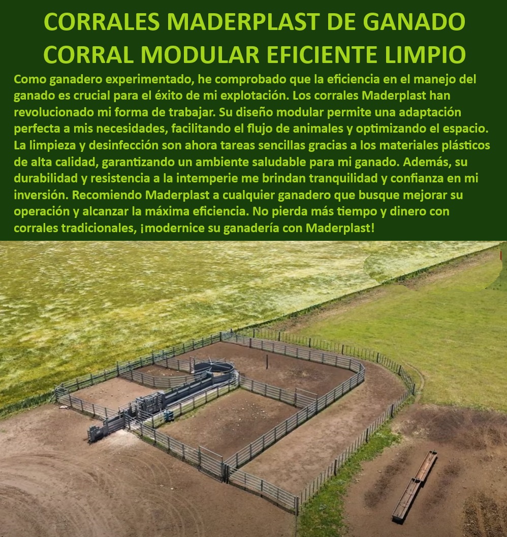 Diseño de Corrales Modelos de Corrales Como se Hace un Corral Eficiente Maderplast Corrales ganaderos que maximizan la eficiencia operativa, - Diseño de corrales modulares para ganado eficiente, - Corrales eficientes para manejo de ganado estabulado, - ¿Qué corral garantiza un ambiente saludable para el ganado?, - Corrales de fácil limpieza y desinfección para ganaderías, - Corrales modulares que facilitan el flujo de animales, - Corrales de Maderplast para manejo ganadero limpio, - Corrales que garantizan un ambiente saludable para el ganado, - Eficiencia en ganadería con corrales modulares Maderplast, - Corrales modulares para ganadería tecnificada y eficiente, - Diseño de corrales para manejo eficiente de animales, - Corrales adaptables para diferentes necesidades ganaderas, - ¿Qué corrales facilitan la limpieza y desinfección en ganaderías?, - Corrales modulares para optimización del espacio ganadero, - ¿Cuál es la solución más eficiente para estabulación ganadera?, - Infraestructura ganadera avanzada con corrales Maderplast, - Infraestructura ganadera de alta resistencia y durabilidad, - Soluciones innovadoras en estabulación ganadera intensiva, - Limpieza fácil en corrales de ganadería moderna, - Corrales ganaderos de alta durabilidad y resistencia, - Modernización de ganaderías con corrales Maderplast, - Durabilidad y resistencia en corrales para condiciones extremas, - Ganadería sostenible con corrales plásticos Maderplast, - Innovación en manejo ganadero con corrales de Maderplast, - ¿Cuál es el mejor corral modular para manejo de ganado eficiente?, - Manejo ganadero eficiente con diseño modular de Maderplast, - Soluciones ganaderas con alta eficiencia operativa, - ¿Cómo puedo modernizar mi ganadería con corrales duraderos?, - Soluciones de estabulación modular para ganadería intensiva, - Materiales plásticos de alta calidad para corrales ganaderos 0 Infraestructura ganadera intensiva Corrales de Maderplast Corrales de alta durabilidad para condiciones extremas Infraestructura ganadera 00 Diseño de Corrales Modelos de Corrales Como se Hace un Corral Eficiente Maderplast 0 Infraestructura ganadera intensiva, , Corrales de Maderplast, , Corrales de alta durabilidad para condiciones extremas, , Infraestructura ganadera 00