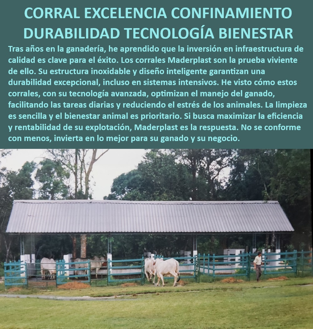 Diseño de Corrales Semi Estabulados Como se Hace un Corral Maderplast Corrales plásticos para explotación ganadera eficiente, - Corrales que reducen el estrés animal, - Corrales con estructura inoxidable para ganadería, - Corrales adaptables a sistemas de confinamiento, - Corrales plásticos duraderos para estabulación, - Corrales diseñados para minimizar el estrés animal, - Corrales inoxidables con tecnología avanzada, - Corrales modulares para sistemas de confinamiento, - ¿Dónde comprar corrales de tecnología avanzada para ganado?, - Corrales de alta durabilidad y bajo mantenimiento, - Corrales con estructura inoxidable para bovinos, - ¿Qué corral es mejor para confinamiento bovino?, - Corrales para bienestar animal en confinamiento, - Corrales con tecnología de confinamiento avanzado, - Corrales avanzados para explotaciones ganaderas, - Corrales eficaces para ganadería intensiva, - Corrales de diseño inteligente para bovinos, - Corrales con tecnología avanzada para ganado, - Corrales especializados para ganadería intensiva, - Corrales eficientes para manejo de ganado bovino, - ¿Cómo elegir un corral avanzado para ganado?, - Corrales de alto rendimiento para confinamiento bovino, - Corrales de confinamiento para ganadería tecnificada, - Corrales de manejo intensivo para bovinos, - ¿Qué corral reduce el estrés del ganado en confinamiento?, - Corrales seguros para manejo de ganado intensivo, - Corrales seguros para bienestar del ganado, - Corrales plásticos para sistemas intensivos, - Corrales de confinamiento bovino duraderos, - ¿Cuál es el corral más duradero para ganadería intensiva? 0 Corrales plásticos Establos bovinos confinados con estructuras inoxidables Corrales de confinamiento bovino con tecnología avanzada Corrales de alto uso Diseño de Corrales Semi Estabulados Como se Hace un Corral Maderplast 0 Corrales plásticos, , Establos bovinos confinados con estructuras inoxidables, , Corrales de confinamiento bovino con tecnología avanzada, , Corrales de alto uso