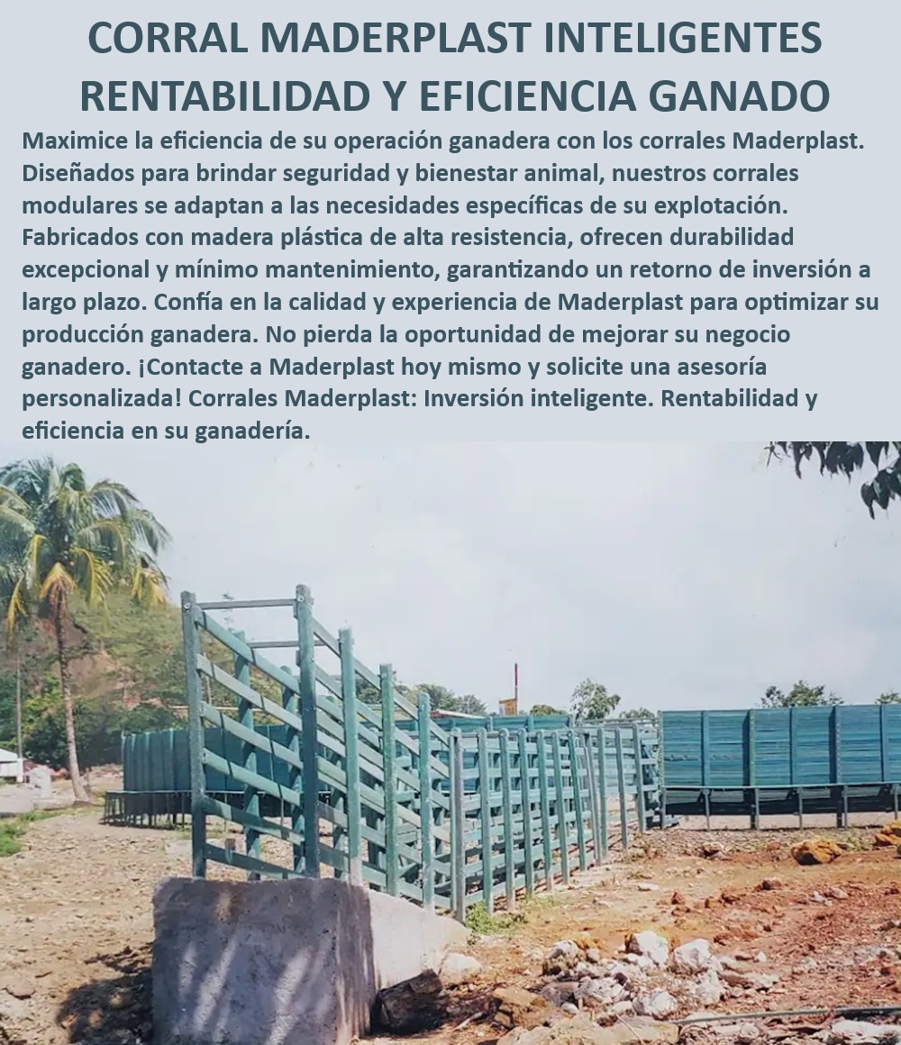 Embarcadero ganado fijo Embarcadero móvil Sistema de embarque Maderplast Embarcadero ganadero modular resistente, - Manejo eficiente de ganado estabulado, - Corral para manejo ganadero eficiente, - Brete de manejo para ganadería sostenible, - ¿Qué corral es ideal para reducir el estrés del ganado?, - Embarcadero móvil para ganado tecnificado, - Manga de engorde para ganado intensivo, - Brete de sujeción de ganado resistente, - ¿Dónde encontrar embarcaderos móviles duraderos?, - Corral de apretamiento con sistema antiestrés, - Soluciones de embarque ganadero duraderas, - Manga de engorde bovino eficiente, - Sistema de embarque móvil duradero, - Brete de contención para ganado seguro, - Corral ganadero inteligente y adaptable, - Sistema de manejo ganadero avanzado, - Sistema de embarque ganadero tecnificado, - ¿Cuál es el mejor brete de manejo ganadero eficiente?, - Brete de contención anti estrés bovino, - Embarcadero ganadero fijo resistente, - Sistema de embarque ganadero modular, - Sistemas de embarque ganadero Maderplast, - ¿Cómo elegir un brete de sujeción para ganado seguro?, - Corrales ganaderos anti estrés y seguros, - Corral de apretamiento con sujeción segura, - Brete de sujeción anti estrés para ganado, - Corral ganadero con retorno de inversión, - Brete de manejo con bajo mantenimiento, - ¿Cuál es el mejor sistema de embarque para ganado?, - Sistemas modulares para manejo ganadero0 Brete de contención de ganado Manga engorde Corral de apretamiento para ganado con sistema antiestrés Brete de sujeción de ganado Brete de manejo 0 Embarcadero ganado fijo Embarcadero móvil Sistema de embarque Maderplast 0 Brete de contención de ganado, , Manga engorde, , Corral de apretamiento para ganado con sistema antiestrés, , Brete de sujeción de ganado, , Brete de manejo 0