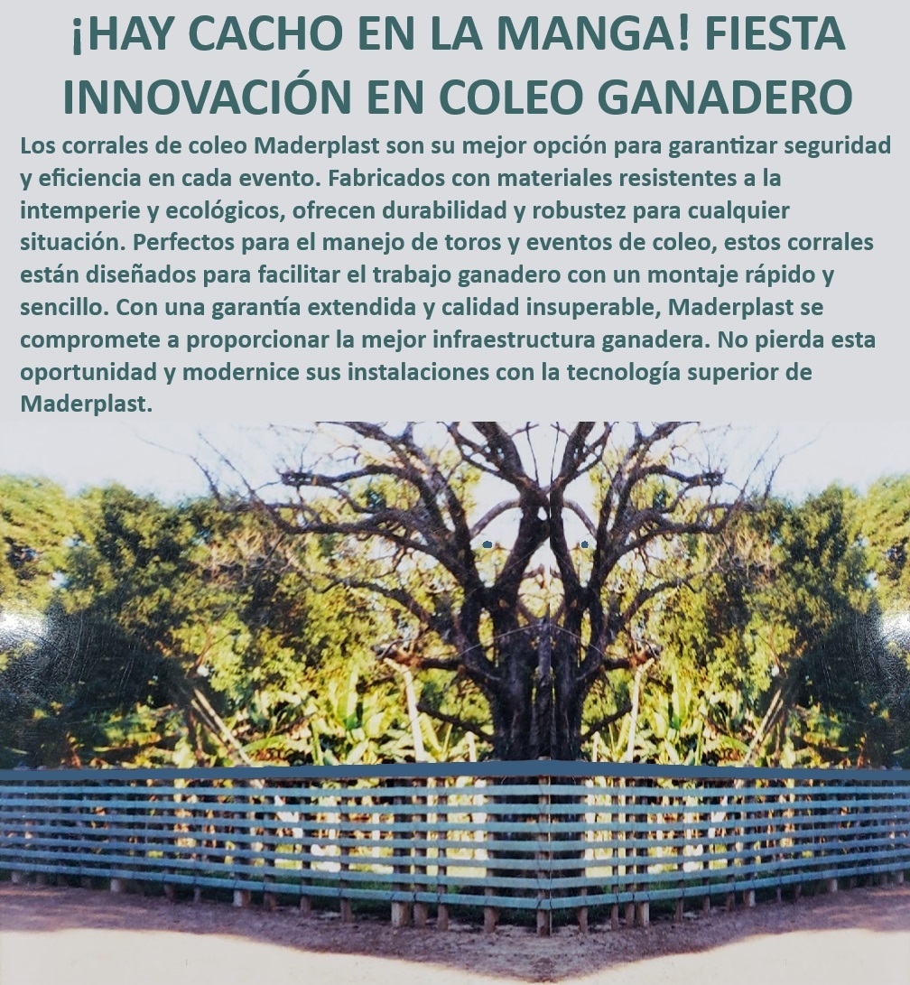 Mangas de coleo toros Corrales grandes rebaños Diseño de corrales Maderplast Corrales con montaje sencillo, - ¿Cuál es el mejor corral para eventos de coleo?, - ¿Cómo instalar un corral para toros resistente?, - Corrales con tecnología superior, - ¿Dónde comprar corrales de alta durabilidad para ganado?, - Corrales para eventos de coleo, - Corrales modulares para coleo, - Instalación rápida de corrales, - ¿Qué corrales son ideales para ganadería intensiva?, - Manga de manejo ganadero eficiente, - ¿Qué corral ganadero tiene la mejor garantía?, - Manga ganadera resistente, - Corrales para manejo de ganado eficiente, - Corrales de alta resistencia para ganado, - Corrales resistentes a la intemperie, - Corrales de gran tamaño para ganado, - Corrales ecológicos para ganadería, - Corrales para toros bravos, - Infraestructura ganadera moderna, - Corrales de coleo para toros, - Corrales con garantía extendida, - Corrales para eventos ganaderos, - Corrales de bajo mantenimiento, - Corrales Maderplast con UV, - Manejo de toros en coleo, - Corrales para explotaciones extensivas, - Manejo seguro de ganado, - Corrales para ferias ganaderas, - Sistemas de corrales robustos, - Construcción de corrales duraderos 0 Corrales de gran tamaño para explotaciones extensivas Corrales Maderplast con resistencia UV Sistemas de corrales con garantía extendida Construcción Mangas de coleo toros Corrales grandes rebaños Diseño de corrales Maderplast 0 Corrales de gran tamaño para explotaciones extensivas, , Corrales Maderplast con resistencia UV, , Sistemas de corrales con garantía extendida Construcción