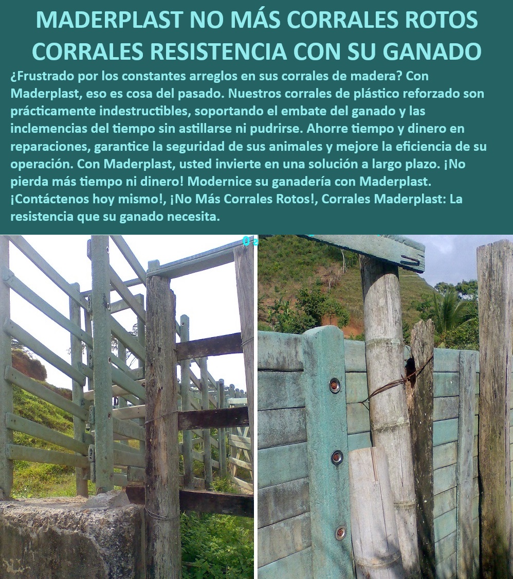 Materiales corrales innovación tecnológica Corrales alta durabilidad Maderplast Corrales de plástico para granjas modernas, - Innovación en corrales resistentes a climas extremos, - ¿Cuál es el mejor material para corrales ganaderos duraderos?, - Corrales sin deterioro por humedad o hongos, - Corrales plásticos alta resistencia Maderplast, - Corrales ganaderos que ahorran tiempo y dinero, - Corrales anti-oxidación para ambientes ganaderos, - Corrales plásticos que no se deterioran, - Comparativa corrales plásticos versus madera, - Corrales para ganado con baja necesidad de mantenimiento, - Corrales que eliminan la necesidad de reparaciones, - Corrales que garantizan la seguridad animal, - Corrales seguros contra hongos y pudrición, - Corrales irrompibles para manejo de ganado, - Corrales que no requieren mantenimiento costoso, - Corrales con alta resistencia a la intemperie, - Corrales plásticos que no se pudren ni astillan, - Corrales ganaderos con máxima durabilidad, - Corrales ecológicos sin mantenimiento, - Corrales adaptados a condiciones climáticas extremas, - Soluciones duraderas para manejo de ganado, - Corrales que soportan el paso del tiempo, - Corrales de plástico reforzado inastillables, - ¿Cuáles son los beneficios de los corrales plásticos Maderplast?, - ¿Cómo evitar la pudrición en corrales de madera?, - ¿Qué corrales son más resistentes a climas extremos?, - Corrales ganaderos sin pudrición a largo plazo, - Corrales que mejoran la eficiencia ganadera, - Corrales ganaderos que resisten el uso intensivo, - ¿Qué tipo de corrales no se pudren ni requieren mantenimiento? 0 Diseño de corrales que mejora el bienestar animal Innovación en diseño de establos ganado vacuno Soluciones de corrales para grandes Instalaciones 0 Materiales corrales innovación tecnológica Corrales alta durabilidad Maderplast 0 Diseño de corrales que mejora el bienestar animal , Innovación en diseño de establos ganado vacuno , Soluciones de corrales para grandes Instalaciones 0