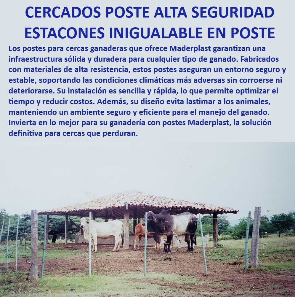 POSTES PARA CERCAS GANADERAS POSTE GANADERO MADERPLAST Postes resistentes para cercas ganaderas Maderplast, - Postes para cercas que duran más que la madera, - Postes plásticos resistentes a impactos y golpes, - Postes para cercas de ganado sin mantenimiento, - Postes para cercas con garantía de durabilidad, - Postes que no se corroen ni se pudren, - Postes para cercas que no se deforman ni se rompen, - Postes plásticos para cercas de fácil instalación, - Postes para cercas que no dañan el medio ambiente, - Postes Maderplast para cercas de larga duración, - Postes que garantizan la seguridad de su ganado, - ¿Cuál es el mejor poste para cercas ganaderas duraderas?, - Postes para cercas ganaderas duraderas, - Postes plásticos de alta seguridad para fincas, - Postes que evitan accidentes con ganado, - Postes que soportan peso y presión constante, - ¿Qué tipo de postes son resistentes a climas extremos?, - Postes ecológicos para cercas ganaderas, - Postes para cercas que resisten todo tipo de clima, - Postes para cercas que soportan condiciones extremas, - ¿Qué postes de cerca no requieren mantenimiento?, - Postes indestructibles para cercas de ganado, - Postes de madera plástica para cercas, - ¿Qué postes son ideales para cercas eléctricas en fincas ganaderas?, - Postes para cercas eléctricas ganaderas, - Postes para cercas ganaderas con instalación rápida, - ¿Cuáles son los postes más duraderos para cercas ganaderas?, - Postes de alta resistencia para cercas ganaderas, - Postes ganaderos que aseguran la estabilidad del terreno, - Postes para cercas que no requieren mantenimiento constante Poste para cerca ganadera de 8 x 8 x 210 cm Postes plásticos para cerca eléctricaPostes plásticos Precio postes plásticos para cercas Postes plásticos para cercas precio 0 POSTES PARA CERCAS GANADERAS, POSTE GANADERO, MADERPLAST, Poste para cerca ganadera de 8 x 8 x 210 cm, Postes plásticos para cerca eléctrica,Postes plásticos, Precio postes plásticos para cercas, Postes plásticos para cercas precio 0