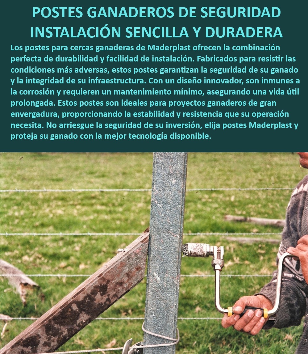 POSTES PARA CERCAS GANADERAS POSTE GANADERO MADERPLAST Postes de cercas fáciles de instalar, - Postes de cercas Maderplast reciclados, - ¿Qué poste es mejor para cercas de alambre de púas?, - Postes para cercas ganaderas tecnificados, - Postes para cercas de ganado duraderos, - Postes ganaderos para proyectos grandes, - Postes ganaderos resistentes a la corrosión, - Postes para cercas de alambre de púas, - Postes plásticos para cercas de campo, - Postes plásticos reciclados para cercas, - Postes plásticos para cercas ganaderas, - Postes ganaderos resistentes a la intemperie, - Postes para cercas ganaderas robustos, - Postes para cercas con fácil mantenimiento, - ¿Cuál es el mejor poste para cercas ganaderas?, - ¿Qué poste es más resistente para cercas de ganado?, - ¿Cómo instalar postes para cercas ganaderas de forma sencilla?, - Postes ganaderos de alta resistencia, - Postes para cercas ganaderas anticorrosivos, - Postes ganaderos para cercas seguras, - Postes ganaderos de larga vida útil, - Postes ganaderos con tecnología avanzada, - ¿Qué poste de cercas ganaderas dura más tiempo?, - Postes ganaderos con instalación sencilla, - Postes ganaderos duraderos y seguros, - Postes para cercas ganaderas sin corrosión, - Postes para cercas reciclados Maderplast, - Postes ganaderos seguros para granjas, - Postes para cercas ganaderas con alta durabilidad, - Postes para cercas de ganado resistentes Postes de acero para cerca Poste NO metálico para cerco ganadero Postes para cerca reciclado Postes plásticos para cercas de alambre de púas Postes plásticos para cercas 00  POSTES PARA CERCAS GANADERAS, POSTE GANADERO, MADERPLAST, Postes de acero para cerca, Poste NO metálico para cerco ganadero, Postes para cerca reciclado, Postes plásticos para cercas de alambre de púas, Postes plásticos para cercas 00