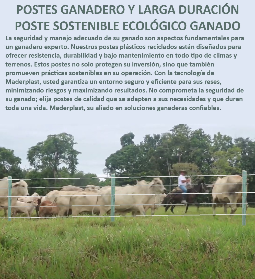 POSTES PARA CERCAS GANADERAS POSTE GANADERO MADERPLAST Poste ganadero plástico resistente a golpes, - Postes ecológicos para cercas de ganado, - Poste ganadero reciclado para cercas ecológicas, - Postes plásticos reciclados para cercas de ganado, - Poste ganadero con protección UV, - Postes ganaderos duraderos para zonas rurales, - Postes ganaderos con diseño ecológico, - Poste ganadero resistente y duradero, - Postes ganaderos resistentes a la intemperie, - Postes ganaderos para proyectos sostenibles, - Postes para cercas ganaderas fáciles de instalar, - Poste ganadero ecológico con alta durabilidad, - Postes plásticos para cercas ganaderas duraderas, - Postes plásticos para cercas ganaderas en clima extremo, - ¿Cuál es el mejor poste para cercas ganaderas sostenibles?, - Poste ganadero de bajo mantenimiento, - Postes plásticos para cercas ganaderas seguras, - ¿Dónde comprar postes plásticos para cercas de ganado?, - Poste ecológico para manejo ganadero eficiente, - Poste ganadero para todo tipo de terreno, - Postes ecológicos para cercas ganaderas, - Postes para cercas ganaderas sostenibles, - Postes para cercas ganaderas resistentes a la corrosión, - ¿Cómo elegir postes ganaderos de bajo mantenimiento?, - Cercas ganaderas con postes sostenibles, - Postes de larga duración para manejo ganadero, - ¿Qué tipo de postes ecológicos es ideal para cercas ganaderas?, - ¿Qué poste ganadero dura más en terrenos difíciles?, - Postes para cercas ganaderas bajo mantenimiento, - Postes de plástico reciclado para cercas Postes plásticos Precio postes plásticos para cercas Postes plásticos para cercas precio Colombia Postes para corrales ganaderos Postes plástico para cercas Poste plástico  POSTES PARA CERCAS GANADERAS, POSTE GANADERO, MADERPLAST, Postes plásticos, Precio postes plásticos para cercas, Postes plásticos para cercas precio Colombia, Postes para corrales ganaderos, Postes plástico para cercas, Poste plástico