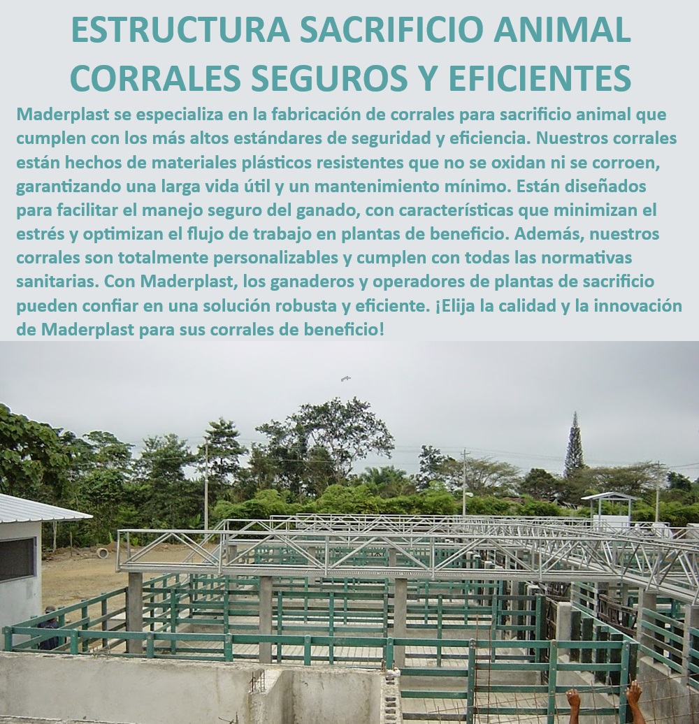 Plantas de Faenado Sacrificio Animal Corrales Beneficio Mataderos Bovinos Maderplast Corrales para sacrificio animal seguros, - Sistema de sacrificio eficiente y seguro, - Plantas de faenado con corrales eficientes, - Corrales de sacrificio con materiales duraderos, - Corrales de sacrificio animal personalizables, - Instalaciones ganaderas con diseño higiénico, - Corrales de beneficio con alta durabilidad, - ¿Cómo elegir corrales seguros para plantas de beneficio?, - Corrales de beneficio animal eficientes, - Estructura de faenado de ganado robusta, - Estructura sacrificio animal duradera, - Plantas de beneficio con corrales modulares, - Corrales de sacrificio animal sin mantenimiento, - ¿Cuáles son los mejores corrales para sacrificio animal?, - Sistema de sacrificio animal optimizado, - Instalaciones ganaderas para sacrificio, - Corrales de matadero personalizables, - Sistema de faenado bovino optimizado, - Instalaciones para sacrificio animal seguras, - Corrales de sacrificio para ganado bovino, - Estructura de faenado de ganado avanzada, - ¿Qué corrales de sacrificio cumplen con normativas sanitarias?, - Estructura de sacrificio animal confiable, - Corrales de beneficio con normativa sanitaria, - ¿Qué sistema de sacrificio animal es más eficiente?, - Plantas de faenado seguras y avanzadas, - Corrales para mataderos resistentes a la corrosión, - Corrales de sacrificio animal con diseño robusto, - Instalaciones de sacrificio bovino, - ¿Dónde comprar corrales duraderos para mataderos bovinos? 0 Corrales diseñados el bienestar animal y trabajador salas de sacrificio avanzadas Instalaciones ganado seguro instalaciones de sacrificio Plantas de Faenado Sacrificio Animal Corrales Beneficio Mataderos Bovinos Maderplast 0 Corrales diseñados el bienestar animal y trabajador, , salas de sacrificio avanzadas, , Instalaciones ganado seguro, , instalaciones de sacrificio