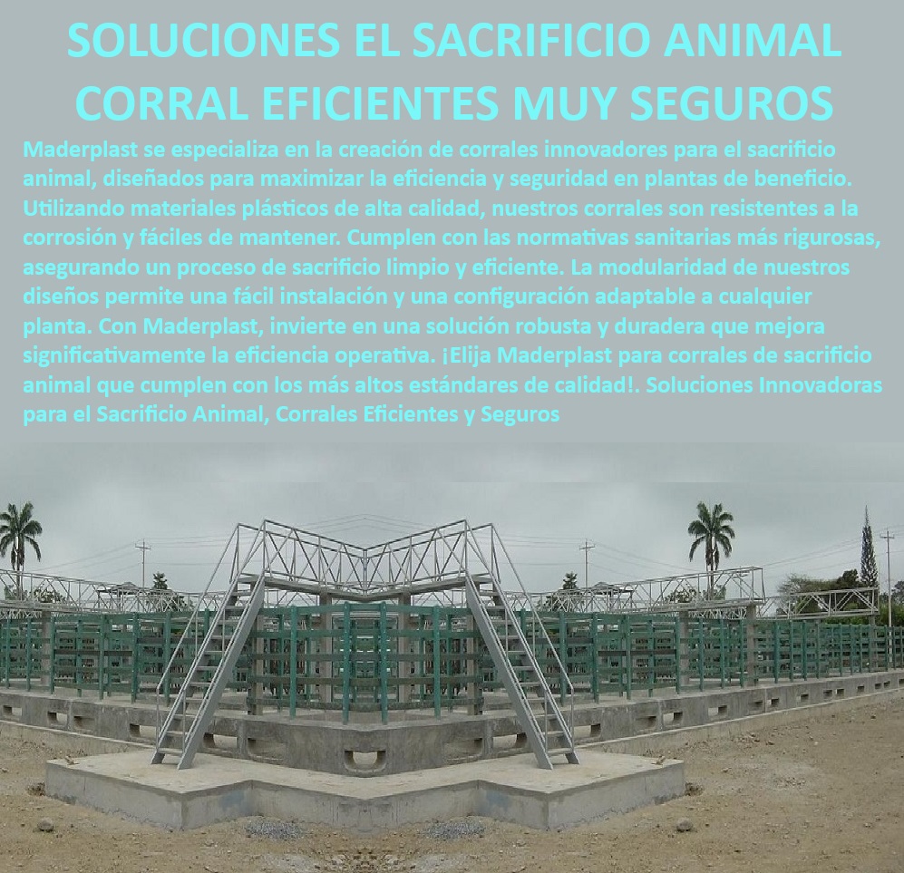 Plantas de Faenado Sacrificio Animal Corrales Beneficio Mataderos Bovinos Maderplast Corrales de sacrificio animal - resistentes a corrosión, - Corrales modulares para mataderos - fácil configuración, - Diseño de corrales para faenado - alta durabilidad, - Corrales seguros para faenado - diseño innovador, - Corrales para plantas de sacrificio - bajo mantenimiento, - ¿Cómo instalar corrales ajustables en una planta de faenado?, - Corrales de beneficio animal - durabilidad comprobada, - ¿Qué corrales para sacrificio bovino cumplen con normativas sanitarias?, - Corrales de sacrificio - normativa sanitaria rigurosa, - Corrales de sacrificio animal - normativa internacional, - Plantas de faenado - sacrificio animal eficiente, - Corrales ajustables para mataderos - instalación rápida, - Plantas de sacrificio bovino - alta eficiencia operativa, - Instalaciones de sacrificio animal - bajos costos operativos, - Corrales modulares para plantas de beneficio, - Corrales para sacrificio animal - diseño optimizado, - ¿Cómo optimizar los costos operativos en instalaciones de sacrificio?, - Corrales para mataderos bovinos - eficiencia operativa, - ¿Cuáles son los mejores corrales para plantas de sacrificio animal?, - Soluciones en sacrificio bovino - corrales ajustables, - Soluciones en sacrificio animal - Maderplast calidad, - Corrales ajustables para sacrificio - fácil instalación, - Corrales para mataderos de bovinos - máxima eficiencia, - ¿Qué soluciones ofrece Maderplast para el sacrificio animal seguro?, - Corrales de beneficio animal - seguridad y eficiencia, - Diseño de corrales para plantas de faenado, - Corrales para mataderos - seguridad garantizada, - Corrales seguros - manejo eficiente de ganado, - Instalaciones de sacrificio bovino - normativas sanitarias, - Instalaciones para sacrificio de ganado - robustez garantizada 0 Diseño optimizado de corrales Instalaciones para sacrificio con bajos costos operativos Corrales seguros manejo ganado Corrales ajustables  Plantas de Faenado Sacrificio Animal Corrales Beneficio Mataderos Bovinos Maderplast 0 Diseño optimizado de corrales, , Instalaciones para sacrificio con bajos costos operativos, , Corrales seguros manejo ganado, , Corrales ajustables