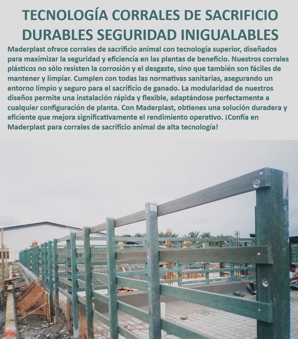 Plantas de Faenado Sacrificio Animal Corrales Beneficio Mataderos Bovinos Maderplast Estructuras modulares para manejo de ganado, - ¿Cuál es el mejor material para corrales de sacrificio animal?, - Corrales plásticos resistentes para mataderos bovinos, - Corrales plásticos duraderos para plantas de beneficio, - ¿Dónde encontrar corrales duraderos para plantas de beneficio?, - Soluciones higiénicas para plantas de sacrificio, - Corrales eficientes para faenado de ganado, - Soluciones tecnológicas para plantas de beneficio, - Soluciones modulares para plantas de faenado, - Corrales de sacrificio con normativas sanitarias, - Estructuras para mataderos con alta resistencia, - Corrales resistentes a la corrosión y desgaste, - ¿Qué corrales son ideales para plantas de sacrificio animal?, - Corrales de sacrificio con cumplimiento sanitario, - Instalaciones seguras para sacrificio de ganado, - Corrales para plantas de beneficio eficientes, - Corrales para plantas de faenado con alta durabilidad, - Corrales de mataderos con protección sanitaria, - Diseño de corrales para manejo seguro de ganado, - Sistemas de sacrificio animal con tecnología avanzada, - Diseño de corrales plásticos resistentes al desgaste, - Instalaciones modulares para sacrificio de ganado, - ¿Qué corrales cumplen con normativas sanitarias para mataderos?, - Corrales de sacrificio animal con tecnología superior, - Corrales modulares para sacrificio animal, - Corrales de sacrificio animal con tecnología INVIMA, - Corrales de sacrificio animal fáciles de limpiar, - ¿Cómo mejorar la seguridad en plantas de faenado?, - Corrales de sacrificio con tecnología y durabilidad, - Sistemas modulares para sacrificio animal eficiente 0 Instalaciones de faenado INVIMA Mejora de corrales con tecnología Maderplast corrales para manejo eficiente ganado Estructuras inoxidables  Plantas de Faenado Sacrificio Animal Corrales Beneficio Mataderos Bovinos Maderplast 0 Instalaciones de faenado INVIMA, , Mejora de corrales con tecnología, , Maderplast corrales para manejo eficiente ganado, , Estructuras inoxidables