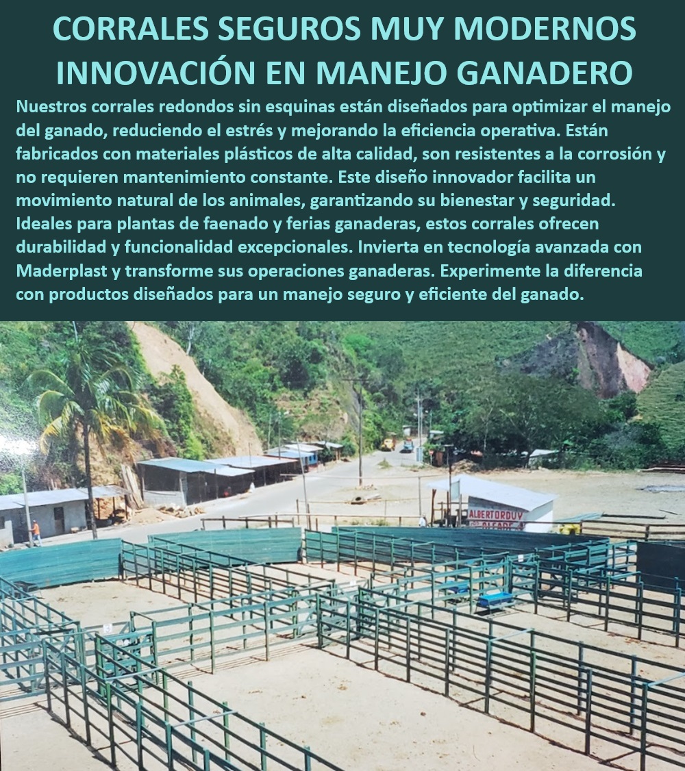 Plazas De Faenado Feria Subasta Corrales Redondos Plaza Toros Maderplast Corrales para subastas de ganado, - Corrales de sacrificio modulares, - Plaza de toros modular Maderplast, - Corrales de faenado duraderos, - Corrales sin mantenimiento constante, - ¿Cómo mejorar el manejo en plantas de faenado?, - Corrales modulares de plástico, - Eficiencia operacional en faenado, - Corrales para ferias ganaderas, - Corrales ganaderos sin mantenimiento, - Manejo de ganado en ferias, - Corrales redondos para plantas, - Manejo ganadero eficiente, - Corrales redondos para subastas, - Corrales redondos sin esquinas, - Corrales ganaderos resistentes, - Corrales con diseño ergonómico, - Corrales para ferias certificadas, - Corrales de sacrificio ganadero, - ¿Cuáles son los mejores corrales para subastas de ganado?, - ¿Dónde comprar corrales redondos para ganado?, - Innovación en manejo ganadero, - Corrales sin esquinas para ganado, - Estructura ganadera eficiente, - Plantas de beneficio certificadas, - Corrales ganaderos innovadores, - Corrales plásticos para mataderos, - ¿Qué corrales garantizan un manejo eficiente del ganado?, - ¿Qué corrales son ideales para ferias ganaderas?, - Corrales de alta durabilidad 0 Corrales plásticos modulares sacrificio Eficiencia operacional corrales mataderos Corrales para manejo eficiente Plantas beneficio ganado certificadas Plazas De Faenado Feria Subasta Corrales Redondos Plaza Toros Maderplast 0 Corrales plásticos modulares sacrificio, , Eficiencia operacional corrales mataderos, , Corrales para manejo eficiente, , Plantas beneficio ganado certificadas