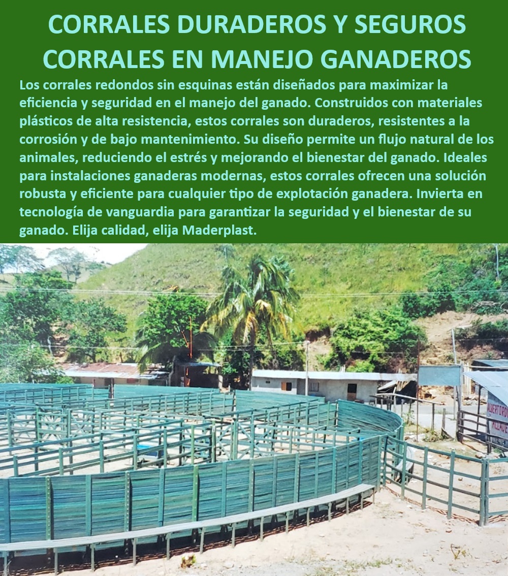 Plazas De Faenado Feria Subasta Corrales Redondos Plaza Toros Maderplast Corrales ganaderos con tecnología avanzada, - Corrales de vanguardia para explotaciones ganaderas, - Soluciones en corrales sin mantenimiento, - ¿Qué ventajas tienen los corrales redondos sin esquinas?, - Corrales ganaderos con materiales duraderos, - Corrales ganaderos de alta eficiencia, - Corrales redondos de bajo impacto ambiental, - Corrales con alta durabilidad y seguridad, - Soluciones de corrales con bajo mantenimiento, - Corrales duraderos y resistentes a la corrosión, - ¿Qué corral ganadero es más seguro y duradero?, - Corrales plásticos de alta resistencia, - Corrales sin esquinas para reducir el estrés animal, - Corrales redondos para manejo seguro del ganado, - Corrales con diseño optimizado para ganadería, - Corrales ganaderos seguros y eficientes, - Corrales resistentes para instalaciones ganaderas, - Corrales redondos sin esquinas para ganado, - Tecnología de corrales para seguridad del ganado, - ¿Cómo elegir un corral seguro para ganado?, - ¿Dónde comprar corrales redondos para instalaciones ganaderas?, - Diseño de corrales que reduce el estrés animal, - Corrales sin esquinas para bienestar del ganado, - Corrales redondos para manejo eficiente del ganado, - Corrales redondos para instalaciones modernas, - ¿Cuáles son los mejores corrales redondos para ganado?, - Corrales ganaderos para bienestar animal, - Corrales para mejorar el manejo del ganado, - Corrales seguros para instalaciones ganaderas, - Sistema de corrales con diseño moderno 0 Corrales resistentes a impactos Plantas de procesamiento FDA Corrales bajo mantenimiento Corrales sanitarios para ganado Corrales resistentes ganado  Plazas De Faenado Feria Subasta Corrales Redondos Plaza Toros Maderplast 0 Corrales resistentes a impactos Plantas de procesamiento FDA Corrales bajo mantenimiento Corrales sanitarios para ganado Corrales resistentes ganado   