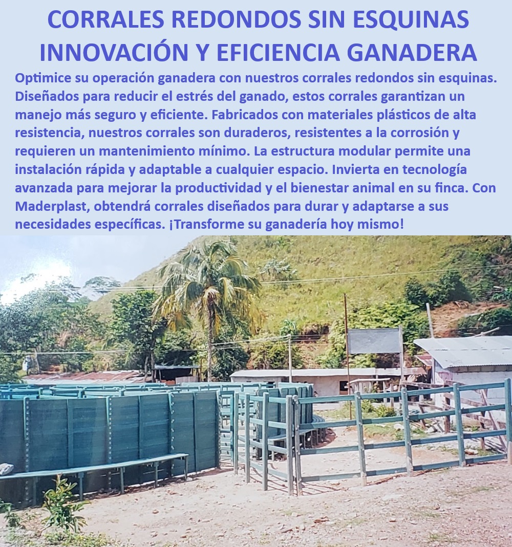 Plazas De Faenado Feria Subasta Corrales Redondos Plaza Toros Maderplast Corrales ganaderos que reducen el estrés del ganado, - Eficiencia y bienestar animal en la ganadería, - Corrales modulares de alta durabilidad, - Corrales para manejo seguro del ganado, - Innovación en infraestructura ganadera, - ¿Cómo mejorar el manejo de ganado en instalaciones ganaderas?, - Instalaciones ganaderas adaptables y flexibles, - Corrales redondos que optimizan el manejo animal, - Diseño de corrales para productividad ganadera, - Materiales plásticos de alta resistencia para corrales, - Soluciones ganaderas con corrales modulares, - Corrales para ganado con estructura modular, - Corrales ganaderos resistentes a la corrosión, - Corrales ganaderos redondos sin esquinas, - ¿Qué ventajas ofrecen los corrales redondos sin esquinas?, - Infraestructura ganadera avanzada y duradera, - ¿Cuál es el mejor corral para reducir el estrés del ganado?, - Diseño de corrales que mejora la producción ganadera, - Corrales ganaderos con instalación rápida, - Instalaciones ganaderas eficientes y seguras, - ¿Dónde encontrar corrales ganaderos resistentes a la corrosión?, - Corrales sin esquinas para manejo ganadero seguro, - Corrales plásticos ganaderos de bajo mantenimiento, - Corrales ganaderos anti estrés para animales, - Manejo eficiente de ganado con corrales redondos, - Diseño de corrales para bienestar animal, - ¿Cuál es la opción más segura para manejo de ganado en corrales?, - Eficiencia en instalaciones ganaderas, - Corrales ganaderos adaptados a cualquier espacio, - Corrales plásticos duraderos para ganado 0 Instalaciones ganaderas eficientes Plantas de sacrificio con normativa INVIMA Planta beneficio animal innovadora Sistemas corrales sacrificio Plazas 0 Plazas De Faenado Feria Subasta Corrales Redondos Plaza Toros Maderplast 0 Instalaciones ganaderas eficientes, , Plantas de sacrificio con normativa INVIMA, , Planta beneficio animal innovadora, , Sistemas corrales sacrificio Plazas 0