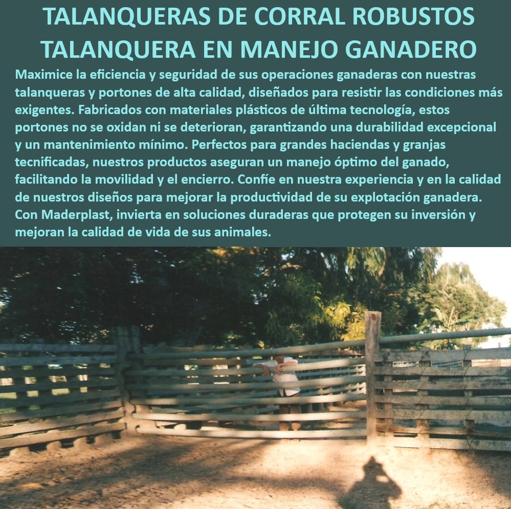 Puerta Resistente Para Corrales Talanquera Portones Broches de Paso Maderplast Talanqueras para optimización de corrales, - ¿Dónde comprar portones ganaderos de alta calidad?, - Portones ganaderos de alta calidad, - Talanqueras seguras para manejo de ganado, - Talanqueras anticorrosión para corrales, - Portones ganaderos para fincas productivas, - Talanqueras de bajo mantenimiento, - Portones plásticos resistentes a la intemperie, - Portones robustos para corrales, - Talanqueras duraderas para grandes haciendas, - Portones de alta resistencia para corrales, - Talanqueras modulares para corrales, - Talanqueras para manejo eficiente de ganado, - ¿Cuáles son los mejores portones para corrales ganaderos?, - Portones plásticos anticorrosión, - Portones plásticos para ganaderías tecnificadas, - ¿Cómo elegir portones duraderos para corrales?, - Talanqueras plásticas para cercados, - Talanqueras ganaderas de fácil instalación, - Talanqueras ganaderas de larga duración, - Portones para corrales sin oxidación, - Talanqueras resistentes para ganado, - Talanqueras ganaderas con garantía extendida, - ¿Qué tipo de talanqueras ofrecen mayor seguridad para ganado?, - ¿Qué talanqueras son más resistentes para ganado?, - Portones plásticos para manejo ganadero, - Portones ganaderos sin mantenimiento, - Portones seguros para encierro de ganado, - Portones duraderos para manejo eficiente, - Portones para ganaderías tecnificadas 0 Portones de corral para ganadería profesionales Puertas ganaderas de alta calidad Portones ganadería de larga vida útil Portones corrales ganadería  Puerta Resistente Para Corrales Talanquera Portones Broches de Paso Maderplast 0 Portones de corral para ganadería profesionales , Puertas ganaderas de alta calidad , Portones ganadería de larga vida útil , Portones corrales ganadería