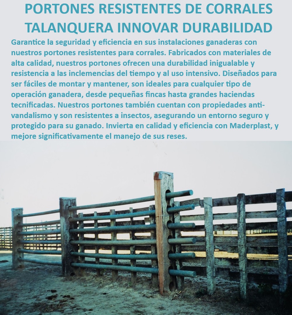 Puerta Resistente Para Corrales Talanquera Portones Broches de Paso Maderplast Puertas de corral fáciles de montar, - Portones para operación ganadera eficiente, - Portones ganaderos para pequeñas fincas, - Puertas para ganado resistente, - Portones ganaderos duraderos, - ¿Qué puertas son las mejores para corrales ganaderos?, - Puertas de corral con alta resistencia, - Puertas ganaderas de fácil mantenimiento, - ¿Cómo elegir portones duraderos para corrales?, - Portones para manejo ganadero seguro, - Portones de alta durabilidad, - Portones de corral con protección UV, - Portones para instalaciones ganaderas, - ¿Cuáles son los portones más seguros para ganado?, - Puertas resistentes a insectos, - Portones para ganado tecnificado, - Portones de corral tecnificados, - Puertas ganaderas anti-insectos, - ¿Dónde comprar portones resistentes para corrales?, - Portones ganaderos sin mantenimiento, - Portones resistentes para corrales, - Puertas ganaderas eco-amigables, - Portones de corral con broches de paso, - Talanqueras ganaderas robustas, - Portones para fincas ganaderas, - Puertas ganaderas anti-vandalismo, - Portones de corral para grandes haciendas, - Talanqueras para corrales ganaderos, - ¿Qué portones son ideales para fincas ganaderas?, - Puertas de corral para granjas tecnificadas 0 Puertas ganaderas Puertas ganaderas resistentes a insectos Portones de corrales ganaderos fáciles de montar puerta corral anti vandalismo Puertas  Puerta Resistente Para Corrales Talanquera Portones Broches de Paso Maderplast 0 Puertas ganaderas , Puertas ganaderas resistentes a insectos , Portones de corrales ganaderos fáciles de montar , puerta corral anti vandalismo , Puertas