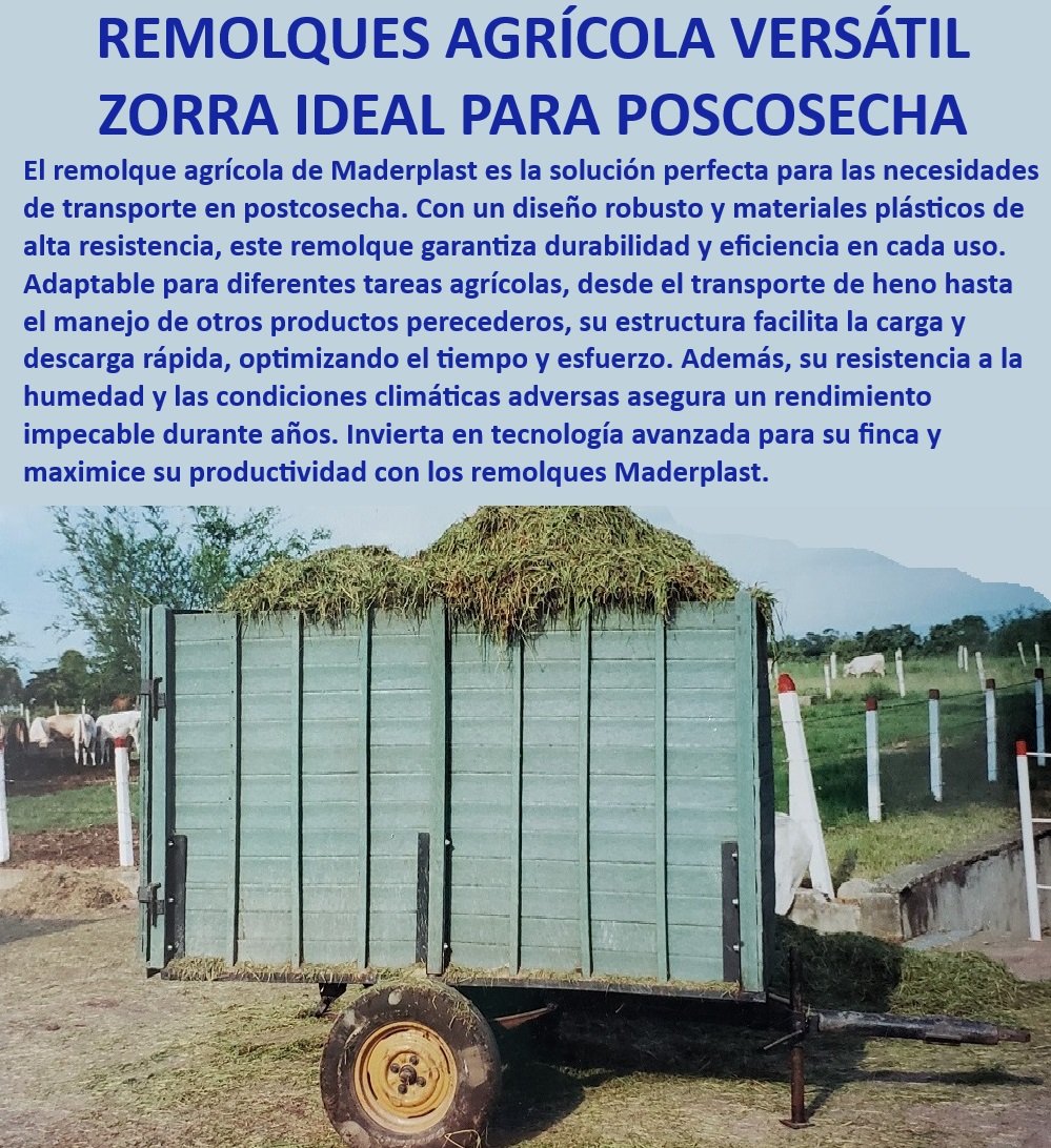 Tráiler Zorra Remolque Tráiler Agrícola Zorras ganadera Carrocería Maderplast Remolque para transporte agrícola pesado, - Remolque eficiente para manejo de carga agrícola, - Remolque para productos perecederos y heno, - Remolque robusto para trabajo agrícola intensivo, - Zorra de alta resistencia para transporte agrícola, - Remolque agrícola con larga vida útil, - Remolque con tecnología avanzada para agricultura, - ¿Cómo elegir un remolque agrícola versátil para diferentes cultivos?, - Zorra agrícola sin necesidad de mantenimiento, - Zorra agrícola para condiciones climáticas adversas, - Remolque agrícola resistente a la humedad, - Remolque agrícola con materiales de alta calidad, - Remolque adaptable para productos agrícolas, - Remolque agrícola con estructura resistente, - Remolque agrícola versátil para postcosecha, - Zorra para transporte de postcosecha resistente, - ¿Qué ventajas tiene un remolque agrícola de bajo mantenimiento?, - Remolque de plástico para tareas agrícolas, - Remolque de alta durabilidad y resistencia, - ¿Cuál es el mejor remolque agrícola para postcosecha?, - Remolque resistente para transporte agrícola, - Remolque bajo mantenimiento para agricultura, - Zorra agrícola para uso intensivo y duradero, - Remolque agrícola para diferentes cultivos, - Zorra agrícola adaptable para diferentes usos, - ¿Qué remolque agrícola ofrece mayor durabilidad y resistencia?, - Remolque eficiente para carga y descarga rápida, - Remolque para maximizar productividad agrícola, - ¿Qué remolque agrícola es ideal para condiciones climáticas adversas?, - Remolque para tareas agrícolas robustas 0 Remolques robustos Remolques para trabajo agrícola intensivo Remolque bajo mantenimiento Zorras ganaderas con alta resistencia Tráiler agrícola 00 Tráiler Zorra Remolque Tráiler Agrícola Zorras ganadera Carrocería Maderplast 0 Remolques robustos Remolques para trabajo agrícola intensivo Remolque bajo mantenimiento Zorras ganaderas con alta resistencia Tráiler agrícola 00   Tráiler Zorra Remolque Tráiler Agrícola Zorras ganadera Carrocería Maderplast 0 Remolques robustos Remolques para trabajo agrícola intensivo Remolque bajo mantenimiento Zorras ganaderas con alta resistencia Tráiler agrícola 00  