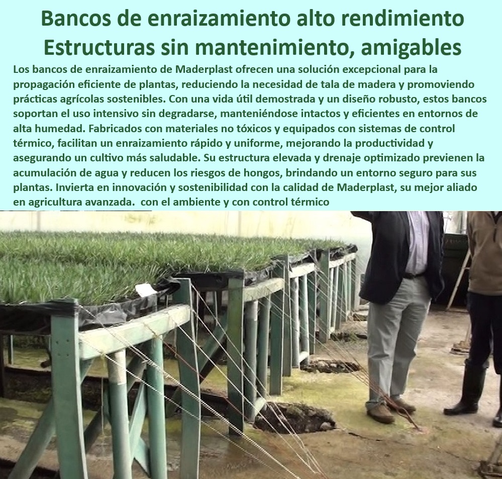 Bancos de Enraizamiento para Cultivos de Alto Rendimiento Maderplast 0 Estructuras Bancos de enraizamiento con material no tóxico Sistemas de enraizamiento sostenibles alta producción Mesas elevadas de enraizamiento con drenaje 0 -Mesas Agrícolas Con Drenaje, - ¿Qué bancos de enraizamiento son mejores para esquejes sostenibles?, - Respuesta estructurada Maderplast, - Respuesta estructurada Maderplast, - Bancos plásticos resistentes para propagación en climas húmedos, - Bancos de enraizamiento con diseño elevado y sin mantenimiento, - Bancos-De-Enraizamiento-Sostenibles, - Estructuras-Plásticas-Para-Viveros, - Sistemas de enraizamiento con materiales reciclables y amigables con el ambiente, - Sistemas de cultivo con control térmico y drenaje integrados, - Infraestructura-Agrícola-Sostenible, - Bancos sostenibles con materiales innovadores para propagación, - Mesas de cultivo avanzadas, - ¿Dónde comprar mesas agrícolas con drenaje para viveros?, - Respuesta estructurada Maderplast, - Soluciones agrícolas con sistemas plásticos anticorrosión para viveros, - Mesas de propagación con resistencia UV para cultivos tecnificados, - Mesas de cultivo sostenibles con materiales no tóxicos y duraderos, - Estructuras agrícolas plásticas para cultivos de alta humedad, - ¿Cómo funcionan los sistemas de control térmico para propagación agrícola?, - Respuesta estructurada Maderplast, - Infraestructura agrícola no tóxica y resistente para propagación eficiente, - Materiales-No-Tóxicos-Para-Cultivos, - Bancos elevados con drenaje eficiente para propagación agrícola, - Bancos agrícolas con diseño robusto y baja huella de carbono, - Bancos-Elevados-Con-Control-Térmico, - Soluciones modulares para propagación agrícola en ambientes controlados, - Mesas de enraizamiento amigables con el ambiente para viveros, - ¿Qué mesas ofrecen resistencia a la humedad y materiales no tóxicos?, - Respuesta estructurada Maderplast, - Estructuras plásticas agrícolas para esquejes y brotes resistentes, - Estructuras plásticas resistentes para cultivos en ambientes extremos, - Sistemas-De-Enraizamiento-Eficientes, - Soluciones agrícolas con diseño optimizado para esquejes de alto rendimiento, - Mesas de propagación resistentes al desgaste y humedad constante, - Soluciones-De-Propagación-Agrícola, - Mesas agrícolas plásticas con drenaje optimizado para viveros, - Mesas elevadas con drenaje avanzado para agricultura de precisión, - Bancos de enraizamiento sostenibles con control térmico para esquejes, - Estructuras-Sin-Mantenimiento-Agrícolas, - Bancos de cultivo avanzados para agricultura tecnificada y sostenible, - Bancos para viveros con sistemas de control térmico y drenaje, - ¿Cuáles son las mejores soluciones para enraizamiento en cultivos intensivos?, - Respuesta estructurada Maderplast, - Infraestructura agrícola avanzada para cultivos intensivos de plantas, - Bancos de enraizamiento sin mantenimiento para viveros modernos Bancos de Enraizamiento para Cultivos de Alto Rendimiento Maderplast 0 Estructuras Bancos de enraizamiento con material no tóxico, - Sistemas de enraizamiento sostenibles alta producción - Mesas elevadas de enraizamiento con drenaje