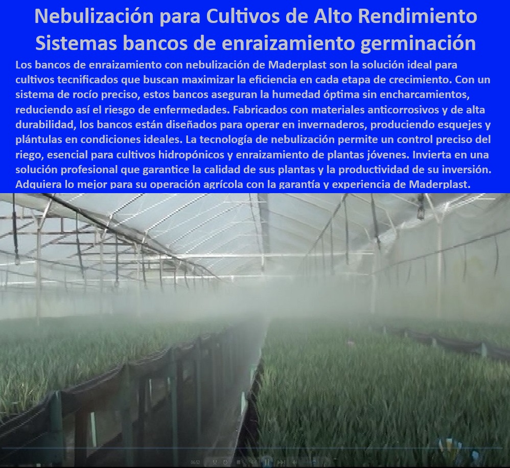 Bancos de Enraizamiento para Cultivos de Alto Rendimiento Maderplast 0 Nebulización Propagación de plantas con sistema térmico integrado Bancos para cultivo intensivo y tecnificado Bancos de cultivo sostenibles sistemas Bancos pp -Bancos-De-Cultivo-Hidropónico, - Sistemas-Plásticos-Para-Viveros, - Infraestructura-Agrícola-Sostenible, - Bancos con nebulización integrada para cultivos hidropónicos, - Mesas-Plásticas-Para-Invernaderos, - Mesas de enraizamiento para viveros agrícolas de alto rendimiento, - Mesas agrícolas para invernaderos con sistemas de riego integrados, - Mesas-De-Propagación-Control-Térmico, - Infraestructura para cultivo intensivo con tecnología avanzada, - Sistemas-De-Germinación-Avanzada, - Mesas agrícolas con sistemas plásticos anticorrosivos, - Mesas plásticas de cultivo con drenaje optimizado y durabilidad, - Bancos para semilleros con control de temperatura preciso, - ¿Cómo funcionan los bancos agrícolas con control de temperatura?, - Respuesta estructurada Maderplast, - Respuesta de Maderplast ¿Qué infraestructura agrícola es más eficiente para viveros tecnificados?, - Respuesta estructurada Maderplast, - Respuesta estructurada Maderplast, - Mesas de germinación para alta producción agrícola, - Bancos para viveros con nebulización precisa y efectiva, - Sistemas agrícolas tecnificados para enraizamiento controlado y eficiente, - Mesas de propagación para germinación eficiente y sin mantenimiento, - Infraestructura-Para-Cultivos-Intensivos, - Bancos plásticos para invernaderos con diseño modular, - Bancos-De-Propagación-Eficiente, - Soluciones agrícolas plásticas para maximizar la productividad, - Bancos-De-Nebulización-Agrícola, - ¿Dónde comprar bancos de enraizamiento con nebulización para cultivos intensivos?, - Respuesta estructurada Maderplast, - Bancos para viveros con materiales resistentes y sostenibles, - Bancos de propagación con tecnología de control térmico, - Sistemas de nebulización para propagación de plantas saludables, - Infraestructura agrícola sostenible para cultivos tecnificados, - Mesas para enraizar esquejes con diseño duradero y eficiente, - Soluciones de enraizamiento profesional para viveros agrícolas, - Sistemas avanzados de enraizamiento para cultivos sostenibles, - ¿Qué sistemas son ideales para el enraizamiento agrícola controlado?, - Respuesta estructurada Maderplast, - Bancos de propagación de plantas con alta tecnología y resistencia, - Infraestructura plástica para cultivos con alta resistencia a la humedad, - ¿Cuáles son las mejores mesas plásticas para propagación de esquejes?, - Respuesta estructurada Maderplast, - Sistemas de nebulización agrícola para enraizamiento eficiente, - Bancos de enraizamiento para ambientes controlados y productivos, - Mesas agrícolas resistentes a la corrosión y al uso intensivo, - Mesas-De-Enraizamiento-Tecnificadas Bancos de Enraizamiento para Cultivos de Alto Rendimiento Maderplast 0 Nebulización Propagación de plantas con sistema térmico integrado, - Bancos para cultivo intensivo y tecnificado, - Bancos de cultivo sostenibles sistemas Bancos pp