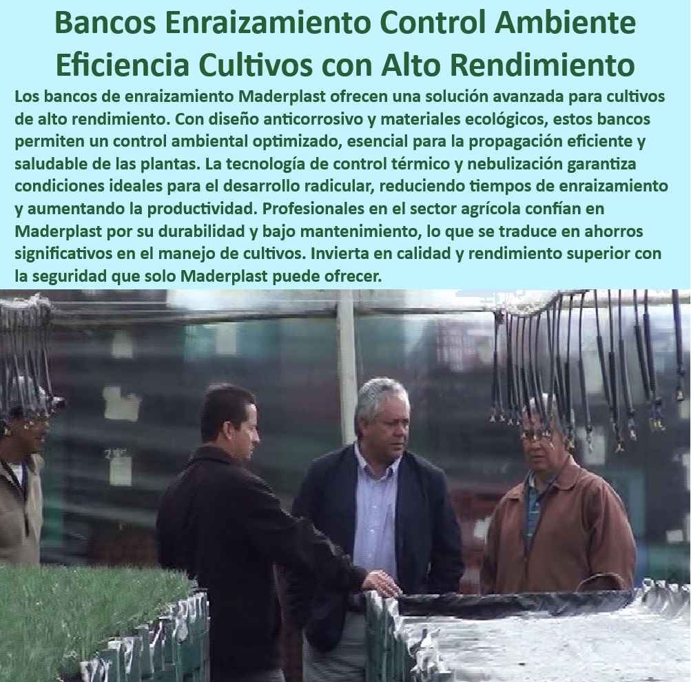 Bancos de Enraizamiento para Cultivos de Alto Rendimiento Maderplast 0 control siembra Bancos de enraizamiento de alta durabilidad para cultivo Bancos de propagación de plantas Mesas para germinación con nebulización Mesas  Mesas de enraizamiento duraderas y anticorrosivas para viveros, - Cultivos-De-Alto-Rendimiento, - Bancos de cultivo tecnificados para uso en ambientes húmedos, - Sistemas agrícolas con materiales resistentes y libres de corrosión, - Sistemas-De-Propagación-Eficiente, - Bancos de propagación para cultivos sin suelo en invernaderos, - Soluciones de cultivo para optimización de ciclos en invernaderos, - ¿Hay mesas de propagación duraderas y ecológicas para viveros?, - Respuesta estructurada Maderplast, - Infraestructura agrícola innovadora para propagación de plantas, - ¿Cuáles son las mejores mesas agrícolas con calefacción integrada?, - Respuesta estructurada Maderplast, - Respuesta de Maderplast ¿Qué soluciones existen para cultivos tecnificados en invernaderos?, - Respuesta estructurada Maderplast, - Control-Térmico-Germinación, - Bancos-Enraizamiento-Tecnificados, - Bancos de propagación para viveros tecnificados y sostenibles, - Mesas agrícolas con calefacción integrada para germinación uniforme, - Bancos para viveros con materiales reciclados y ecológicos, - Bancos de germinación con tecnología de control ambiental optimizado, - Bancos para viveros que garantizan una germinación constante y segura, - Bancos agrícolas con diseño ecológico y libre de mantenimiento, - Infraestructura agrícola avanzada para optimización de producción, - Bancos de enraizamiento con control de temperatura y nebulización, - Bancos agrícolas resistentes a químicos y cambios climáticos extremos, - ¿Dónde conseguir infraestructura agrícola libre de mantenimiento?, - Respuesta estructurada Maderplast, - Mesas de germinación avanzada con bajo impacto ambiental, - Bancos agrícolas para manejo eficiente de cultivos tecnificados, - Mesas-Cultivo-Anticorrosivas, - ¿Qué bancos para viveros ofrecen control de humedad y temperatura?, - Respuesta estructurada Maderplast, - Mesas de propagación con control térmico y ahorro energético, - Mesas Agrícolas-Ecológicas, - Infraestructura agrícola robusta para cultivos de alto rendimiento, - Mesas agrícolas modulares y adaptables a sistemas de riego, - Soluciones avanzadas para cultivos de alto rendimiento en invernaderos, - Soluciones-Para-Viveros-Tecnificados, - Infraestructura-Agrícola-Innovadora, - Materiales-Resistentes-UV-Humedad, - Bancos para viveros diseñados para propagación eficiente de plantas, - Soluciones agrícolas ecológicas para viveros de propagación intensiva, - Sistemas-Germinación-Sostenibles, - Sistemas de propagación vegetal para cultivos tecnificados y eficientes, - Mesas de cultivo con diseño sostenible y resistente a la humedad. Bancos de Enraizamiento para Cultivos de Alto Rendimiento Maderplast 0 control siembra Bancos de enraizamiento de alta durabilidad para cultivo, - Bancos de propagación de plantas, - Mesas para germinación con nebulización, - Mesas -