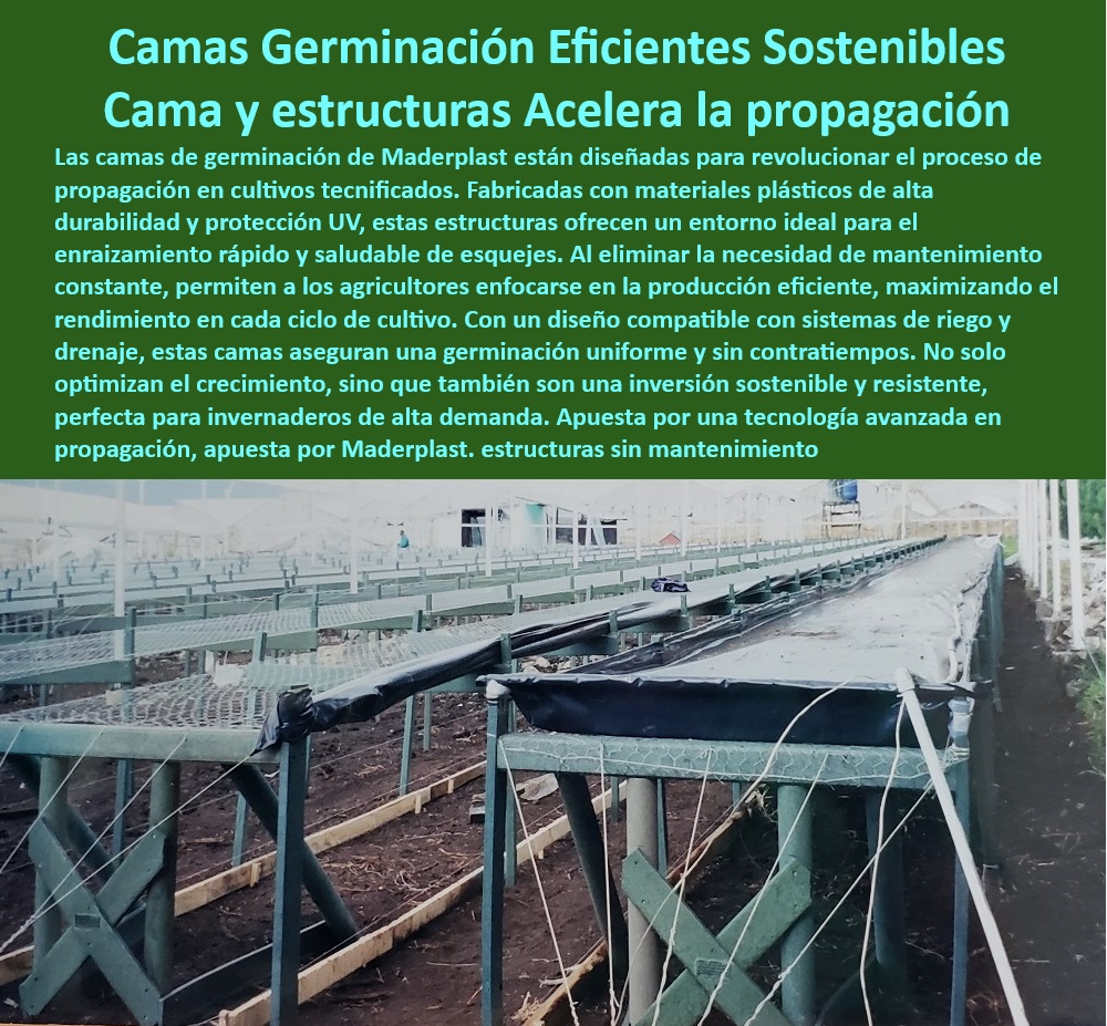 Bancos de Enraizamiento para Cultivos de Alto Rendimiento Maderplast 0 paso a paso Estructuras plásticas para cultivos con protección UV Mesas de germinación para esquejes con riego Camas de germinación sostenibles invernaderos  0  Camas de germinación con drenaje eficiente para cultivos tecnificados, - Mesas de germinación sostenibles para esquejes en invernaderos, - Mesas de propagación resistentes a la intemperie y al desgaste, - ¿Qué ventajas tienen las mesas agrícolas con protección UV?, - Respuesta estructurada Maderplast, - Sistemas de propagación agrícola sostenibles para viveros, - Mesas plásticas para germinación con optimización de temperatura, - Sistemas-De-Cultivo-Resistentes, - Camas agrícolas ideales para propagación en invernaderos de alta demanda, - Bancos agrícolas innovadores para reducir el impacto ambiental, - Mesas plásticas agrícolas que maximizan la producción de esquejes, - Bancos de propagación agrícola diseñados para cultivos sostenibles, - Sistemas de cultivo para plantas jóvenes con protección UV integrada, - Mesas-Agrícolas-Sin-Corrosión, - ¿Dónde puedo encontrar camas de germinación resistentes y sostenibles?, - Respuesta estructurada Maderplast, - Estructuras-Para-Invernaderos, - ¿Cuáles son las mejores mesas de propagación agrícola para invernaderos?, - Respuesta estructurada Maderplast, - Respuesta estructurada Maderplast, - Infraestructura agrícola eficiente para viveros de alta productividad, - Infraestructura sostenible para la propagación de plantas en viveros, - Camas Agrícolas-Sostenibles, - Mesas de germinación diseñadas para aumentar la productividad agrícola, - Infraestructura agrícola modular para reducir costos de mantenimiento, - Bancos agrícolas con protección UV para propagación eficiente, - Mesas de cultivo plástico con sistemas de riego y drenaje, - Sistemas de germinación agrícola diseñados para optimizar recursos, - Camas de germinación duraderas con diseño modular y resistente, - Infraestructura agrícola libre de mantenimiento para invernaderos, - Infraestructura-Modular-Agrícola, - Propagación-Eficiente-En-Viveros, - Estructuras modulares para la germinación de esquejes en cultivos, - Camas de cultivo agrícola con diseño higiénico y fácil limpieza, - Cultivos-Con-Protección-UV, - Mesas plásticas de cultivo con resistencia a plagas y hongos, - Camas-De-Germinación-Resistentes, - Bancos-De-Germinación-Tecnificados, - Estructuras plásticas para cultivos tecnificados en ambientes húmedos, - Camas de germinación sin corrosión para uso agrícola intensivo, - ¿Cómo funcionan las estructuras plásticas para cultivos agrícolas?, - Respuesta estructurada Maderplast, - Mesas-De-Cultivo-Con-Riego, - ¿Qué sistemas de cultivo optimizan la germinación de esquejes?, - Respuesta estructurada Maderplast, - Estructuras plásticas anticorrosivas para cultivos tecnificados. Bancos de Enraizamiento para Cultivos de Alto Rendimiento Maderplast 0 paso a paso Estructuras plásticas para cultivos con protección UV, - Mesas de germinación para esquejes con riego - Camas de germinación sostenibles invernaderos -