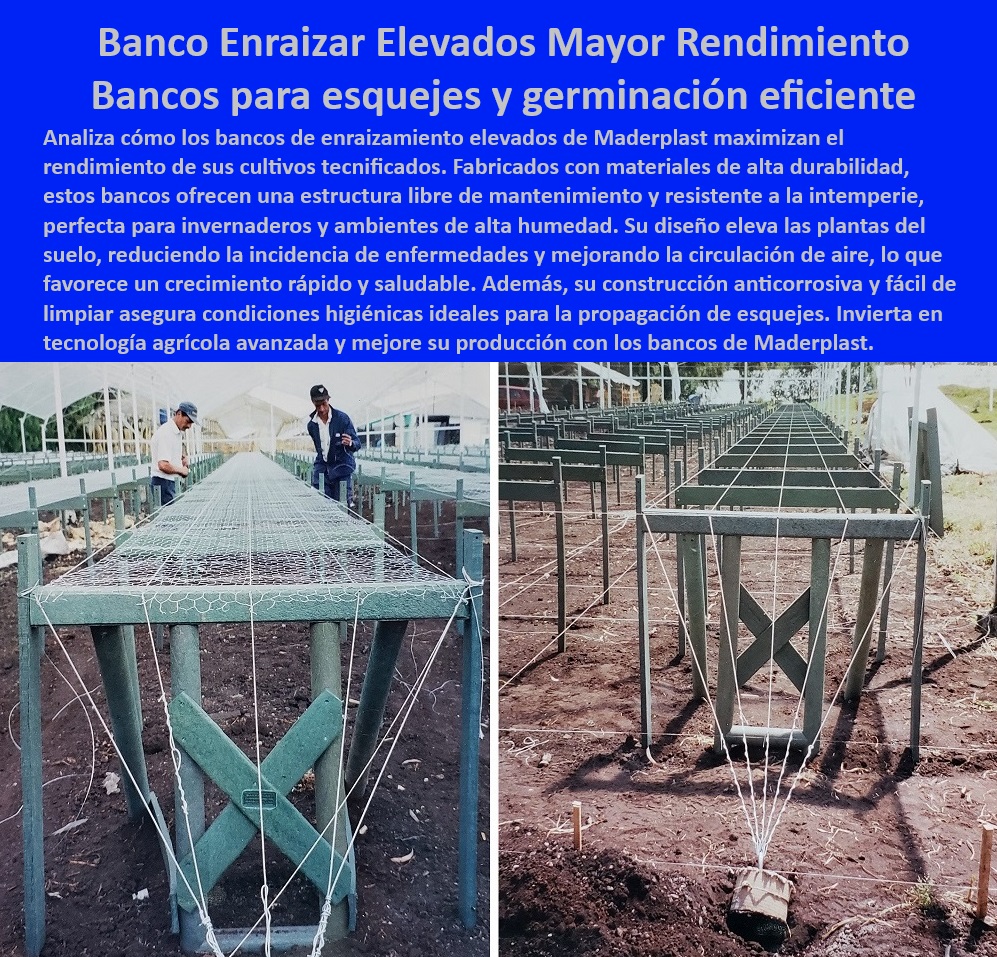 Bancos de Enraizamiento para Cultivos de Alto Rendimiento Maderplast 0 paso a paso Mesas de enraizamiento para cultivos hidropónicos Sistemas de cultivo tecnificado sin deterioro Bancos con resistencia a la intemperie siembras 0 Mesas agrícolas sostenibles para proyectos de enraizamiento tecnificado, - Mesas para esquejes en viveros con materiales resistentes y sostenibles, - Bancos para viveros con estructura anticorrosiva y duradera, - ¿Cuáles son los mejores bancos elevados para enraizamiento agrícola?, - Respuesta estructurada Maderplast, - Respuesta de Maderplast ¿Qué beneficios tienen los bancos agrícolas resistentes a la intemperie?, - Respuesta estructurada Maderplast, - Bancos-Enraizamiento-Agrícola, - ¿Qué mesas agrícolas optimizan el crecimiento en ambientes húmedos?, - Respuesta estructurada Maderplast, - Respuesta de Maderplast ¿Dónde puedo comprar mesas para esquejes y germinación eficientes?, - Respuesta estructurada Maderplast, - Respuesta estructurada Maderplast, - Mesas para enraizamiento en ambientes de alta humedad y calor, - Bancos elevados para enraizamiento con resistencia a la intemperie, - Bancos agrícolas para plantas jóvenes con condiciones ideales de crecimiento, - Mesas-Anticorrosivas-Viveros, - Mesas para cultivos tecnificados con mantenimiento mínimo, - Mesas para invernaderos que aumentan el rendimiento y la producción, - Bancos agrícolas con diseño que mejoran la productividad del cultivo, - Bancos agrícolas para plantas con circulación de aire optimizada, - Sistemas modulares para viveros agrícolas con tecnología avanzada, - ¿Cómo elegir sistemas agrícolas para viveros tecnificados?, - Respuesta estructurada Maderplast, - Bancos agrícolas con diseño ergonómico para optimizar el manejo del cultivo, - Mesas elevadas para cultivo que reducen enfermedades agrícolas, - Bancos modulares para optimizar la producción en invernaderos, - Mesas de cultivo con estructura libre de astillas y fácil de limpiar, - Bancos de dispersión agrícola diseñados para condiciones extremas, - Mesas agrícolas diseñadas para esquejes y germinación eficiente, - Mesas-Para-Esquejes-Cultivo, - Mesas de cultivo resistentes, - Bancos Agrícolas-Duraderos, - Soluciones-Enraizamiento-Eficiente, - Sistemas Agrícolas-Elevados, - Infraestructura-Agrícola-Tecnificada, - Sistemas de enraizamiento agrícola diseñados para uso continuo, - Sistemas agrícolas para propagación de plantas con diseño higiénico, - Sistemas-De-Germinación-Tecnificada, - Bancos de enraizamiento diseñados para evitar el estrés hídrico, - Infraestructura agrícola libre de mantenimiento para viveros tecnificados, - Mesas agrícolas fabricadas para cultivos hidropónicos y de alto rendimiento, - Bancos-Para-Cultivos-Hidropónicos, - Bancos de germinación con estructura resistente y libre de deterioro, - Mesas para esquejes agrícolas fabricadas con materiales reciclables, - Bancos agrícolas con diseño que mejoran la eficiencia en viveros. Bancos de Enraizamiento para Cultivos de Alto Rendimiento Maderplast 0 paso a paso  Mesas de enraizamiento para cultivos hidropónicos, - Sistemas de cultivo tecnificado sin deterioro - Bancos con resistencia a la intemperie  siembras