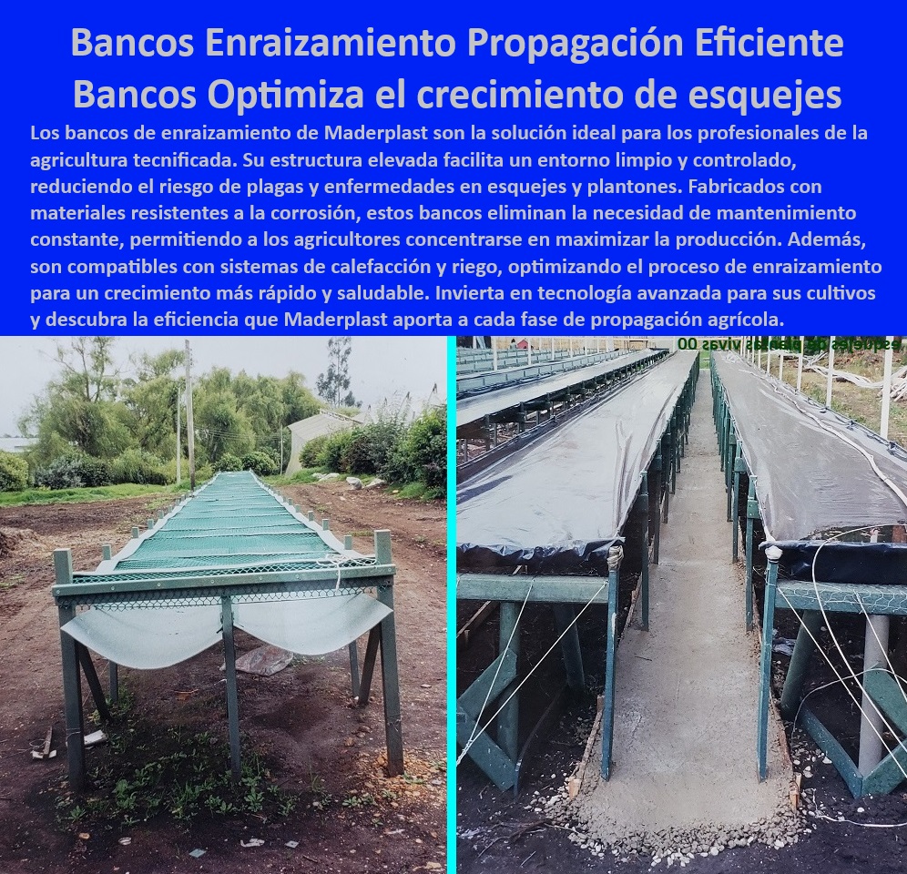 Bancos de Enraizamiento para Cultivos de Alto Rendimiento Maderplast 0 paso a paso Mesas de enraizamiento para siembra intensiva Materiales sin mantenimiento agrícola para invernaderos Sistemas de calefacción para propagación  0  Infraestructura agrícola modular para viveros tecnificados, - Mesas de propagación agrícola que maximizan el crecimiento de esquejes, - Mesas-De-Enraizamiento-Ecológicas, - Mesas de propagación agrícola resistentes a plagas y hongos, - ¿Qué bancos agrícolas son ideales para siembra intensiva?, - Respuesta estructurada Maderplast, - Bancos de germinación eficientes para plantas jóvenes en viveros, - Bancos de enraizamiento con diseño innovador y sin mantenimiento, - Sistemas de cultivo agrícola para plantas con condiciones controladas, - ¿Cómo funcionan las mesas de cultivo con control de riego y temperatura?, - Respuesta estructurada Maderplast, - Sistemas-De-Germinación-Agrícola, - Sistemas agrícolas con estructura anticorrosiva y fácil limpieza, - Mesas-De-Cultivo-Con-Control, - Mesas agrícolas diseñadas para propagación eficiente en viveros, - Mesas de cultivo para viveros tecnificados con optimización de recursos, - Infraestructura-Viveros-Anticorrosiva, - Bancos de enraizamiento ideales para siembras intensivas, - ¿Dónde puedo encontrar bancos agrícolas resistentes para viveros?, - Respuesta estructurada Maderplast, - Mesas para invernaderos fabricadas con materiales resistentes a la intemperie, - Mesas-Agrícolas-Para-Viveros, - Infraestructura agrícola anticorrosiva para esquejes y plantones, - Bancos de propagación agrícola para cultivos sostenibles y ecológicos, - Infraestructura-Agrícola-Modular, - Mesas agrícolas libres de mantenimiento para cultivos sostenibles, - Cultivo-Tecnificado-Sostenible, - ¿Qué mesas de propagación agrícola optimizan la germinación de esquejes?, - Respuesta estructurada Maderplast, - Bancos de propagación agrícola con diseño modular y eficiente, - Bancos-Resistentes-Intemperie, - ¿Cuáles son las mejores infraestructuras agrícolas para ambientes húmedos?, - Respuesta estructurada Maderplast, - Respuesta estructurada Maderplast, - Mesas de cultivo diseñadas para optimizar la producción agrícola, - Mesas de cultivo fabricadas para reducir el estrés hídrico en plantas, - Bancos de propagación agrícola resistentes a la corrosión, - Bancos-De-Enraizamiento-Duraderos, - Bancos agrícolas para viveros tecnificados en ambientes húmedos, - Mesas de germinación para invernaderos con riego automatizado, - Bancos de dispersión agrícola diseñados para esquejes, - Propagación-Eficiente-Esquejes, - Bancos agrícolas diseñados para optimizar la circulación de aire, - Sistemas de cultivo agrícola con control de temperatura y riego, - Infraestructura agrícola duradera para propagación de cultivos, - Mesas de enraizamiento elevadas para cultivo agrícola intensivo. Bancos de Enraizamiento para Cultivos de Alto Rendimiento Maderplast 0 paso a paso  Mesas de enraizamiento para siembra intensiva, - Materiales sin mantenimiento agrícola para invernaderos - Sistemas de calefacción para propagación -