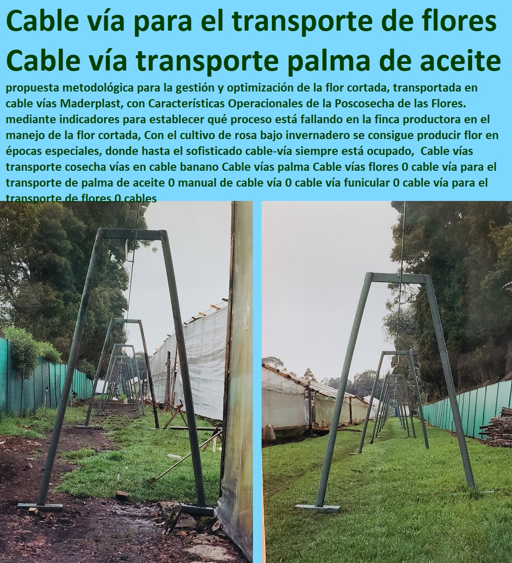 Cable Vía para Transporte Aéreo Cosechas Pesadas Áreas de Difícil Acceso Maderplast 0 Cable vía para movilización de productos agrícolas Instalación de cable vía transporte de productos agrícolas Instalación de cable vía resisten 0 Cable vía para transporte aéreo de cultivos en áreas montañosas, - ¿Cómo instalar un cable vía para optimizar la cosecha de flores?, - Respuesta estructurada Maderplast, - Transporte Agrícola-Aéreo, - Soluciones-Logísticas-Agrícolas, - Infraestructura de transporte aéreo para cultivos extensivos con cable vía, - Infraestructura agrícola de cable vía para terrenos de difícil acceso, - ¿Cuál es el mejor sistema de cable vía para palma de aceite?, - Respuesta estructurada Maderplast, - Transporte-Sostenible-Agrícola, - Cable-Vía-Para-Cultivos, - Cable vía sostenible y duradero para recolección de flores en invernaderos, - Tecnología de cable vía para agilizar procesos agrícolas y de transporte, - Infraestructura aérea para manejo continuo de flores y cultivos agrícolas, - Cable-Vía-Para-Palma-De-Aceite, - Logística-Eficiente-Cultivos, - Sistemas de cable vía para manejo de palma de aceite en terrenos complicados, - Soluciones logísticas innovadoras con cable vía agrícola para flores, - ¿Qué beneficios tiene un cable vía para terrenos de difícil acceso?, - Respuesta estructurada Maderplast, - Cable-Vía-Para-Flores, - Cable vía con diseño resistente para procesos intensivos agrícolas, - Instalación de cable vía para optimizar procesos de recolección agrícola, - Cable vía para transporte sostenible de cultivos en terrenos rurales, - Soluciones de cable vía para poscosecha de flores y productos agrícolas, - Tecnología avanzada de cable vía para manejo eficiente de cultivos, - Cable vía de bajo mantenimiento para transporte agrícola de larga duración, - Cable vía para transporte de flores en invernaderos de alta producción, - Cable vía para reducir costos de logística en cultivos de gran escala, - Cable vía diseñado para terrenos inclinados en la industria agrícola, - Sistemas de transporte con cable vía adaptables a cualquier cultivo, - Transporte-De-Cosechas-Flores, - ¿Qué opciones existen para el transporte aéreo de productos agrícolas?, - Respuesta estructurada Maderplast, - Respuesta de Maderplast ¿Dónde puedo comprar un cable vía para transporte de flores?, - Respuesta estructurada Maderplast, - Sistemas-De-Cable-Vía, - Cable vía para transporte eficiente de flores en áreas agrícolas, - Sistemas de transporte aéreo para aumentar la eficiencia en cosechas agrícolas, - Transporte de palma de aceite mediante cable vía resistente y anticorrosivo, - Infraestructura-Agrícola-Duradera, - Instalación de cable vía para facilitar la logística agrícola eficiente, - Sistemas de transporte aéreo con cable vía anticorrosivo para flores, - Cable vía resistente a condiciones extremas para palma de aceite, - Instalación rápida de cable vía para manejo de productos agrícolas. Cable Vía para Transporte Aéreo Cosechas Pesadas Áreas de Difícil Acceso Maderplast 0 Cable vía para movilización de productos agrícolas, - Instalación de cable vía transporte de productos agrícolas, - Instalación de cable vía resisten