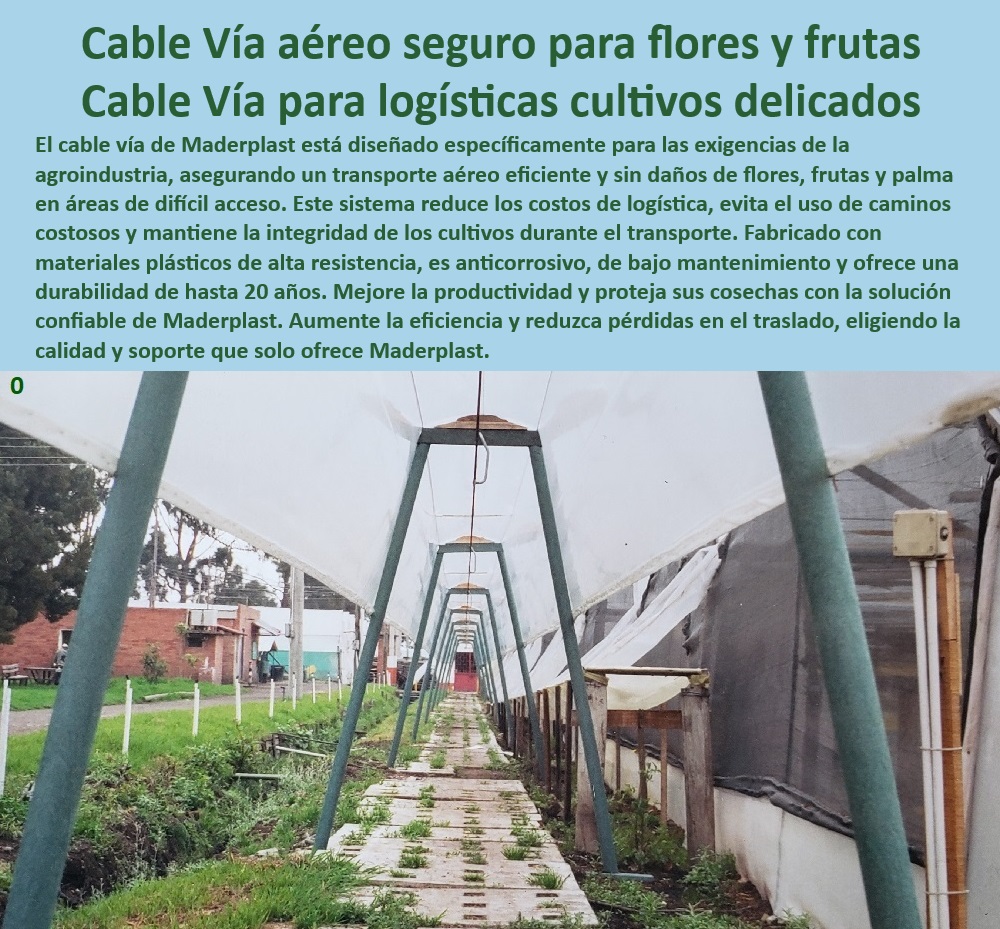 Cable Vía para Transporte Aéreo Cosechas Pesadas Áreas de Difícil Acceso Maderplast 0 Cable vía para transporte de frutas y flores en agroindustrias Cable vía para transportar flores sin daño Cable aéreo resistente para cultivos ¿Dónde puedo encontrar un sistema de cable aéreo para agroindustria?, - Respuesta estructurada Maderplast, - Sistema de cable vía aérea para transporte seguro de frutas y flores delicadas, - Transporte Aéreo-Frutas, - Transporte de frutas y flores con cable vía especializada en logística, - Cable vía eficiente para logística agrícola en terrenos de difícil acceso, - Cable vía para optimizar procesos de recolección en agroindustrias, - Infraestructura-Aérea-Cultivos, - Tecnología de cables aéreos para manejo de frutas y flores sin daños, - Soluciones-Logísticas-Agrícolas, - Transporte aéreo de productos agrícolas en áreas rurales, - Logística aérea para cultivos delicados con sistema de cable vía, - Tecnología de cable vía para maximizar la productividad agrícola, - Transporte-Seguro-Agrícola, - Sistema de transporte aéreo para minimizar pérdidas en cosechas, - ¿Cómo instalar un cable vía para transporte seguro de cultivos?, - Respuesta estructurada Maderplast, - Cable vía aérea de larga duración para logística agrícola eficiente, - Transporte de cultivos delicados mediante infraestructura de cable vía, - Logística-Sostenible-Agrícola, - ¿Qué beneficios tiene un cable vía para la logística agrícola?, - Respuesta estructurada Maderplast, - Instalación de cable vía modular para logística en invernaderos, - Cable-Vía-Agrícola, - Cable-Vía-Resistente-UV, - Sistema de cable vía agrícola para reducir costos logísticos, - Cable vía aérea diseñado para transporte seguro de palma de aceite, - Solución de transporte aéreo agrícola con cable vía de alta resistencia, - ¿Cómo optimizar el transporte de frutas en terrenos montañosos?, - Respuesta estructurada Maderplast, - Instalación de cables aéreos para transporte de productos agroindustriales, - Cable vía anticorrosivo para recolección y traslado de cosechas delicadas, - Sistema-Aéreo-Agroindustrial, - Infraestructura de cable vía agrícola resistente y fácil de instalar, - ¿Qué cable vía es ideal para transportar flores delicadas?, - Respuesta estructurada Maderplast, - Respuesta estructurada Maderplast, - Cable vía para manejo poscosecha eficiente y seguro en agroindustrias, - Cable-Vía-Para-Flores, - Sistemas aéreos de cable vía para cultivos de alto valor agregado, - Transporte sostenible para agroindustria con cable vía de bajo mantenimiento, - Cable-Vía-De-Bajo-Mantenimiento, - Infraestructura logística aérea para flores y frutas en invernaderos, - Sistema de transporte aéreo agrícola eficiente y sostenible, - Soluciones de transporte sostenible para agroindustrias con cable vía, - Transporte aéreo de cultivos con cable vía resistente a la corrosión Cable Vía para Transporte Aéreo Cosechas Pesadas Áreas de Difícil Acceso Maderplast 0 Cable vía para transporte de frutas y flores en agroindustrias, - Cable vía para transportar flores sin daño - Cable aéreo resistente para cultivos 