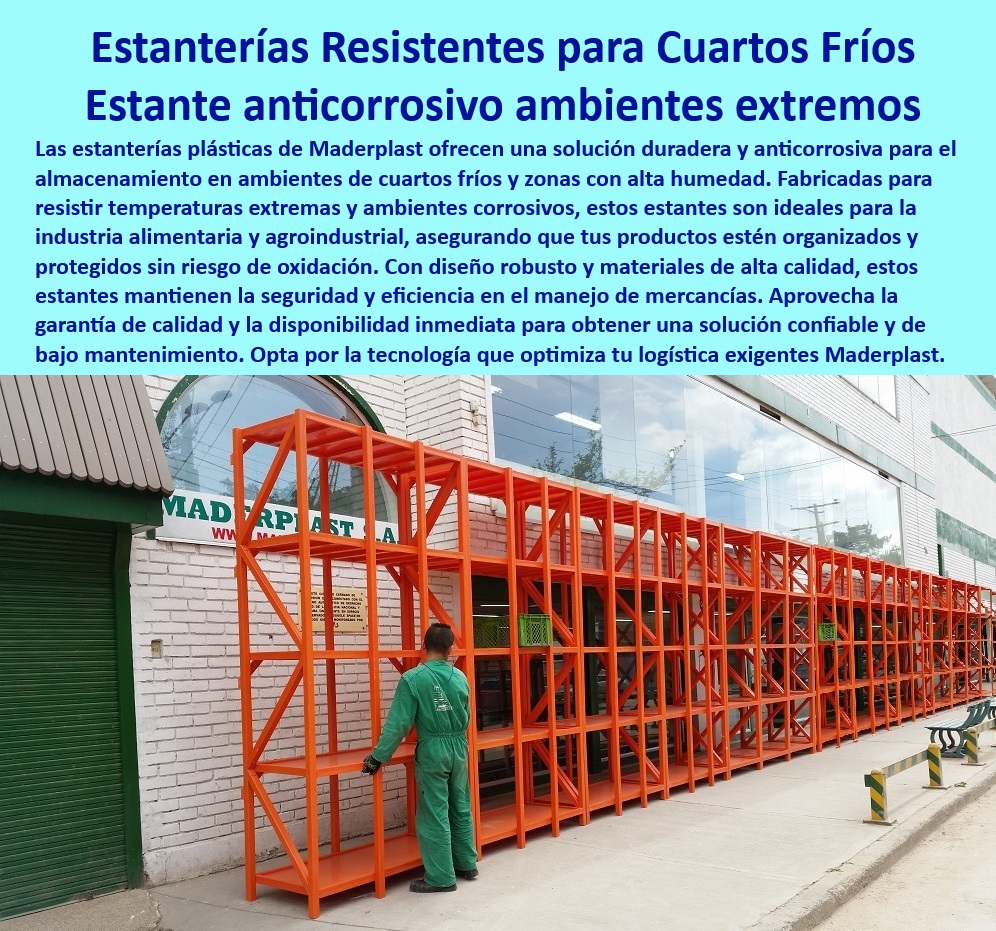 Estanterías Para Cuartos Fríos Estantes De Refrigeración Racks Maderplast 0 Bastidores con alta resistencia térmica para cuartos fríos Estanterías plásticas resistentes a bajas temperaturas Estantes plásticos para logística racks Soluciones de almacenamiento logístico para cuartos fríos industriales, - Estanterías anticorrosivas diseñadas para condiciones extremas, - Soluciones industriales de almacenamiento para productos perecederos, - Estanterías-Plásticas-Cuartos-Fríos, - Racks modulares para cuartos fríos con alta resistencia térmica, - Bastidores duraderos y modulares para conservación en frío, - Bastidores confiables para ambientes de baja temperatura y alta humedad, - Estanterías de alta resistencia para zonas de alta humedad, - ¿Qué opciones existen para almacenamiento confiable en cámaras refrigeradas?, - Respuesta estructurada Maderplast, - Estantes plásticos eficientes para cámaras de congelación, - Almacenamiento-En-Cámaras-Frigoríficas, - ¿Cuáles son las mejores estanterías plásticas para refrigeración comercial?, - Respuesta estructurada Maderplast, - Estanterías-Plásticas-Duraderas, - Estantes plásticos duraderos para conservación de productos frescos, - Sistemas de almacenamiento seguro para productos congelados, - Almacenamiento plástico duradero para cámaras frigoríficas comerciales, - Bastidores-Anticorrosivos-Industriales, - Estantes de plástico resistentes para cámaras de congelación y refrigeración, - Sistemas de racks plásticos para cámaras de refrigeración industrial, - Soluciones-De-Logística-En-Frío, - Sistemas-De-Estanterías-Modulares, - Estantes anticorrosivos de fácil limpieza para cámaras refrigeradas, - Estanterías modulares para ambientes de refrigeración industrial, - ¿Dónde encontrar bastidores anticorrosivos para cámaras frigoríficas?, - Respuesta estructurada Maderplast, - Estantes-Anticorrosivos-Industriales, - Estanterías plásticas versátiles para almacenamiento refrigerado, - Bastidores resistentes a bajas temperaturas para almacenamiento en frío, - ¿Cómo elegir estantes resistentes para almacenamiento en frío extremo?, - Respuesta estructurada Maderplast, - Respuestas de Maderplast a sus preguntas  ¿Qué estantes resistentes son ideales para cuartos fríos industriales?, - Respuesta estructurada Maderplast, - Bastidores-Para-Conservación-De-Alimentos, - Estanterías plásticas sostenibles para cámaras frigoríficas comerciales, - Almacenamiento-Refrigerado-Confiable, - Sistemas de racks robustos para logística industrial en frío, - Bastidores resistentes a la corrosión para almacenamiento en frío, - Soluciones robustas de estanterías para industria alimentaria, - Estanterías plásticas anticorrosivas para cámaras frigoríficas industriales, - Estantes plásticos para almacenamiento en ambientes refrigerados, - Estanterías industriales de plástico para logística en frío, - Estantes-Resistentes-Ambientes-Húmedos, - Estanterías especializadas para cámaras frigoríficas de alimentos. Estanterías Para Cuartos Fríos Estantes De Refrigeración Racks Maderplast 0 Bastidores con alta resistencia térmica para cuartos fríos, - Estanterías plásticas resistentes a bajas temperaturas - Estantes plásticos para logística racks