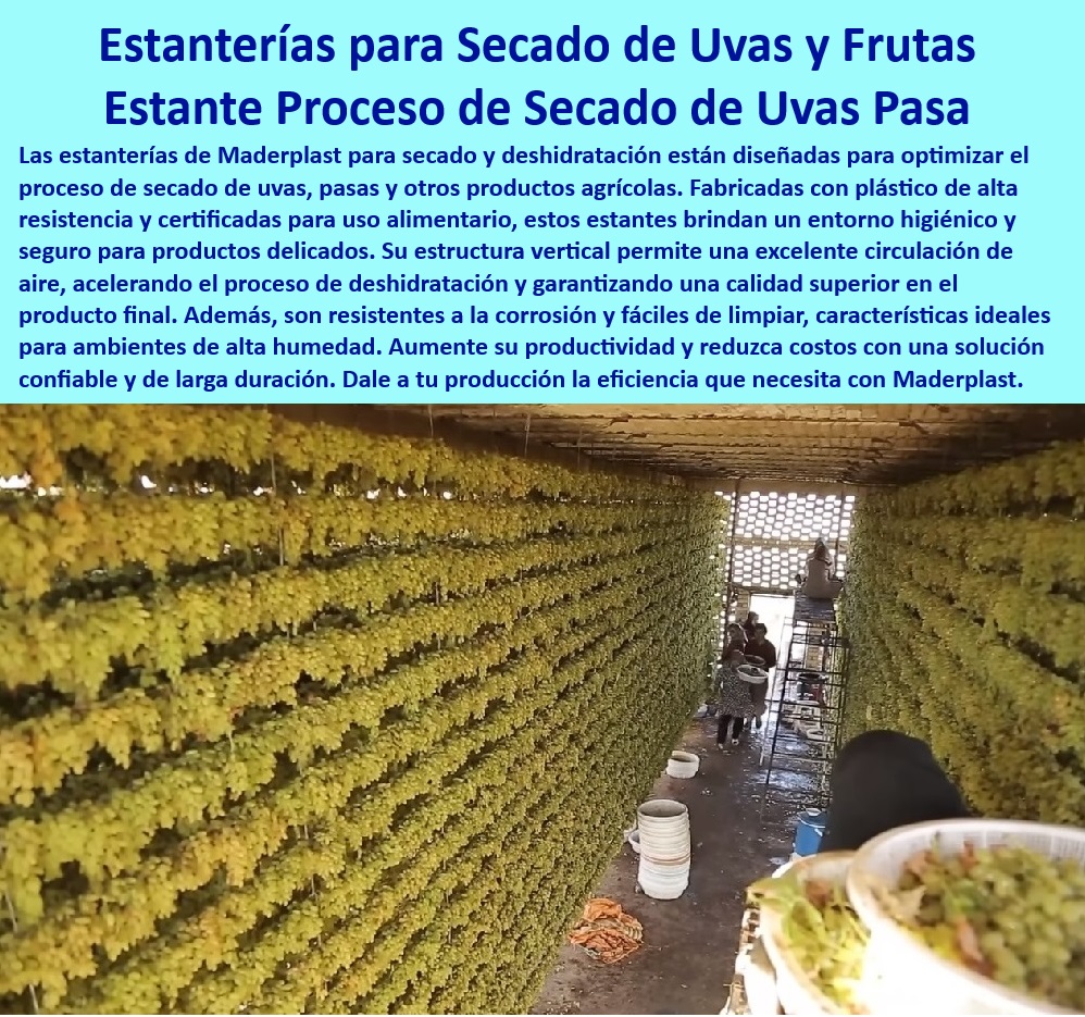 Estanterías Para Cuartos Fríos Estantes De Refrigeración Racks Maderplast 0 Estanterías Plásticas de Alta Resistencia para Cuartos Fríos Solución Eficaz para Almacenamiento en Refrigeración Bastidores para almacenamiento seguro de Estanterías de plástico para secado de uvas en ambientes controlados, - Soluciones eficientes para producción agrícola con estantes duraderos, - Estanterías seguras para procesos de secado alimentario certificado, - ¿Cuáles son los mejores estantes para deshidratación de uvas?, - Respuesta estructurada Maderplast, - Bastidores de plásticos duraderos para procesamiento alimentario y agrícola, - Estanterías-Para-Secado-De-Uvas, - Sistemas de secado industrial con estanterías anticorrosivas, - Sistemas de estantes para deshidratación de productos delicados, - Estanterías agrícolas de alta calidad para secado de productos frescos, - Soluciones-De-Almacenamiento-En-Agricultura, - Secado de Uvas con Estantes, - Estantes certificados para procesos de secado en industria alimentaria, - Estanterías-Certificadas-Para-Secado, - Estanterías de bajo mantenimiento para secado industrial de alimentos, - Estantes resistentes para optimizar la producción de pasas y frutas secas, - Bastidores resistentes para secado de alimentos en condiciones extremas, - Sistemas de secado de frutas, - Estanterías verticales para circulación de aire en procesos agrícolas, - Sistemas de estanterías para optimizar el secado agrícola industrial, - Estanterías anticorrosivas para ambientes agrícolas y húmedos, - Estantes-Agrícolas-Resistentes-Humedad, - ¿Cómo elegir estanterías higiénicas para secado de productos alimenticios?, - Respuesta estructurada Maderplast, - Bastidores especializados para optimizar el secado de uvas y pasas, - Soluciones plásticas resistentes para secado en alta humedad, - Estanterías higiénicas para producción segura de frutas deshidratadas, - Bastidores de plástico para aumentar la eficiencia en deshidratación de alimentos, - Estanterías higiénicas para producción de frutas deshidratadas, - Bastidores de secado diseñados para alta productividad agrícola, - ¿Qué soluciones existen para la deshidratación de frutas con estantes plásticos?, - Respuesta estructurada Maderplast, - La Mejor Respuesta es de Maderplast ¿Dónde encontrar estantes resistentes para secado de frutas?, - Respuesta estructurada Maderplast, - Racks-Plásticos-Para-Deshidratación, - Estantes diseñados para producción de uvas pasas de alta calidad, - ¿Qué bastidores recomiendan para optimizar el secado agrícola?, - Respuesta estructurada Maderplast, - Sistemas de almacenamiento para frutas en proceso de deshidratación, - Bastidores-Duraderos-Anticorrosivos, - Optimización-De-Procesos-De-Secado, - Estanterías verticales para mejorar la circulación de aire en secado, - Estanterías-Higiénicas-Para-Alimentos, - Racks plásticos modulares para procesos de deshidratación masiva, - Estanterías plásticas para secado y deshidratación de frutas. Estanterías Para Cuartos Fríos Estantes De Refrigeración Racks Maderplast 0 Estanterías Plásticas de Alta Resistencia para Cuartos Fríos – Solución Eficaz para Almacenamiento en Refrigeración - Bastidores para almacenamiento seguro de