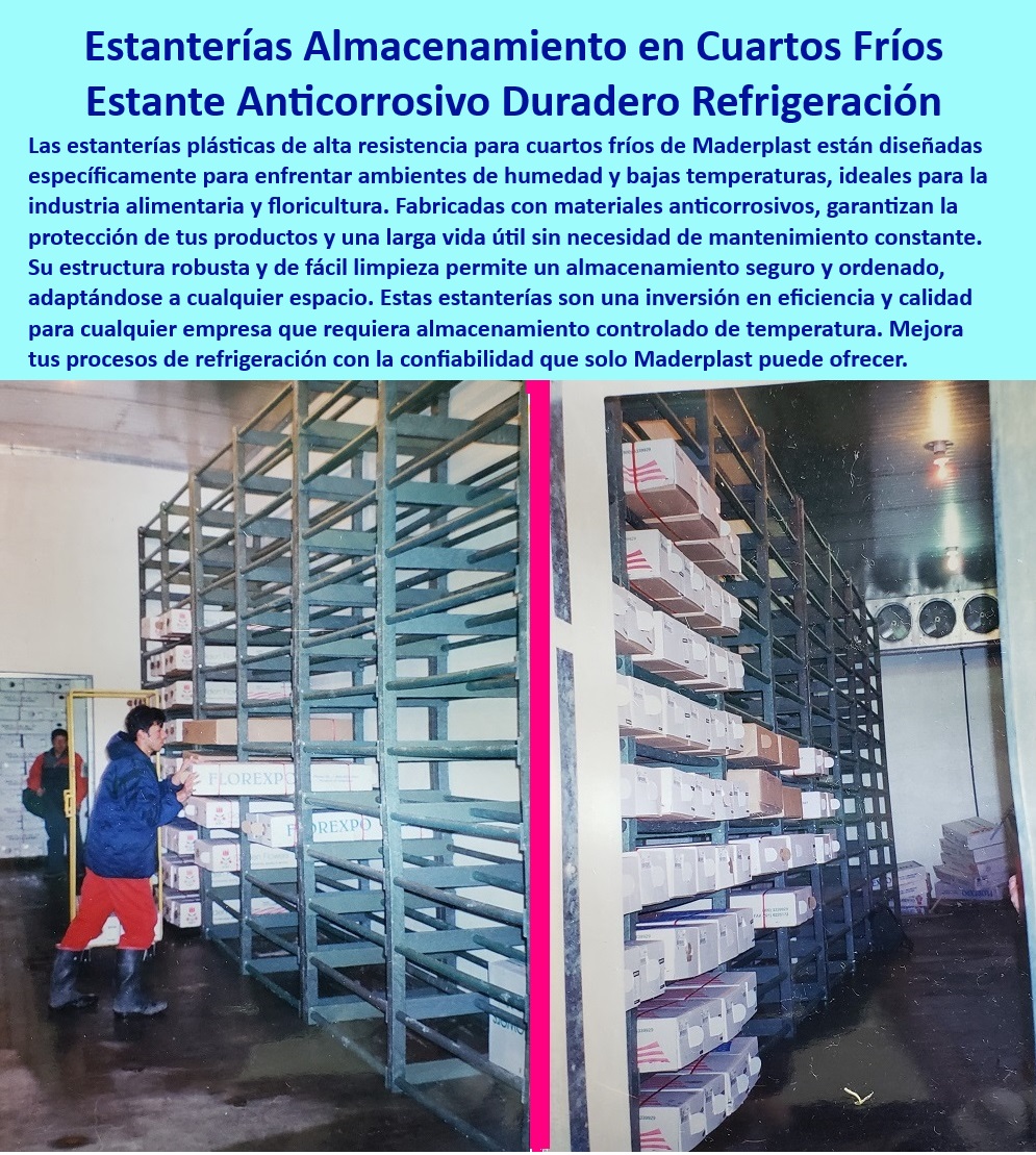 Estanterías Para Cuartos Fríos Estantes De Refrigeración Racks Maderplast 0 Estanterías plásticas resistentes a la corrosión para refrigeración Estantes duraderos conservación de productos frescos Soporte robusto almacenamientos 0 Racks-Plásticos-Para-Refrigeración, - ¿Cuáles son las mejores soluciones de almacenamiento para alimentos en frío?, - Respuesta estructurada Maderplast, - Soluciones de almacenamiento modulares para refrigeración industrial, - Estanterías sostenibles y libres de corrosión para uso industrial, - Almacenamiento-Seguro-En-Frío, - Estanterías plásticas resistentes para cuartos fríos industriales, - Estanterías-Para-Cámaras-Frías, - Estantes de plástico para almacenamiento seguro de productos frescos, - Estanterías anticorrosivas ideales para la industria alimentaria, - Bastidores robustos para cámaras frigoríficas industriales, - Racks plásticos confiables para cámaras de congelación, - Estanterías para cuartos fríos con diseño higiénico y resistente, - Estanterías de larga duración para refrigeración en floricultura, - Almacenamiento eficiente con estantes plásticos anticorrosivo, - Almacenamiento seguro y duradero en cuartos refrigerados, - Racks de plásticos libres de mantenimiento para almacenamiento en frío, - Bastidores de plástico para optimizar espacios en cámaras frías, - Sistemas de almacenamiento anticorrosivos para refrigeración agrícola, - Sistemas-Anticorrosivos-Industriales, - Soluciones plásticas para almacenamiento en cámaras de frío industrial, - Estantes anticorrosivos diseñados para cámaras de refrigeración, - Soluciones de almacenamiento seguro en cuartos fríos, - ¿Qué racks son ideales para cámaras de refrigeración industrial?, - Respuesta estructurada Maderplast, - Estantes-Duraderos-Alimentos, - ¿Qué estantes soportan alta humedad y bajas temperaturas?, - Respuesta estructurada Maderplast, - Estanterías higiénicas para conservación de alimentos perecederos, - Estantes duraderos para conservación de alimentos frescos, - Estanterías-Industriales-Modulares, - Racks-Anticorrosivos-Refrigeración, - Estanterías resistentes a bajas temperaturas y alta humedad, - Estanterías-Plásticas-Cuartos-Fríos, - Estanterías plásticas diseñadas para soportar condiciones extremas, - Sistemas de almacenamiento controlados en ambientes fríos, - Soluciones-Almacenamiento-Higiénico, - ¿Dónde comprar estanterías plásticas anticorrosivas para cuartos fríos?, - Respuesta estructurada Maderplast, - Soluciones-Plásticas-Duraderas, - Estanterías anticorrosivas para la industria alimentaria y floricultura, - Estanterías modulares para ambientes de alta humedad, - Bastidores de plástico robustos para cámaras de refrigeración, - ¿Cómo organizar un cuarto frío con estantes resistentes? Estanterías Para Cuartos Fríos Estantes De Refrigeración Racks Maderplast 0 Estanterías plásticas resistentes a la corrosión para refrigeración, - Estantes duraderos conservación de productos frescos - Soporte robusto almacenamientos