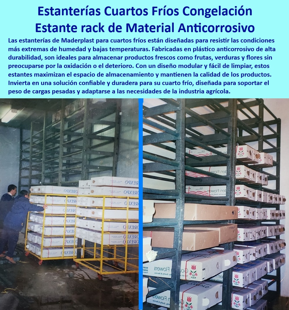 Estanterías Para Cuartos Fríos Estantes De Refrigeración Racks Maderplast 0 Estantes seguros para alimentos en cuartos fríos Racks industriales para cuartos de congelación confiables Racks modulares para cuartos fríos agrícolas Estanterías eficientes para maximizar el espacio en cuartos fríos, - Racks-Modulares-Cámaras-Refrigeradas, - Racks-Plásticos-Resistentes-Congelación, - ¿Cuáles son las mejores estanterías anticorrosivas para alimentos congelados?, - Respuesta estructurada Maderplast, - Estanterías-Para-Cámaras-Frigoríficas, - Racks industriales optimizados para cuartos de congelación, - Sistemas de almacenamiento seguros para cuartos fríos agrícolas, - Soluciones-De-Almacenamiento-Congelados, - Estantes-Duraderos-Ambientes-Húmedos, - Almacenamiento-Optimizado-Cuartos-Fríos, - Estantes plásticos anticorrosivos para almacenamiento refrigerado, - Sistemas de estanterías higiénicas para productos alimenticios, - Estantes de almacenamiento confiables para cámaras frigoríficas, - Estantes plásticos con capacidad de soportar altas cargas, - Soluciones duraderas para almacenamiento de alimentos congelados, - ¿Qué tipo de estantes plásticos son recomendados para cuartos fríos agrícolas?, - Respuesta estructurada Maderplast, - Estantes especializados para frutas, verduras y flores frescas, - Estanterías-Anticorrosivas-Cuartos-Fríos, - Estanterías de alta durabilidad para cámaras de congelación, - Soluciones de almacenamiento en cuartos fríos anticorrosivos, - ¿Qué estantes son ideales para cámaras frigoríficas industriales?, - Respuesta estructurada Maderplast, - Racks optimizados para almacenamiento de productos agrícolas, - ¿Cómo optimizar el espacio en cámaras de refrigeración con estantes?, - Respuesta estructurada Maderplast, - Estanterías anticorrosivas para cuartos fríos industriales, - Estanterías para manejo de carga pesada en cámaras frigoríficas, - Estantes-Higiénicos-Alimentos-Refrigerados, - Bastidores plásticos resistentes a bajas temperaturas extremas, - Racks seguros para alimentos frescos en cámaras refrigeradas, - Racks-Industriales-Congelación-Confiables, - Soluciones-De-Almacenamiento-Logístico, - Racks plásticos con diseño modular y fácil limpieza, - Racks diseñados para logística en industria alimentaria, - Soluciones eficientes para logística de alimentos refrigerados, - Estanterías resistentes para almacenamiento en ambientes húmedos, - Estanterías modulares diseñadas para congeladores industriales, - ¿Dónde comprar rejillas resistentes para cuartos fríos?, - Respuesta estructurada Maderplast, - Bastidores plásticos resistentes a la oxidación en ambientes fríos, - Sistemas de estanterías para productos perecederos y congelados, - Estanterías anticorrosivas para flores frescas en cuartos fríos, - Estantes resistentes al deterioro en cámaras frigoríficas Estanterías Para Cuartos Fríos Estantes De Refrigeración Racks Maderplast 0 Estantes seguros para alimentos en cuartos fríos, - Racks industriales para cuartos de congelación confiables - Racks modulares para cuartos fríos agrícolas,
