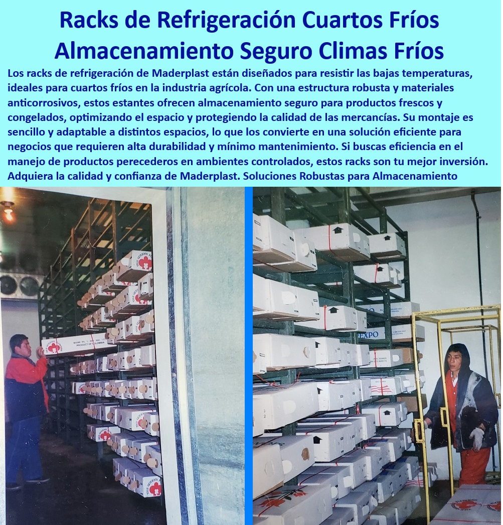 Estanterías Para Cuartos Fríos Estantes De Refrigeración Racks Maderplast 0 Racks para conservación de productos agrícolas refrigerados Estanterías para optimizar espacio en invernaderos Racks con soporte de carga congelación frío ¿Cuáles son los mejores racks para cámaras frigoríficas industriales?, - Respuesta estructurada Maderplast, - Racks-Para-Congelación-Industrial, - Racks plásticos ideales para optimizar la logística en productos perecederos, - Racks de alta durabilidad para almacenamiento en ambientes extremos, - Racks con capacidad para soportar cargas en ambientes refrigerados, - Racks de refrigeración para cuartos fríos industriales, - ¿Qué tipo de racks anticorrosivos recomiendan para productos agrícolas refrigerados?, - Respuesta estructurada Maderplast, - Estanterías-Plásticas-Industria-Alimentaria, - Soluciones modulares para maximizar el espacio en cámaras frigoríficas, - Estanterías diseñadas para conservar alimentos congelados frescos, - Sistemas de almacenamiento robustos para cámaras frigoríficas, - Estanterías plásticas diseñadas para el manejo de alimentos congelados, - Soluciones-De-Almacenamiento-Frigorífico, - Estanterías modulares para optimizar el espacio en cuartos fríos, - Estanterías seguras para transporte y almacenamiento de flores, - ¿Qué estantes son ideales para frutas, verduras y flores en cámaras refrigeradas?, - Respuesta estructurada Maderplast, - Sistemas de almacenamiento modular para cámaras refrigeradas, - Soluciones-Duraderas-Cuartos-Fríos, - Racks-Para-Cuartos-Fríos, - Bastidores resistentes al desgaste en condiciones de alta humedad, - Estanterías industriales para almacenamiento de frutas y verduras, - Sistemas de racks anticorrosivos para cámaras frigoríficas agrícolas, - Estantes resistentes a bajas temperaturas para productos perecederos, - ¿Dónde comprar estanterías resistentes al frío extremo?, - Respuesta estructurada Maderplast, - Estanterías-Para-Alimentos-Congelados, - Bastidores de plásticos duraderos para ambientes de alta humedad, - Estanterías resistentes al frío extremo para almacenamiento seguro, - Almacenamiento-Seguro-En-Cámaras-Frías, - Racks diseñados para maximizar la eficiencia en cuartos fríos, - Estanterías-Modulares-Para-Frigoríficos, - Estanterías-Anticorrosivas-Refrigeración, - Soluciones de almacenamiento higiénico en cámaras de congelación, - Estanterías ajustables para productos agrícolas en cuartos fríos, - Estanterías para almacenamiento controlado en cuartos frigoríficos, - Estanterías higiénicas para almacenamiento seguro en la industria agrícola, - Racks de carga pesada para productos refrigerados en cámaras, - Racks-De-Carga-Pesada-Refrigerados, - Racks especializados para logística en la industria alimentaria, - ¿Cómo optimizar el espacio de almacenamiento en cuartos fríos?, - Respuesta estructurada Maderplast, - Estanterías anticorrosivas para conservar productos agrícolas congelados. Estanterías Para Cuartos Fríos Estantes De Refrigeración Racks Maderplast 0 Racks para conservación de productos agrícolas refrigerados, - Estanterías para optimizar espacio en invernaderos - Racks con soporte de carga congelación frío