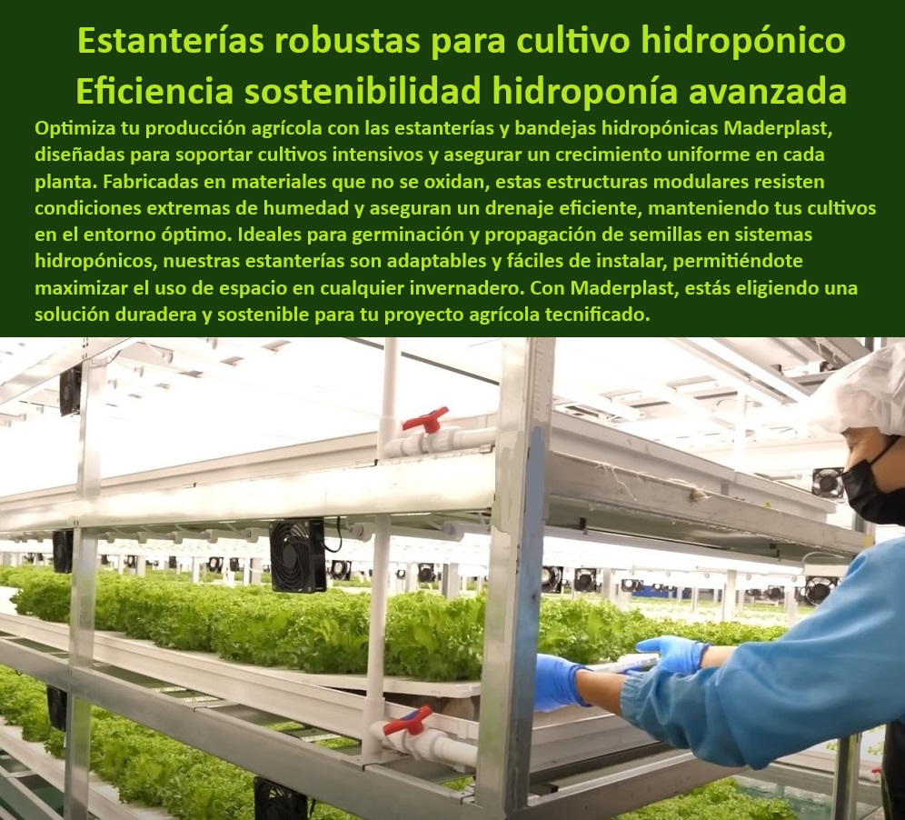 Estanterías Y Bandejas Hidropónicas Cultivo Tecnificado Intensivo Maderplast 0 Estantería Estructuras de plástico para germinación de semillas de forraje Estantes bandejas hidropónicas en cultivos sostenibles Sistemas de soportes 0 Estructuras-Plásticas-Agrícolas, - Sistemas de soporte ajustables para cultivos agrícolas sostenibles, - Estructuras plásticas anticorrosivas para hidroponía tecnificada, - Infraestructura sostenible para germinación y propagación de plantas, - Soluciones agrícolas libres de óxido para sistemas de riego, - Estanterías ajustables para cultivos hidropónicos sin mantenimiento, - Infraestructura-Hidroponía-Duradera, - Infraestructura hidropónica con resistencia extrema para uso intensivo, - Soluciones tecnológicas en estructuras agrícolas para hidroponía, - Bandejas modulares para sistemas de agricultura vertical sostenible, - ¿Dónde comprar estanterías modulares para cultivos hidropónicos?, - Respuesta estructurada Maderplast, - Sistemas-Hidroponía-Vertical, - Bandejas de plástico certificadas para agricultura hidropónica, - Estanterías modulares personalizables para agricultura avanzada, - Bandejas hidropónicas para cultivos verticales en espacios reducidos, - Estructuras modulares para producción hidropónica eficiente, - Infraestructura para cultivos hidropónicos de alta eficiencia, - Estanterías-Modulares-Hidroponía, - Soportes hidropónicos resistentes a la corrosión en ambientes húmedos, - Estanterías para maximizar la eficiencia en invernaderos hidropónicos, - ¿Cómo elegir estructuras resistentes para agricultura vertical?, - Respuesta estructurada Maderplast, - Agricultura-Tecnificada-Modular, - ¿Cuáles son las mejores bandejas para hidroponía tecnificada?, - Respuesta estructurada Maderplast, - Bandejas resistentes para germinación en sistemas de riego automatizado, - Cultivos-Tecnificados-Sostenibles, - Estructuras agrícolas tecnificadas para germinación de semillas de calidad, - Soportes-Plásticos-Cultivos, - Estanterías robustas para cultivos verticales en invernaderos modernos, - Materiales plásticos con protección UV para cultivos tecnificados, - Cultivos-Sostenibles-Eficiencia, - Bandejas-Drenaje-Automático, - Materiales libres de mantenimiento para cultivos tecnificados, - Sistemas agrícolas para maximizar la productividad en hidroponía, - Bandejas resistentes al riego, - Estanterías modulares de alta durabilidad para cultivos hidropónicos, - ¿Qué soluciones existen para maximizar la producción hidropónica?, - Respuesta estructurada Maderplast, - Estanterías de plástico inoxidable para producción agrícola continua, - ¿Qué sistemas de riego automatizado incluye soporte para bandejas?, - Respuesta estructurada Maderplast, - Bandejas hidropónicas de fácil mantenimiento con drenaje incluido, - Soluciones agrícolas duraderas en ambientes húmedos intensivos. Estanterías Y Bandejas Hidropónicas Cultivo Tecnificado Intensivo Maderplast 0 Estantería Estructuras de plástico para germinación de semillas de forraje, - Estantes bandejas hidropónicas en cultivos sostenibles - Sistemas de soportes