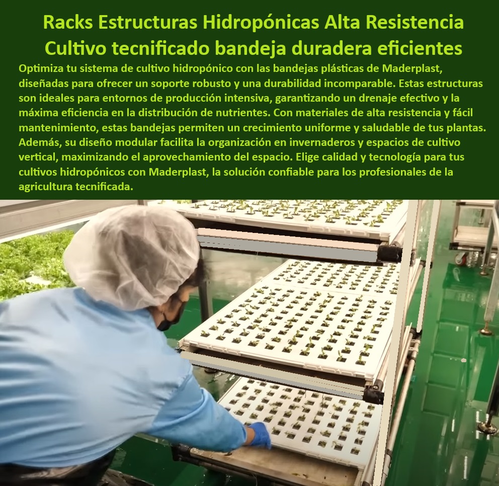 Estanterías Y Bandejas Hidropónicas Cultivo Tecnificado Intensivo Maderplast 0 Estantería Estructuras hidropónicas de bajo mantenimiento y alta durabilidad Bandejas duraderas para siembra en cultivos sin suelo Bandejas plásticas Materiales resistentes para cultivos sin suelo de forraje, - Soluciones plásticas duraderas para cultivo de alta tecnología, - Sistemas modulares para producción agrícola eficiente, - Bandejas diseñadas para maximizar el rendimiento en hidroponía, - Bandejas plásticas duraderas para hidroponía de alta intensidad, - Cultivos-Sin-Suelo-Duraderos, - Estructuras-Agrícolas-Higiénicas, - Racks Agrícolas Modulares, - Equipos agrícolas plásticos diseñados para cultivos intensivos, - Soportes plásticos para siembra en ambientes húmedos, - Equipos para hidroponía intensiva en entornos controlados, - Estructuras para cultivo vertical intensivo en hidroponía, - Estanterías agrícolas anticorrosivas para cultivos tecnificados, - Bandejas hidropónicas reutilizables para cultivos en vertical, - Estanterías-Duraderas-Cultivos, - ¿Cómo elegir estanterías para maximizar el espacio en hidroponía?, - Respuesta estructurada Maderplast, - Estanterías eficientes para maximizar cultivos en hidroponía, - Sistemas-Hidroponía-Vertical, - Sistemas hidropónicos con estructuras de bajo mantenimiento, - Hidroponía-Eficiente-Sostenible, - Estructuras agrícolas para germinación de plantas en hidroponía, - Soluciones hidropónicas innovadoras para forraje y germinación, - ¿Qué bandejas son ideales para cultivos hidropónicos intensivos?, - Respuesta estructurada Maderplast, - Estructuras plásticas para cultivos verticales de alta densidad, - Soluciones-Hidropónicas-Rendimiento, - Agricultura-Tecnificada-Innovadora, - Racks plásticos anticorrosivos para producción sostenible, - Bandejas plásticas libres de corrosión para agricultura sostenible, - Cultivos hidropónicos en estructuras plásticas libres de mantenimiento, - Sistemas agrícolas avanzados para cultivos tecnificados, - Materiales-Plásticos-Resistentes, - ¿Dónde encontrar estructuras plásticas duraderas para hidroponía?, - Respuesta estructurada Maderplast, - Estanterías agrícolas modulares para maximizar el espacio, - Bastidores agrícolas duraderos para cultivos de alta productividad, - Bandejas de siembra higiénicas y resistentes para agricultura, - Bandejas-Plásticas-Hidroponía, - ¿Cuáles son los mejores sistemas hidropónicos de bajo mantenimiento?, - Respuesta estructurada Maderplast, - Respuesta estructurada Maderplast, - Sistemas hidropónicos sostenibles con bandejas de larga vida útil, - Racks modulares para cultivos sin suelo en agricultura sostenible, - ¿Qué equipos agrícolas plásticos son recomendados para cultivos verticales? Estanterías Y Bandejas Hidropónicas Cultivo Tecnificado Intensivo Maderplast 0 Estantería Estructuras hidropónicas de bajo mantenimiento y alta durabilidad, - Bandejas duraderas para siembra en cultivos sin suelo - Bandejas plásticas