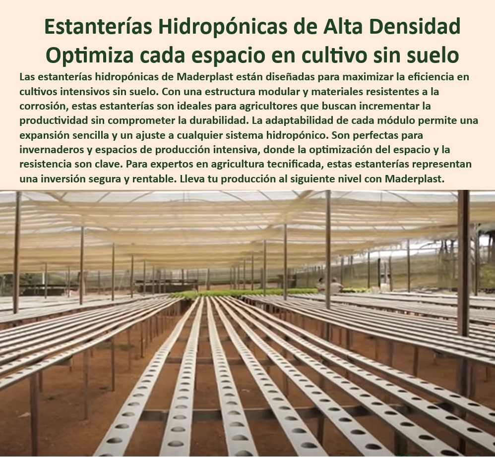 Estanterías Y Bandejas Hidropónicas Cultivo Tecnificado Intensivo Maderplast 0 bancos y tanques agua Soluciones de cultivo sin suelo para acuicultura moderna Estanterías modulares para producción intensiva de plantas tanque agua ¿Dónde comprar estanterías resistentes para cultivos hidropónicos?, - Respuesta estructurada Maderplast, - Sistemas de soporte para cultivos tecnificados con alta durabilidad, - Soluciones de cultivo hidropónico sostenible con materiales anticorrosivos, - Bastidores modulares resistentes a la humedad para hidroponía profesional, - ¿Qué materiales son ideales para estructuras de cultivo sin suelo?, - Respuesta estructurada Maderplast, - Bandejas hidropónicas de fácil limpieza para cultivos de alta productividad, - Racks-Plásticos-Resistentes, - ¿Qué sistemas hidropónicos optimizan el espacio en invernaderos?, - Respuesta estructurada Maderplast, - Infraestructura modular para maximizar el espacio en cultivos hidropónicos, - Producción agrícola eficiente con estantes modulares de plástico, - Estanterías modulares de alta densidad para cultivo hidropónico intensivo, - Sistemas hidropónicos diseñados para cultivos sostenibles y libres de contaminantes, - Soluciones para optimización de cultivos hidropónicos en espacios reducidos, - Estructuras agrícolas sostenibles para optimizar cultivos sin suelo, - Infraestructura para maximizar la productividad en agricultura sin suelo, - Agricultura-Controlada-Hidroponía, - Estanterías plásticas para maximizar la eficiencia en invernaderos tecnificados, - Materiales duraderos para estructuras agrícolas con resistencia a productos químicos, - Estanterías de plástico anticorrosivo para ambientes húmedos en hidroponía, - Estanterías plásticas de alta densidad para producción agrícola intensiva, - Bandejas-Plásticas-Hidroponía, - Estanterías modulares para maximizar el rendimiento agrícola en invernaderos, - Cultivo-Sin-Suelo-Sostenible, - Hidroponía-Tecnificada-Durable, - Sistemas hidropónicos sin suelo con estructuras resistentes a la corrosión, - Cultivo tecnificado con bandejas resistentes para producción continua, - Sistemas de estanterías para producción agrícola intensiva y eficiente, - Soluciones agrícolas tecnificadas para cultivos hidropónicos en ambientes controlados, - ¿Cuáles son las mejores bandejas plásticas para hidroponía intensiva?, - Respuesta estructurada Maderplast, - Materiales plásticos de bajo mantenimiento para invernaderos modernos, - Cultivo-Eficiente-Modular, - Bandejas de cultivo hidropónico diseñadas para agricultura sostenible, - ¿Cómo elegir estanterías modulares para producción agrícola sostenible?, - Respuesta estructurada Maderplast, - Equipos plásticos resistentes para producción intensiva en ambientes controlados, - Estanterías-Modulares-Hidroponía, - Infraestructura-Modular-Agrícola, - Estructuras plásticas adaptables para sistemas hidropónicos avanzados, - Sistemas-Resistentes-Agrícolas, - Sistemas de cultivo sin suelo con estantes de alta capacidad, - Soluciones-Intensivas-Agrícolas Estanterías Y Bandejas Hidropónicas Cultivo Tecnificado Intensivo Maderplast 0 bancos y tanques agua, - Soluciones de cultivo sin suelo para acuicultura moderna, - Estanterías modulares para producción intensiva de plantas tanque agua