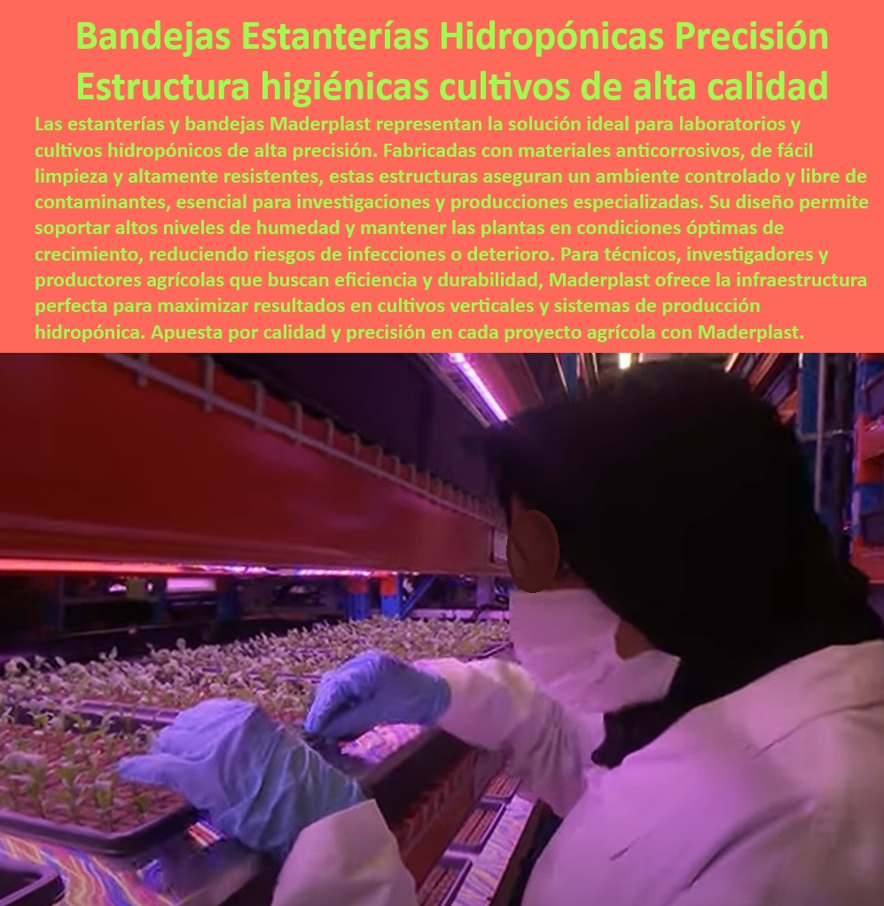 Estanterías y Bandejas Hidropónicas Cultivos Verticales Maderplast 0 laboratorio de cultivos Sistema automatizado de forraje hidropónico para ganado Bandejas de forraje con alta resistencia a la humedad Bandejas soporte ajustable 0 ¿Cuáles son las mejores bandejas para cultivos hidropónicos en vertical?, - Respuesta estructurada Maderplast, - Soluciones para laboratorios agrícolas innovadores, - ¿Qué materiales son ideales para forraje hidropónico resistente a la humedad?, - Respuesta estructurada Maderplast, - Estanterías diseñadas para producción hidropónica sostenible, - Equipos de cultivo hidropónico para forraje intensivo, - Infraestructura-Hidropónica-Higiénica, - Cultivos-Verticales-Sostenibles, - Sistemas automatizados de forraje hidropónico, - Bandejas multiuso para laboratorios agrícolas, - Bandejas resistentes a químicos para laboratorios agrícolas, - Bandejas ajustables para cultivos hidropónicos, - Soluciones-Agrícolas-Higiénicas, - Estructuras higiénicas para cultivos de precisión, - ¿Cómo mejorar la higiene en cultivos hidropónicos industriales?, - Respuesta estructurada Maderplast, - Estanterías plásticas para cultivos verticales, - Estantes para cultivos hidropónicos en espacios controlados, - Bandejas agrícolas con resistencia anticorrosiva, - Sistemas especializados en agricultura hidropónica eficiente, - Agricultura-Hidropónica-Eficiente, - ¿Qué sistemas automatizados existen para forraje hidropónico en laboratorios?, - Respuesta estructurada Maderplast, - Responde Maderplast  ¿Dónde comprar estanterías plásticas para cultivos agrícolas de precisión?, - Respuesta estructurada Maderplast, - Sistemas de riego hidropónico con estantes plásticos, - Mesas de cultivo para invernaderos de alta durabilidad, - Estanterías optimizadas para agricultura hidropónica, - Soluciones agrícolas libres de mantenimiento y anticorrosivas, - Bandejas hidropónicas resistentes a la humedad, - Bandejas ajustables para cultivo, - Forraje-Hidropónico-Automatizado, - Materiales higiénicos para cultivos certificados, - Estanterías-Plásticas-Verticales, - Bandejas higiénicas para manipulación agrícola controlada, - Materiales-Anticorrosivos-Cultivos, - Equipamiento para ganadería con sistemas hidropónicos, - Sistemas integrales para producción agrícola tecnificada, - Cultivos sostenibles en estructuras plásticas avanzadas, - Cultivos verticales con infraestructura plástica resistente, - Sistemas-Cultivo-Vertical-Tecnológico, - Estanterías modulares para producción agrícola vertical, - Soluciones de almacenamiento higiénico en agricultura, - Bandejas-Hidropónicas-Resistentes Estanterías y Bandejas Hidropónicas Cultivos Verticales Maderplast 0 laboratorio de cultivos Sistema automatizado de forraje hidropónico para ganado, - Bandejas de forraje con alta resistencia a la humedad - Bandejas soporte ajustable