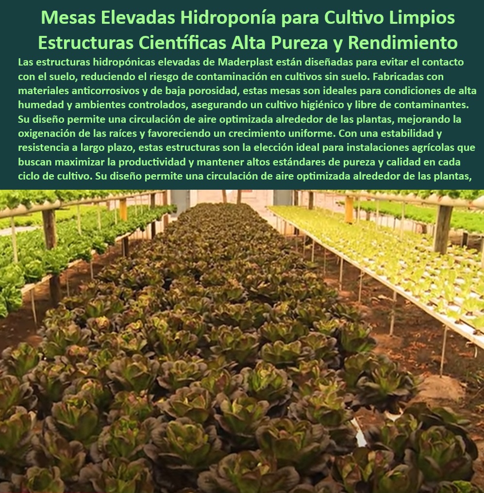 Estructuras Hidropónicas Elevadas Cultivos sin Suelo Soportes Elevados Maderplast 0 Andamiaje agrícola para cultivos eficientes Mesas ergonómicas para trabajo agrícola intensivo Estructuras para hidroponía de precisión co 0 Estructuras resistentes y eficientes para agricultura hidropónica avanzada, - ¿Cómo asegurar un cultivo hidropónico libre de contaminantes?, - Respuesta estructurada Maderplast, - Estructuras agrícolas innovadoras con baja porosidad para cultivos limpios, - Estructuras tecnificadas para maximizar aireación en cultivos sin suelo, - Mesas Higiénicas De Cultivo, - Sistemas de soporte para cultivo hidropónico sin contacto con el suelo, - Sistemas elevados diseñados para crecimiento uniforme y sano de plantas, - Mesas científicas para cultivo hidropónico sin riesgo de contaminación, - Mesas anticorrosivas diseñadas para cultivos higiénicos y sostenibles, - Equipos agrícolas sostenibles para maximizar la productividad de cultivos, - Estructuras agrícolas para hidroponía de precisión en ambientes controlados, - Sistemas hidropónicos de alta pureza para maximizar el rendimiento agrícola, - ¿Qué sistemas elevadores son ideales para agricultura hidropónica?, - Respuesta estructurada Maderplast, - Mesas-Resistentes-Para-Hidroponía, - Sistemas de cultivo sin suelo con circulación optimizada de nutrientes, - Agricultura-Limpia-Y-Sostenible, - ¿Qué ventajas tienen las mesas científicas para hidroponía?, - Respuesta estructurada Maderplast, - Responde Maderplast  ¿Soluciones-De-Cultivo-Innovadoras, - Soluciones avanzadas para reducir riesgos de contaminación agrícola, - Infraestructura-Hidroponía-Eficiente, - Mesas resistentes a la humedad para cultivos en ambientes controlados, - ¿Cuáles son las mejores estructuras para cultivo sin suelo?, - Respuesta estructurada Maderplast, - Responde Maderplast  ¿Dónde puedo comprar mesas hidropónicas para cultivo limpio?, - Respuesta estructurada Maderplast, - Sistemas-De-Cultivo-Controlado, - Soluciones integrales para cultivo hidropónico de alto rendimiento, - Infraestructura hidropónica eficiente para agricultura de precisión, - Mesas-Hidroponía-Limpias, - Infraestructura agrícola modular para producción sostenible de alimentos, - Mesas hidropónicas elevadas para cultivos limpios y sin contaminantes, - Hidroponía-De-Alta-Pureza, - Estructuras innovadoras para control higiénico en producción agrícola, - Estructuras científicas para optimización de aire y humedad en hidroponía, - Cultivo-Sin-Suelo-Sostenible, - Mesas agrícolas avanzadas para un crecimiento uniforme de las plantas, - Soluciones tecnificadas para minimizar la contaminación en cultivos hidropónicos, - Mesas higiénicas de alta durabilidad para cultivo agrícola tecnificado, - Soluciones de cultivo sin suelo con bajo impacto ambiental, - Sistemas hidropónicos avanzados para reducir costos y mejorar el rendimiento, - Mesas hidropónicas para cultivos libres de contaminación y alta pureza, - Estructuras-Para-Hidroponía-Precisa Estructuras Hidropónicas Elevadas Cultivos sin Suelo Soportes Elevados Maderplast 0 Andamiaje agrícola para cultivos eficientes, - Mesas ergonómicas para trabajo agrícola intensivo, - Estructuras para hidroponía de precisión co