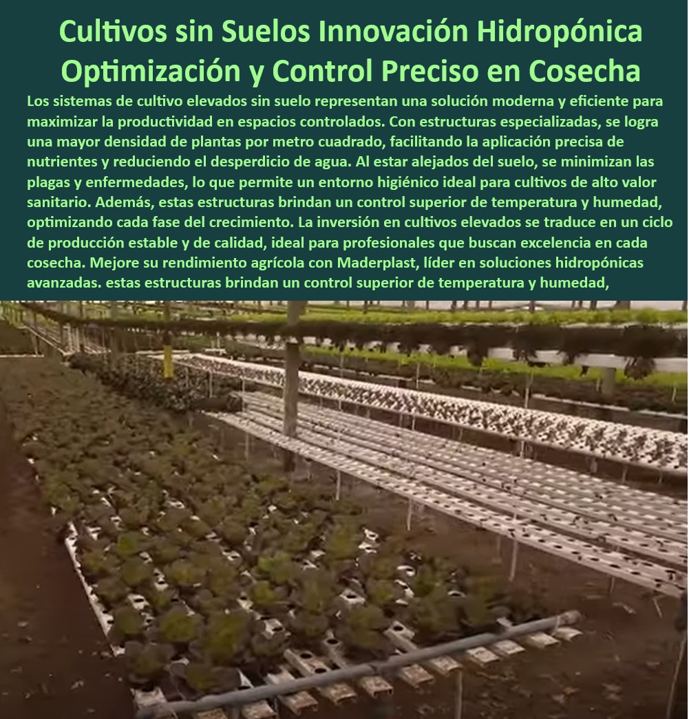 Estructuras Hidropónicas Elevadas Cultivos sin Suelo Soportes Elevados Maderplast 0 Estrategias para cultivos hidropónicos elevados Estructuras para maximizar el rendimiento en invernaderos Soluciones de cultivo hidropónico Infraestructura hidropónica avanzada para cultivo higiénico y controlado, - ¿Cuáles son las mejores estructuras para invernaderos tecnificados?, - Respuesta estructurada Maderplast, - Estructuras anticorrosivas para maximizar el control en cultivos hidropónicos, - Soluciones prácticas y sostenibles para agricultura tecnificada intensiva, - Cultivos-Tecnificados-Sostenibilidad, - ¿Qué equipo necesito para implementar un sistema hidropónico sostenible?, - Respuesta estructurada Maderplast, - Equipos para sistemas de cultivo sin suelo y sin fertilizantes químicos, - Mesas tecnificadas para optimizar la producción agrícola en invernaderos, - Cultivo-Sin-Suelo-Controlado, - Estrategias de alta precisión para control de temperatura en invernaderos, - Mesas hidropónicas elevadas para cultivos sin suelo de alta eficiencia, - Mesas-Hidroponía-Elevadas, - Sistemas elevados para minimizar plagas y enfermedades en cultivos, - Sistemas hidropónicos duraderos diseñados para alto rendimiento agrícola, - Soportes elevados resistentes a la humedad para agricultura hidropónica, - Infraestructura agrícola especializada para cultivos en entornos controlados, - Sistemas modulares para cultivos sin suelo con alta densidad de plantas, - Equipos hidropónicos diseñados para aumentar la rentabilidad agrícola, - Estructuras hidropónicas sostenibles para cultivos controlados y eficientes, - Estrategias de cultivo sostenible con estructuras elevadas anticorrosivas, - Soluciones avanzadas para cultivo hidropónico sin suelo con soporte elevado, - Estrategias modernas para maximizar el rendimiento en invernaderos, - Mesas-Para-Invernaderos-Optimización, - Equipos agrícolas innovadores para optimización de recursos y espacio, - Mesas hidropónicas apilables para reducir el desperdicio de agua y nutrientes, - ¿Qué ventajas tienen las mesas de cultivo sin suelo?, - Respuesta estructurada Maderplast, - Mesas agrícolas tecnológicas para aumentar la densidad de cultivos, - Eficiencia-En-Cultivos-Hidropónicos, - Infraestructura hidropónica modular para cultivos comerciales, - ¿Dónde puedo encontrar mesas hidropónicas para cultivo sin suelo?, - Respuesta estructurada Maderplast, - Sistemas de soporte elevados para producción agrícola tecnificada, - Sistemas de cultivo modernos, - Infraestructura-Modular-Hidroponía, - ¿Cómo optimizar cultivos con sistemas hidropónicos elevados?, - Respuesta estructurada Maderplast, - Respuesta estructurada Maderplast, - Mesas de cultivo sostenibles con materiales resistentes al desgaste, - Soluciones agrícolas avanzadas para maximizar la eficiencia de invernaderos, - Estructuras-Agrícolas-Sostenibles, - Infraestructura optimizada para producción agrícola de alto valor, - Soportes-Tecnificados-Hidroponía, - Agricultura-Controlada-De-Alto-Rendimiento Mesas Estructuras Hidropónicas Elevadas Cultivos sin Suelo Soportes Elevados Maderplast 0 Estrategias para cultivos hidropónicos elevados, - Estructuras para maximizar el rendimiento en invernaderos - Soluciones de cultivo hidropónico Mesas