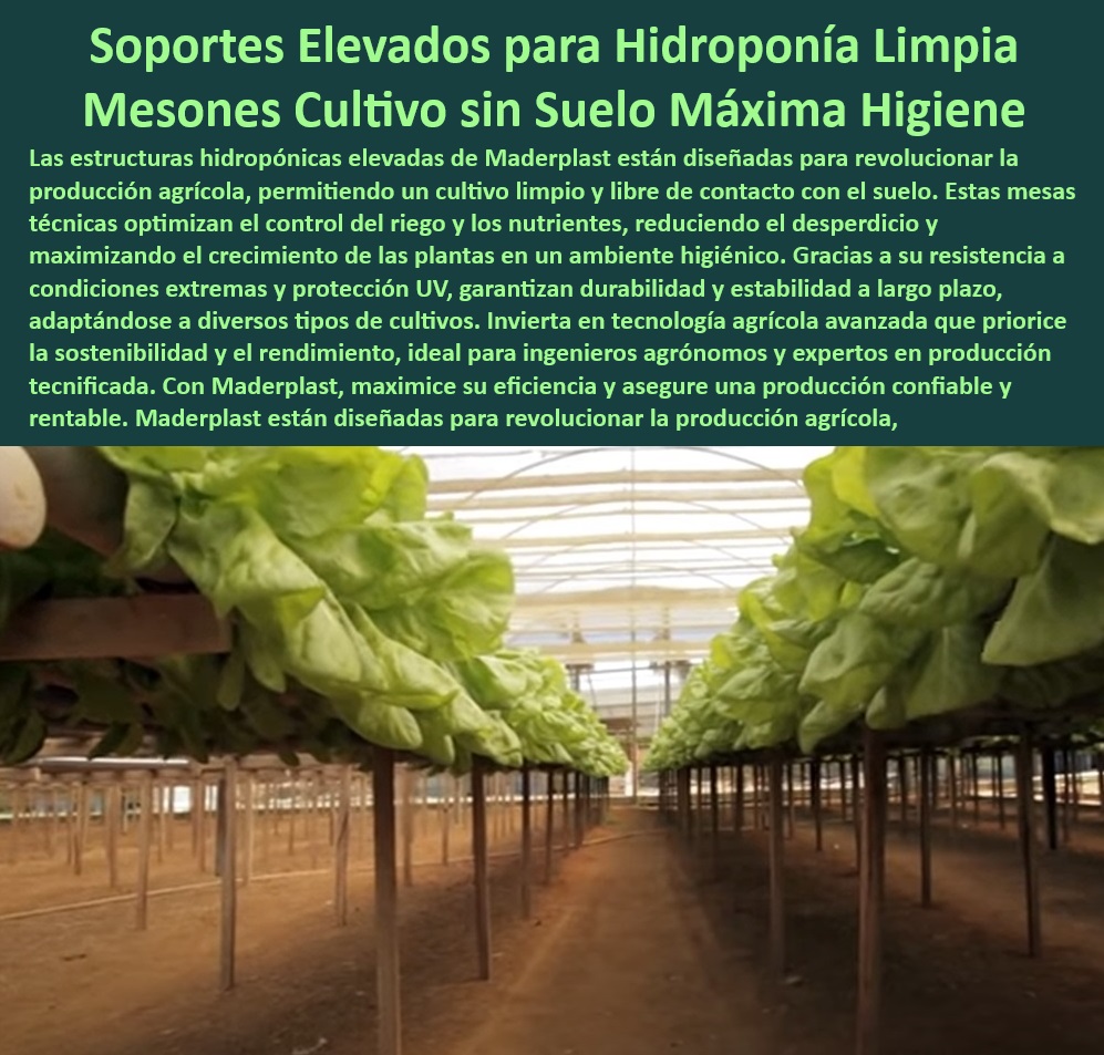 Estructuras Hidropónicas Elevadas Cultivos sin Suelo Soportes Elevados Maderplast 0 para Cultivos Hidropónicos Productividad en Altura y Sin Suelo Mesas técnicas para hidroponía sostenible Soportes elevados de cultivos sin suelos 0 Mesas agrícolas elevadas para optimizar la producción, - ¿Dónde conseguir estructuras anticorrosivas para cultivos sin suelo?, - Respuesta estructurada Maderplast, - Respuesta de Maderplast ¿Qué mesas técnicas son mejores para hidroponía sin suelo?, - Respuesta estructurada Maderplast, - Mesas para cultivos hidropónicos libres de mantenimiento, - Mesas-Hidroponía-Sin-Suelo, - Hidroponía-Avanzada-Sin-Suelo, - Infraestructura-Para-Hidroponía, - ¿Dónde puedo comprar soportes elevados para cultivos hidropónicos?, - Respuesta estructurada Maderplast, - Mesas-Para-Agricultura-Sostenible, - Estructuras-Agrícolas-Duraderas, - ¿Cuáles son los soportes más duraderos para sistemas hidropónicos?, - Respuesta estructurada Maderplast, - Estructuras agrícolas para cultivos hidropónicos duraderos, - Estructuras modulares para cultivos hidropónicos sin suelo, - Sistemas hidropónicos sin suelo con estructuras duraderas, - Mesas técnicas para maximizar el rendimiento de cultivos, - Sistemas-Hidropónicos-Altamente-Eficientes, - Estructuras-Agrícolas-Limpias, - Soportes innovadores para hidroponía en ambientes controlados, - Estructuras hidropónicas resistentes para entornos agrícolas, - Soportes duraderos y sostenibles para cultivos agrícolas, - Infraestructura para hidroponía avanzada en cultivos agrícolas, - Sistemas avanzados de hidroponía para agricultura sin suelo, - Mesas hidropónicas para cultivos sin suelo de alta durabilidad, - ¿Qué infraestructura necesito para instalar cultivos hidropónicos sostenibles?, - Respuesta estructurada Maderplast, - Soportes-Elevados-Cultivos-Hidropónicos, - Soluciones técnicas para hidroeficiencia y limpieza, - Soportes elevados para sistemas hidropónicos de alta eficiencia, - Soportes-Resistentes-Con-Protección-UV, - Mesas técnicas para hidroponía sostenible y sin mantenimiento, - Soportes agrícolas elevados con protección UV para cultivos, - Soportes elevados para agricultura sostenible e innovadora, - Soportes de cultivo elevados para ambientes higiénicos, - Mesas técnicas de hidroponía para maximizar la productividad, - Mesas resistentes para sistemas agrícolas sin mantenimiento, - Mesas técnicas para hidroponía en condiciones extremas, - Soluciones hidropónicas sostenibles para cultivos elevados, - Sistemas de cultivo sin suelo con mesas técnicas resistentes, - Estructuras resistentes a la corrosión para cultivos hidropónicos, - Hidroponía sostenible con soportes elevados anticorrosivos, - Cultivos-Sostenibles-Sin-Mantenimiento Estructuras Hidropónicas Elevadas Cultivos sin Suelo Soportes Elevados Maderplast 0 para Cultivos Hidropónicos Productividad en Altura y Sin Suelo, - Mesas técnicas para hidroponía sostenible, - Soportes elevados de cultivos sin suelos