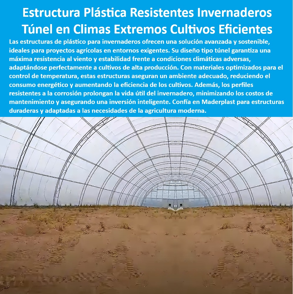 Estructuras de Plástico Invernadero Materiales invernadero tipo túnel Maderplast 0 Cuáles son las mejores vigas para invernaderos en climas extremos Estructuras optimizadas para control de temperatura Perfile propiedades físicas 0  Infraestructura agrícola plástica libre de mantenimiento para climas extremos, - Invernaderos ecológicos con perfiles plásticos reciclados y duraderos, - Estructuras-Libres-De-Mantenimiento, - Perfiles plásticos para invernaderos resistentes al desgaste y corrosión, - Estructuras-Plásticas-Invernaderos, - Invernaderos modernos diseñados con materiales ecológicos y reciclables, - Estructuras agrícolas resistentes al viento y a la corrosión, - Cultivos-Protegidos-Climas-Extremos, - Invernaderos agrícolas duraderos con materiales de última generación, - Soluciones plásticas para agricultura sostenible y libre de contaminación, - Materiales reciclados para invernaderos con bajo impacto ambiental, - Agricultura-Sostenible-Eficiente, - Invernaderos-Con-Control-De-Temperatura, - Materiales-Reciclados-Para-Invernaderos, - Estructuras optimizadas para cultivos protegidos en zonas áridas y húmedas, - Invernaderos diseñados con plásticos resistentes a la salinidad y humedad, - Invernaderos tipo túnel para proyectos agrícolas sostenibles y eficientes, - ¿Cuáles son las mejores estructuras plásticas para invernaderos en climas extremos?, - Respuesta estructurada Maderplast, - Túneles plásticos agrícolas con alta eficiencia energética, - Soluciones-Agrícolas-Duraderas, - Estructuras plásticas resistentes para invernaderos tipo túnel en climas extremos, - ¿Dónde comprar invernaderos tipo túnel resistentes y sostenibles?, - Respuesta estructurada Maderplast, - Invernaderos optimizados para alta producción agrícola con control de temperatura, - Materiales sostenibles y anticorrosivos para invernaderos agrícolas, - ¿Cómo instalar invernaderos con materiales reciclados y duraderos?, - Respuesta estructurada Maderplast, - Invernaderos plásticos con resistencia a los rayos UV y al desgaste, - Invernaderos-Diseñados-Para-Climas-Adversos, - Materiales avanzados para invernaderos que soportan condiciones climáticas adversas, - Estructuras plásticas agrícolas con máxima resistencia y estabilidad, - Túneles-Agrícolas-Sostenibles, - Soluciones innovadoras para cultivos protegidos en zonas de alta humedad, - Infraestructura plástica para cultivos intensivos en condiciones climáticas desafiantes, - ¿Qué materiales son ideales para invernaderos agrícolas libres de corrosión?, - Respuesta estructurada Maderplast, - Invernaderos-Resistentes-Agrícolas, - Soluciones agrícolas personalizadas para invernaderos en terrenos difíciles, - Estructuras para invernaderos que reducen el consumo energético, - Infraestructura agrícola diseñada para minimizar costos de mantenimiento, - Estructuras plásticas modulares para túneles agrícolas de larga duración, - ¿Qué opciones existen para invernaderos eficientes en zonas de alta humedad?, - Respuesta estructurada Maderplast, - Estructuras sostenibles para maximizar la eficiencia en cultivos agrícolas. Estructuras de Plástico Invernadero Materiales invernadero tipo túnel Maderplast 0 Cuáles son las mejores vigas para invernaderos en climas extremos Estructuras optimizadas para control de temperatura Perfile propiedades físicas 0   