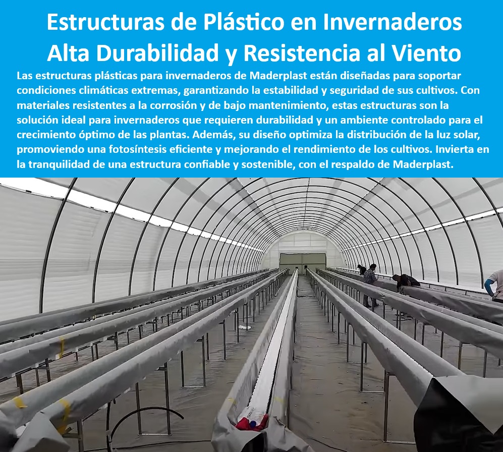 Estructuras de Plástico Invernadero Materiales invernadero tipo túnel Maderplast 0 Qué estructuras soportan mejor el viento en invernaderos Estructuras de alta durabilidad para invernaderos Qué estructuras optimizan la luz solar 0 Soluciones plásticas para invernaderos con resistencia a la corrosión, - Estructuras plásticas resistentes al viento para invernaderos agrícolas, - Estructuras plásticas ligeras y resistentes para cultivos sostenibles, - Materiales duraderos y anticorrosivos para invernaderos sostenibles, - ¿Dónde encontrar invernaderos de plástico resistentes y sostenibles?, - Respuesta estructurada Maderplast, - Soluciones estructurales para invernaderos en climas extremos, - Invernaderos agrícolas con protección UV y alta estabilidad estructural, - Estructuras agrícolas con optimización energética para fotosíntesis eficiente, - Materiales reciclados para la fabricación de invernaderos ecológicos, - Invernaderos agrícolas con máxima resistencia a condiciones climáticas adversas, - Invernaderos diseñados con plásticos reciclados y amigables con el ambiente, - Materiales avanzados para invernaderos libres de mantenimiento, - ¿Qué materiales optimizan la luz solar en los invernaderos agrícolas?, - Respuesta estructurada Maderplast, - Estructuras recicladas para invernaderos en zonas de alta humedad, - Estructuras agrícolas de plástico con alta durabilidad y bajo mantenimiento, - Infraestructura plástica para cultivos sostenibles en climas adversos, - Soluciones plásticas de alta durabilidad para túneles agrícolas modernos, - Invernaderos resistentes diseñados para maximizar la eficiencia de cultivos, - Invernaderos tipo túnel con resistencia al desgaste y al viento, - Invernaderos optimizados para fotosíntesis y reducción de costos energéticos, - Cultivos-Eficientes-Energéticamente, - Soluciones-Resistentes-Agricultura, - Invernaderos tipo túnel con distribución eficiente de la luz solar, - Túneles-Agrícolas-Sostenibles, - ¿Cuáles son las mejores opciones para invernaderos en climas extremos?, - Respuesta estructurada Maderplast, - Estructuras modulares de plástico para agricultura intensiva, - Materiales sostenibles para la construcción de túneles agrícolas, - Infraestructura agrícola para cultivos protegidos y control de temperatura, - Invernaderos modulares diseñados para soportar condiciones de viento extremas, - ¿Qué estructuras son ideales para invernaderos en zonas con viento fuerte?, - Respuesta estructurada Maderplast, - Agricultura-Sostenible-Confiable, - Invernaderos-Modulares-Reciclados, - Invernaderos plásticos con diseño optimizado para cultivos protegidos, - Estructuras-Plásticas-Duraderas, - Invernaderos-Resistentes-Al-Viento, - Cultivos-Protegidos-Climas-Extremos, - Materiales-Optimización-Luz-Solar, - ¿Cómo instalar invernaderos tipo túnel con materiales reciclados y duraderos?, - Respuesta estructurada Maderplast, - Estructuras agrícolas resistentes para mejorar la producción de cultivos, - Estructuras-Duraderas-Anticorrosivas Estructuras de Plástico Invernadero Materiales invernadero tipo túnel Maderplast 0 ¿Qué estructuras soportan mejor el viento en invernaderos, - Estructuras de alta durabilidad para invernaderos, - Qué estructuras optimizan la luz solar