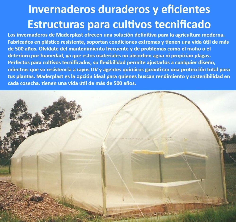 Estructuras de Plástico Invernaderos de Alto Rendimiento Maderplast 0 Estructuras para invernaderos con eficiencia energética Componentes de invernadero resistentes a la corrosión Ventajas invernaderos con plástico anticorrosivos 0 ¿Qué invernaderos plásticos tienen mayor resistencia y durabilidad?, - Respuesta estructurada Maderplast, - Componentes plásticos reciclados para invernaderos agrícolas sostenibles, - Materiales plásticos para infraestructura agrícola de alta durabilidad, - Invernaderos diseñados para maximizar el rendimiento de cultivos orgánicos, - Materiales avanzados para invernaderos en regiones de alta humedad, - Túneles agrícolas resistentes a la corrosión y de fácil instalación, - Componentes para invernaderos que maximizan la luz y el rendimiento agrícola, - Estructuras-Agrícolas-Resistentes, - ¿Dónde comprar invernaderos de plástico resistentes y sostenibles?, - Respuesta estructurada Maderplast, - Estructuras plásticas para cultivos tecnificados con vida útil de 500 años, - ¿Qué materiales son ideales para invernaderos libres de mantenimiento?, - Respuesta estructurada Maderplast, - Invernaderos-Plásticos-Duraderos, - Invernaderos anticorrosivos diseñados para climas húmedos y calurosos, - Soluciones-Eficiencia-Agrícola, - Invernaderos ligeros y resistentes con diseño a medida, - Estructuras para invernaderos con alta flexibilidad y personalización, - ¿Cómo elegir invernaderos con protección UV y resistencia a la corrosión?, - Respuesta estructurada Maderplast, - Estructuras plásticas que eliminan costos de mantenimiento en agricultura, - Túneles-Anticorrosivos-Agricultura, - Soluciones innovadoras para invernaderos que mejoran la productividad, - Túneles agrícolas con protección contra plagas y deterioro por humedad, - Materiales resistentes a rayos UV para invernaderos agrícolas sostenibles, - Agricultura-Moderna-Eficiente, - ¿Cuáles son las mejores estructuras para cultivos tecnificados en climas extremos?, - Respuesta estructurada Maderplast, - Estructuras plásticas que soportan condiciones climáticas adversas, - Invernaderos plásticos con resistencia química para cultivos protegidos, - Invernaderos modulares diseñados para cultivos de alta eficiencia, - Estructuras-Libres-Mantenimiento, - Materiales-Resistentes-UV, - Invernaderos sostenibles con máxima resistencia a agentes químicos, - Estructuras agrícolas optimizadas para cultivos tecnificados y controlados, - Invernaderos-Antiplagas-Ligeros, - Sistemas de invernaderos optimizados para agricultura moderna, - Soluciones plásticas para invernaderos libres de mantenimiento, - Estructuras de plástico reciclable para invernaderos ecológicos, - Invernaderos-Sostenibles-Modulares, - Invernaderos duraderos y resistentes a condiciones climáticas extremas, - Materiales innovadores para invernaderos de larga duración y bajo impacto ambiental, - Invernaderos plásticos con diseño modular para cultivos protegidos, - Cultivos-Tecnificados-Sostenibles Estructuras de Plástico Invernaderos de Alto Rendimiento Maderplast 0 Estructuras para invernaderos con eficiencia energética, - Componentes de invernadero resistentes a la corrosión, - Ventajas invernaderos con plástico anticorrosivos