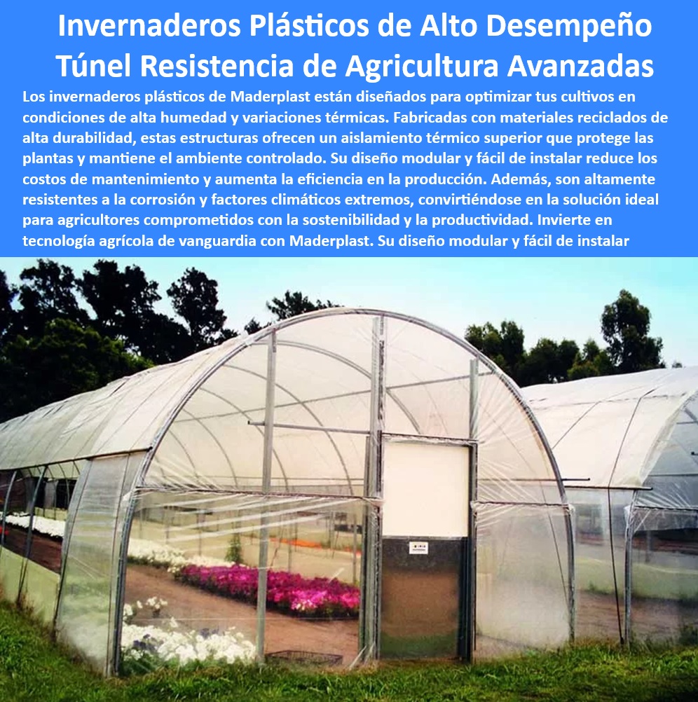 Estructuras de Plástico Invernaderos de Alto Rendimiento Maderplast 0 Invernaderos ecológicos con componentes de plástico reciclado Estructuras de invernadero con propiedades de aislamiento térmico Invernaderos de plástico resistentes a rayos UV y agentes químicos, - Invernaderos-Con-Aislamiento-Térmico, - Materiales resistentes a la corrosión para invernaderos de alto desempeño, - ¿Qué beneficios tienen los invernaderos modulares en agricultura avanzada?, - Respuesta estructurada Maderplast, - Tecnología-Avanzada-Invernaderos, - ¿Dónde comprar invernaderos ecológicos de plástico reciclado?, - Respuesta estructurada Maderplast, - Materiales anticorrosivos para invernaderos de agricultura avanzada, - Estructuras sostenibles para cultivos protegidos con invernaderos de plástico, - Componentes de plástico reciclable para invernaderos ecológicos y duraderos, - Invernaderos-Plásticos-Modulares, - Tecnología agrícola de vanguardia con invernaderos reciclados y sostenibles, - Estructuras plásticas que reducen costos de mantenimiento en invernaderos, - Estructuras-Agrícolas-Sostenibles, - Invernaderos de plástico diseñados para soportar condiciones climáticas extremas, - Invernaderos plásticos con vida útil prolongada y bajo costo de mantenimiento, - Agricultura-Sostenible-Moderna, - Invernaderos modulares de plástico reciclado para agricultura sostenible, - Invernaderos plásticos diseñados para maximizar el rendimiento en agricultura moderna, - Cultivos-Tecnificados-Protegidos, - Soluciones agrícolas modulares con invernaderos resistentes y ligeros, - Soluciones con invernaderos agrícolas de diseño modular y fácil instalación, - ¿Cuáles son los mejores invernaderos plásticos para climas extremos?, - Respuesta estructurada Maderplast, - Invernaderos diseñados para proteger cultivos de agentes climáticos adversos, - Invernaderos de plástico con eficiencia energética para maximizar cultivos, - Sistemas agrícolas con invernaderos resistentes a la humedad y corrosión, - Componentes innovadores para invernaderos con diseño modular y adaptable, - Estructuras-Plásticas-Recicladas, - Invernaderos plásticos con protección contra variaciones térmicas extremas, - Invernaderos-De-Alto-Rendimiento, - ¿Cómo instalar un invernadero de plástico resistente a la corrosión?, - Respuesta estructurada Maderplast, - Estructuras de plástico reciclado para invernaderos de cultivos tecnificados, - Sistemas plásticos modulares para agricultura en climas de alta humedad, - Materiales-Resistentes-UV-Corrosión, - Invernaderos plásticos diseñados para optimizar la producción agrícola intensiva, - Estructuras-Plásticas-Duraderas, - Estructuras plásticas para invernaderos con aislamiento térmico superior, - Tecnología avanzada en invernaderos para cultivos protegidos y tecnificados, - ¿Qué estructuras de invernadero tienen mejor aislamiento térmico?, - Respuesta estructurada Maderplast, - Invernaderos con propiedades térmicas para climas con altas variaciones, - Soluciones con invernaderos agrícolas de alta durabilidad y eficiencia. Invernaderos de alta tecnología 0 Estructuras de Plástico Invernaderos de Alto Rendimiento Maderplast 0 Invernaderos ecológicos con componentes de plástico reciclado, - Estructuras de invernadero con propiedades de aislamiento térmico - Invernaderos de alta tecnología