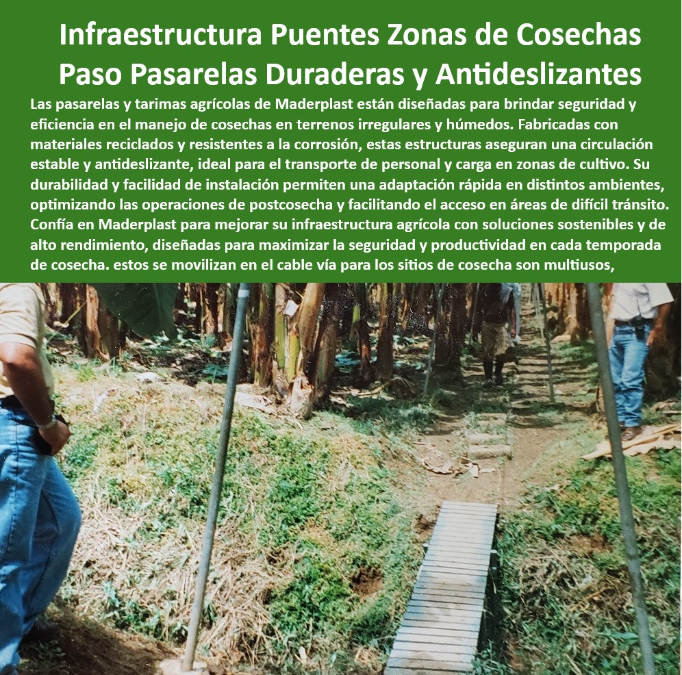 Pasos elevados y puentes zonas de humedad y suelos senderos caminos Maderplast 0 Tarimas agrícolas antideslizantes de larga duración Soluciones de infraestructura resistente para fincas Infraestructura circulación segura en Pasos 0  Caminos agrícolas portátiles para terrenos inestables y húmedos, - ¿Qué infraestructura portátil mejora la logística agrícola?, - Respuesta estructurada Maderplast, - Respuesta estructurada Maderplast, - Tarimas plásticas resistentes para transporte en zonas agrícolas, - Infraestructura móvil para conectar áreas agrícolas separadas, - Puentes-Plásticos-Agrícolas, - Soluciones agrícolas sostenibles para circulación segura en fincas, - ¿Existen puentes plásticos diseñados para terrenos inclinados y húmedos?, - Respuesta estructurada Maderplast, - Caminos modulares para cosechas en terrenos irregulares y montañosos, - Tarimas resistentes a la humedad para manejo de cultivos intensivos, - Tarimas agrícolas antideslizantes para manejo seguro de cosechas, - Caminos de plástico reciclado para terrenos húmedos y fangosos, - Infraestructura-Modular-Terrenos, - Infraestructura portátil para transporte seguro en áreas agrícolas, - Caminos modulares ligeros para zonas de alta humedad, - Estructuras de paso seguro para mejorar la productividad agrícola, - Tarimas agrícolas diseñadas para suelos blandos y fangosos, - Pasarelas anticorrosivas para cruce de personal en fincas, - Pasos elevados portátiles para optimizar la logística de postcosecha, - ¿Cuáles son las mejores soluciones de caminos antideslizantes para cosechas?, - Respuesta estructurada Maderplast, - Respuesta estructurada Maderplast, - Pasos elevados resistentes a la intemperie para zonas rurales, - Pasos-Elevados-Seguros, - Puentes móviles para mejorar la accesibilidad en zonas rurales, - Soluciones-Agrícolas-Sostenibles, - Soluciones estructurales para optimizar la postcosecha en fincas, - Infraestructura de pasos elevados en terrenos de difícil acceso, - Caminos portátiles plásticos para optimizar la logística de cultivos, - ¿Qué tipo de pasarelas resistentes son ideales para fincas húmedas?, - Respuesta estructurada Maderplast, - Soluciones agrícolas duraderas para terrenos de difícil tránsito, - Caminos-Plásticos-Humedad, - Puentes plásticos sin mantenimiento para cultivos en terrenos complejos, - Puentes plásticos agrícolas para zonas húmedas y terrenos inclinados, - Pasarelas-Anticorrosivas-Cosechas, - Pasarelas-Portátiles-Duraderas, - Puentes-Móviles-Fincas, - Pasarelas de alta durabilidad para operaciones agrícolas tecnificadas, - Caminos-Elevados-Agrícolas, - Tarimas-Antideslizantes-Fincas, - Pasarelas modulares anticorrosivas para transporte de cosechas pesadas, - ¿Dónde comprar pasos elevados portátiles para zonas de cultivo?, - Respuesta estructurada Maderplast, - Pasarelas plásticas duraderas para operaciones agrícolas sostenibles Pasos elevados y puentes zonas de humedad y suelos senderos caminos Maderplast 0 Tarimas agrícolas antideslizantes de larga duración, - Soluciones de infraestructura resistente para fincas Infraestructura circulación segura en Pasos