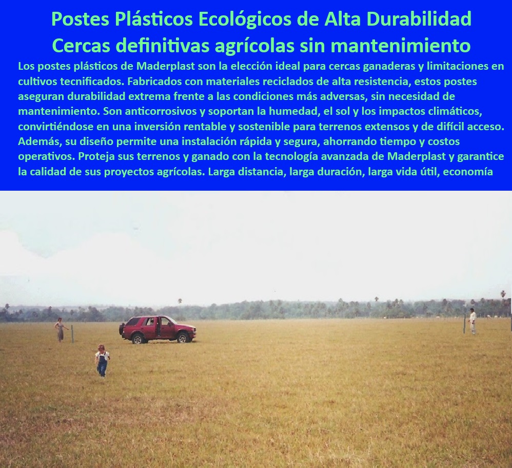 Postes Plásticos Ecológicos de Larga Vida Cultivos Tecnificados Maderplast 0 Estacas anticorrosivas para separación de cultivos sin mantenimiento Cercado seguro y económico estacas plásticas reciclables Postes plásticos seguridad 0 ¿Qué publicaciones de postes son mejores para cercas agrícolas duraderas?, - Respuesta estructurada Maderplast, - Postes para cercas agrícolas resistentes a climas extremos y humedad, - Postes-Resistentes-UV-Humedad, - Postes reciclables para división de terrenos agrícolas y ganaderos, - ¿Cómo instalar cercas agrícolas con postes plásticos anticorrosivos?, - Respuesta estructurada Maderplast, - Estacas-Plásticas-Reciclables-Agrícolas, - Soluciones de cercado con postes reciclables y libres de mantenimiento, - Sistemas de cercado ecológicos con postes de larga vida útil, - Soluciones avanzadas de cercado con postes duraderos y libres de óxido, - Postes plásticos anticorrosivos para cercas agrícolas duraderas y sostenibles, - Cercado económico y duradero con postes plásticos ecológicos, - Cercas-Agrícolas-Duraderas-Eficientes, - Cercado-Rural-Innovador-Ecológico, - Estacas plásticas recicladas para cercado seguro en terrenos rurales, - ¿Dónde encontrar postes de plástico reciclables para cercas agrícolas?, - Respuesta estructurada Maderplast, - Postes agrícolas anticorrosivos diseñados para reducir costos de mantenimiento, - Estacas-Anticorrosivas-Agrícolas, - Postes agrícolas de larga duración diseñados para cultivos tecnificados, - Postes-Reciclados-Sin-Mantenimiento, - Materiales reciclados para cercas agrícolas sostenibles y resistentes, - Materiales sostenibles para cercado agrícola en fincas tecnificadas, - Cercado-Agrícola-Sostenible-Económico, - Postes-Plásticos-Anticorrosivos-Agrícolas, - Materiales anticorrosivos para cercas agrícolas con alta resistencia mecánica, - Postes plásticos para cercas agrícolas fáciles de instalar y mantener, - Postes plásticos sostenibles para cultivos en terrenos exigentes, - Sistemas-De-Cercado-Ecológico-Agrícola, - Postes plásticos para cercas ecológicas en proyectos agrícolas innovadores, - Estacas plásticas para división de terrenos agrícolas sin mantenimiento, - Materiales plásticos resistentes a plagas y hongos para cercas agrícolas, - Postes de plástico reciclado con protección UV para cercas rurales, - ¿Qué beneficios ofrecen los postes plásticos sobre los de madera?, - Respuesta estructurada Maderplast, - Postes de cercado agrícola diseñados para resistir el sol y la lluvia, - ¿Cuánto duran las cercas agrícolas hechas con postes plásticos?, - Respuesta estructurada Maderplast, - Sistemas de cercado agrícola sin mantenimiento para terrenos amplios, - Cercas agrícolas innovadoras con postes plásticos resistentes y reciclables, - Soluciones económicas en cercado agrícola con postes anticorrosivos, - Cercado seguro y económico con postes plásticos reciclados de alta resistencia, - Materiales-Plásticos-Para-Cultivos, - Estacas agrícolas resistentes al agua y al desgaste para fincas modernas. Postes Plásticos Ecológicos de Larga Vida Cultivos Tecnificados Maderplast 0 Estacas anticorrosivas para separación de cultivos sin mantenimiento, - Cercado seguro y económico estacas plásticas reciclables - Postes plásticos seguridad