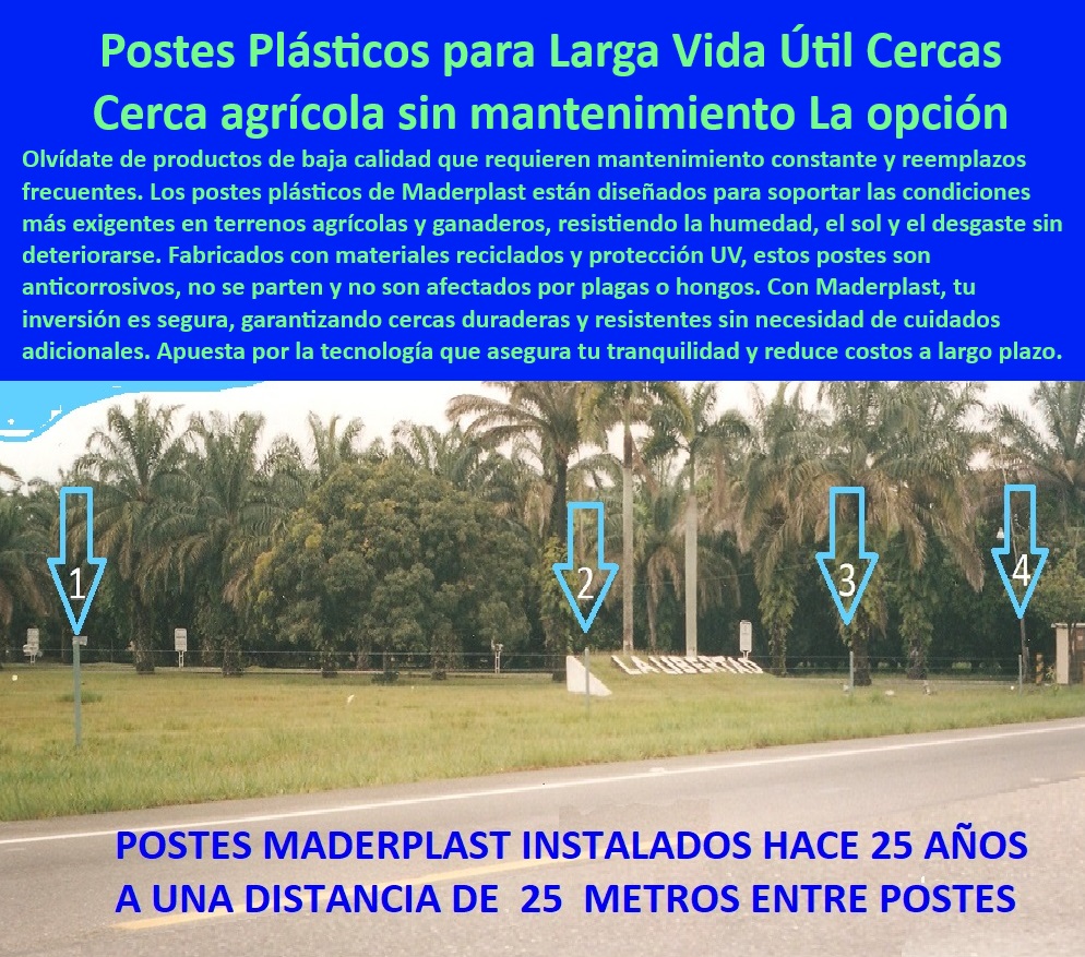 Postes Plásticos Ecológicos de Larga Vida Cultivos Tecnificados Maderplast 0 Estacas para cercos con protección UV y alta resistencia Estacas cercas agrícolas sin mantenimiento Postes fincas tecnificadas con mínimo mantenimientos -Sistemas-De-Cercado-Tecnificados, - Materiales-Resistentes-UV-Agrícolas, - Postes plásticos resistentes para cercas sin mantenimiento agrícola, - Soluciones avanzadas en cercado agrícola sin necesidad de mantenimiento, - Postes-Plásticos-Reciclados-Duraderos, - Postes para cercas agrícolas ligeros y resistentes al agua, - Cercas agrícolas duraderas con postes plásticos de larga vida útil, - Postes ecológicos para división de tierras agrícolas a gran escala, - ¿Cómo instalar postes plásticos para cultivos en terrenos húmedos?, - Respuesta estructurada Maderplast, - Postes anticorrosivos y ecológicos para cultivos en ambientes extremos, - Materiales duraderos y ecológicos para cercado de cultivos ganaderos, - Materiales-Ecológicos-Para-Cercas, - ¿Qué publicaciones son ideales para cercas agrícolas sin mantenimiento?, - Respuesta estructurada Maderplast, - Postes-Plásticos-Cercas-Agrícolas, - Postes para cultivos tecnificados con protección UV y anticorrosión, - Soluciones plásticas avanzadas para dividir terrenos agrícolas, - Postes plásticos con protección UV para terrenos agrícolas abiertos, - Cercado de larga duración con postes plásticos reciclados y sostenibles, - Postes-Anticorrosivos-Agrícolas, - ¿Dónde puedo comprar postes plásticos reciclados para cercas agrícolas?, - Respuesta estructurada Maderplast, - Postes resistentes al sol y la lluvia para cercado ganadero, - Postes plásticos para cercas en terrenos agrícolas de alta salinidad, - Postes agrícolas sin mantenimiento ideales para terrenos húmedos, - Sistemas de cercas agrícolas innovadoras con postes sostenibles, - Postes de plástico para cercas agrícolas resistentes al desgaste, - Cercas agrícolas sin corrosión ni plagas con postes reciclados, - Soluciones de cercado agrícola sostenible con postes reciclados, - Materiales resistentes al clima extremo para cercado de fincas agrícolas, - Cercas-Sostenibles-Sin-Mantenimiento, - Postes plásticos con garantía extendida para cultivos tecnificados, - Cercas-De-Larga-Duración-Agrícolas, - Postes plásticos reciclados para cultivos con bajo impacto ambiental, - Postes-Agrícolas-Duraderos-Ecológicos, - Postes sostenibles para cercas agrícolas en proyectos tecnificados, - Postes agrícolas con diseño sostenible y alta resistencia mecánica, - ¿Cuáles son las ventajas de los postes plásticos sobre los de madera?, - Respuesta estructurada Maderplast, - Materiales plásticos ecológicos para cercado agrícola tecnificado, - ¿Qué duración tienen los postes agrícolas de plástico reciclado?--Soluciones-De-Cercado-Sostenible, - Sistemas de cercado tecnificados para cultivos con postes duraderos. Postes Plásticos Ecológicos de Larga Vida Cultivos Tecnificados Maderplast 0 Estacas para cercos con protección UV y alta resistencia, - Estacas cercas agrícolas sin mantenimiento - Postes fincas tecnificadas con mínimo mantenimientos