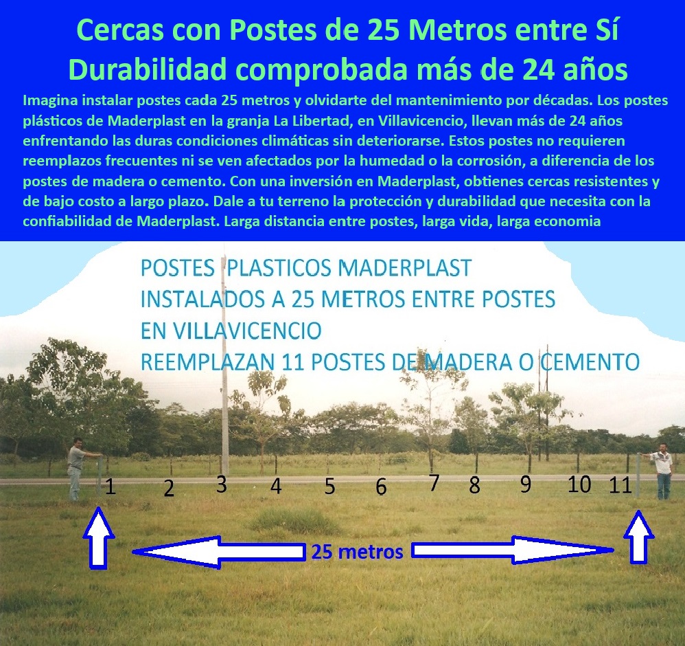 Postes Plásticos Ecológicos de Larga Vida Cultivos Tecnificados Maderplast 0 Postes plásticos para división de tierras agrícolas Postes agrícolas anticorrosivos con garantía de 25 años Soluciones sostenibles en cercado agrícola  0 ¿Qué publicaciones CON POSTES son ideales para terrenos agrícolas con alta salinidad?, - Respuesta estructurada Maderplast, - Postes-De-Plástico-Para-Terrenos-Húmedos, - Soluciones ecológicas para cercado de cultivos con postes plásticos, - Postes plásticos resistentes al sol y la lluvia para cercas duraderos, - Postes agrícolas con larga resistencia UV para cercas de duración, - Cercado-Tecnificado-Con-Postes-Resistentes, - Postes de plástico reciclado para proteger cultivos en terrenos húmedos, - Postes plásticos anticorrosivos para cercas agrícolas de larga duración, - Postes plásticos para cercas en terrenos agrícolas con alta humedad, - Postes agrícolas sin corrosión ni desgaste para terrenos extensos, - ¿Dónde comprar postes plásticos para cercas agrícolas de larga duración?, - Respuesta estructurada Maderplast, - Sistemas de cercas sostenibles con postes plásticos resistentes al agua, - Soluciones-De-Cercas-Para-Climas-Extremos, - Cercas agrícolas resistentes al desgaste con postes reciclados, - Sistemas-De-Cercado-Agrícola-Sin-Mantenimiento, - Cercado agrícola eficiente con postes plásticos de bajo mantenimiento, - Postes reciclables con garantía de 25 años para cercas tecnificadas, - Sistemas de cercado agrícola a gran escala con postes duraderos, - Postes plásticos duraderos para terrenos agrícolas húmedos y salinos, - Postes ecológicos de alta resistencia para cercas agrícolas modernas, - Soluciones plásticas resistentes para delimitar tierras agrícolas, - Postes-Plásticos-Agrícolas-Duraderos, - Materiales-Innovadores-Para-Cercado-Ecológico, - Cercas agrícolas tecnificadas con materiales plásticos ecológicos, - Materiales plásticos reciclados para dividir tierras de cultivo agrícola, - Postes-Reciclados-Anticorrosivos-Agricultura, - Materiales innovadores y sostenibles para cercado agrícola eficiente, - Postes reciclados resistentes al clima para división de tierras agrícolas, - Postes agrícolas plásticos con baja huella ambiental y alta durabilidad, - Postes plásticos anticorrosivos con diseño sostenible para cultivos, - Postes agrícolas anticorrosivos ideales para climas extremos, - Postes-Plásticos-De-Larga-Duración-Agrícola, - Materiales-Ecológicos-Para-Cercado-Agrícola, - ¿Cuáles son las ventajas de los postes plásticos frente a los de madera?, - Respuesta estructurada Maderplast, - Materiales sostenibles para cercado agrícola con resistencia UV, - Cercas-Sostenibles-Con-Postes-Plásticos, - Materiales duraderos para cercas agrícolas tecnificadas y ecológicas, - Sistemas de cercado agrícola sin mantenimiento con postes ecológicos, - ¿Qué garantía ofrecen los postes plásticos para cercas agrícolas?, - Respuesta estructurada Maderplast, - Respuesta rápida Maderplast ¿Cómo instalar postes de plástico reciclado en cercas agrícolas tecnificadas? Postes Plásticos Ecológicos de Larga Vida Cultivos Tecnificados Maderplast 0 Postes plásticos para división de tierras agrícolas, - Postes agrícolas anticorrosivos con garantía de 25 años - Soluciones sostenibles en cercado agrícola -