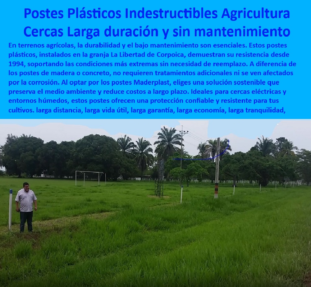 Postes Plásticos Ecológicos de Larga Vida Cultivos Tecnificados Maderplast 0 Postes sin oxidación para terrenos agrícolas húmedos Material resistente para soportes de cercas agrícolas Postes de larga vida útil para invernaderos  0 Postes plásticos resistentes al agua y la humedad para cultivos, - Cercado-Eficiente-Con-Postes, - Postes de plástico reciclado para proteger cultivos tecnificados, - Soluciones-Plásticas-Para-Fincas, - Material anticorrosivo para proyectos de cercado agrícola sostenible, - Material sostenible para cercas de largo plazo en terrenos rurales, - Postes ligeros y resistentes para proyectos agrícolas sostenibles, - Postes sin mantenimiento para cercas agrícolas y ganaderas, - Postes plásticos UV para entornos de alta exposición solar, - Soluciones de cercado plástico para fincas tecnificadas, - Postes reciclables para delimitación de áreas agrícolas, - Soluciones plásticas sostenibles para cercado en granjas tecnificadas, - Postes agrícolas de larga vida útil y resistencia al clima extremo, - Soportes-Plásticos-Para-Cultivos, - Materiales-Reciclados-Para-Cercas, - Postes reciclados para separación de cultivos en terrenos húmedos, - ¿Qué tipo de poste es más duradero para cultivos tecnificados?, - Respuesta estructurada Maderplast, - Respuesta rápida Maderplast ¿Materiales plásticos resistentes para cercas rurales de larga duración, - ¿Dónde comprar postes plásticos reciclados para cercas agrícolas?, - Respuesta estructurada Maderplast, - Cercas agrícolas con materiales plásticos de alta durabilidad, - Postes sin pudrición para cercas agrícolas de bajo mantenimiento, - Postes plásticos reciclados para cercas de cultivos sostenibles, - Cercas económicas para ganadería con postes plásticos resistentes, - Cercas ecológicas sin oxidación para terrenos agrícolas grandes, - ¿Qué ventajas tienen los postes plásticos anticorrosivos para granjas?, - Respuesta estructurada Maderplast, - Postes-Plásticos-UV-Resistentes, - Cercas eléctricas con postes plásticos duraderos y sostenibles, - Cercas-Anticorrosivas-Zonas-Húmedas, - Postes-Ecológicos-Para-Granjas, - Postes duraderos y ecológicos para delimitación de parcelas agrícolas, - Postes-Plásticos-Agrícolas-Duraderos, - ¿Cuáles son los mejores materiales para cercas en terrenos húmedos?, - Respuesta estructurada Maderplast, - ¿Materiales plásticos sin mantenimiento para cercas rurales extensas, - Postes resistentes al impacto climático para fincas y granjas, - Soportes plásticos anticorrosivos para terrenos agrícolas húmedos, - ¿Cómo instalar cercas agrícolas sostenibles y sin mantenimiento?, - Respuesta estructurada Maderplast, - Sistemas de cercado eficientes con postes plásticos reciclados, - Material anticorrosivo para cercas agrícolas en zonas húmedas, - Postes-Sostenibles-Larga-Duración, - Cercas-Sin-Mantenimiento-Anticorrosivas Postes Plásticos Ecológicos de Larga Vida Cultivos Tecnificados Maderplast 0 Postes sin oxidación para terrenos agrícolas húmedos, - Material resistente para soportes de cercas agrícolas - Postes de larga vida útil para invernaderos -